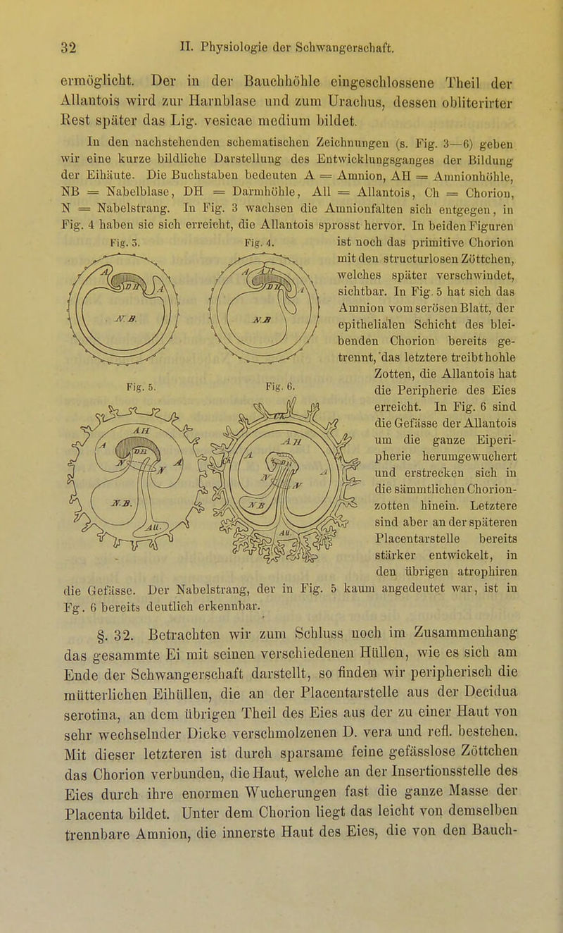 ermöglicht. Der in der Bauchhöhle eingeschlossene Tlieil der Allantois wird zur Harnblase und zum Urachus, dessen obliterirter Rest später das Lig. vesicae medium bildet. In den nachstehenden schematischen Zeichnungen (s. Fig. :i—6) geben wir eine kurze bildliche Darstellung des Entwicklungsganges der Bildung der Eihäute. Die Buchstaben bedeuten A = Amnion, AH = Ainnionhöhle, NB = Nabelblase, DH = Darmhühle, All = Allantois, Ch = Chorion, N = Nabelstrang. In Fig. 3 wachsen die Amnionfalten sich entgegen, in Fig. 4 haben sie sich erreicht, die Allantois sprosst hervor. In beiden Figuren Fig. 3. Fig. 4. ist noch das primitive Chorion mit den structurlosen Zöttchen, welches später verschwindet, sichtbar. In Fig. 5 hat sich das Amnion vom serösen Blatt, der epithelialen Schicht des blei- benden Chorion bereits ge- trennt,'das letztere treibt hohle Zotten, die Allantois hat FlS- 6> die Peripherie des Eies erreicht. In Fig. 6 sind die Gefässe der Allantois um die ganze Eiperi- pherie herumgewuchert und erstrecken sich in die sämmtlichen Chorion- zotten hinein. Letztere sind aber an der späteren Placentarstelle bereits stärker entwickelt, in den übrigen atrophiren die Gefässe. Der Nabelstrang, der in Fig. 5 kaum angedeutet war, ist in Fg. 6 bereits deutlich erkennbar. §. 32. Betrachten wir zum Schluss noch im Zusammenhang das gesammte Ei mit seinen verschiedenen Hüllen, wie es sich am Ende der Schwangerschaft darstellt, so finden wir peripherisch die mütterlichen Eihüllen, die an der Placentarstelle aus der Decidua serotina, an dem übrigen Theil des Eies aus der zu einer Haut von sehr wechselnder Dicke verschmolzenen D. vera und refl. bestehen. Mit dieser letzteren ist durch sparsame feine gefässlose Zöttchen das Chorion verbunden, die Haut, welche an der Insertionsstelle des Eies durch ihre enormen Wucherungen fast die ganze Masse der Placenta bildet. Unter dem Chorion liegt das leicht von demselben trennbare Amnion, die innerste Haut des Eies, die von den Bauch-