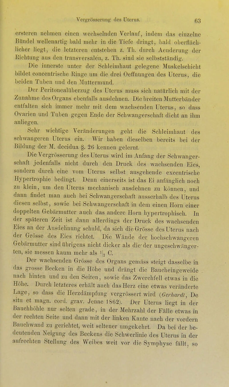 ersteren nehmen einen wechselnden Verlauf, indem das einzelne Bündel wellenartig bald mehr in die Tiefe dringt, bald oberfläch- licher liegt, die letzteren entstehen z. Th. durch Aenderung der Richtung aus den transversalen, z. Th. sind sie selbstständig. Die innerste unter der Schleimhaut gelegene Muskelschicht bildet eoncentrische Ringe um die drei Oett'nungen des Uterus, die beiden Tuben und den Muttermund. Der Peritonealiiberzug des Uterus muss sich natürlich mit der Zunahme des Organs ebenfalls ausdehnen. Die breiten Mutterbänder entfalten sich immer mehr mit dem wachsenden Uterus, so dass Ovarien und Tuben gegen Ende der Schwangerschaft dicht an ihm anliegen. Sehr wichtige Veränderungen geht die Schleimhaut des schwangeren Uterus ein. Wir haben dieselben bereits bei der Bildung der M. decidua §.26 kennen gelernt. Die Vergrösserung des Uterus wird im Anfang der Schwanger- schaft jedenfalls nicht durch den Druck des wachsenden Eies, sondern durch eine vom Uterus selbst ausgehende excentrische Hypertrophie bedingt. Denn einerseits ist das Ei anfänglich noch zu klein, um den Uterus mechanisch ausdehnen zu können, und dann findet man auch bei Schwangerschaft ausserhalb des Uterus diesen selbst, sowie bei Schwangerschaft in dem einen Horn einer doppelten Gebärmutter auch das andere Horn hypertrophisch. In der späteren Zeit ist dann allerdings der Druck des wachsenden Eies an der Ausdehnung schuld, da sich die Grösse des Uterus nach der Grösse des Eies richtet. Die Wände der hochschwangeren Gebärmutter sind übrigens nicht dicker als die-der ungeschwänger- ten, sie messen kaum mehr als ]|2 C. Der wachsenden Grösse des Organs gemäss steigt dasselbe in das grosse Becken in die Höhe und drängt die Baucheingeweide nach hinten und zu den Seiten, sowie das Zwerchfell etwas in die Höhe. Durch letzteres erhält auch das Herz eine etwas veränderte Lage, so dass die Herzdämpfung vergrössert wird (Gerhardt, De situ et magn. cord. grav. Jenae 1862). Der Uterus liegt in der Bauchhöhle nur selten grade, in der Mehrzahl der Fälle etwas in der rechten Seite und dann mit der linken Kante nach der vordem Bauchwand zu gerichtet, weit seltener umgekehrt. Da bei der be- deutenden Neigung des Beckens die Schwerlinie des Uterus in der aufrechten Stellung des Weibes weit vor die Symphyse fällt, so