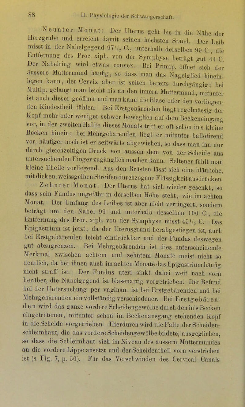 Neunter Monat: Der Uterus geht bis in die Nähe der Herzgrube und erreicht damit seinen höchsten Stand. Der I ein misst in der Nabelgegend 97'/* C, unterhalb derselben 99 C die Entfernung des Proc. xiph. von der Symphyse beträgt gut n r Der Nabelring wird etwas convex. Bei Primip. öflfnet sich der äussere Muttermund häufig, so dass man das Nagelglied hinein- legen kann, der Cervix aber ist selten bereits durehgängig; bei Multip, gelangt man leicht bis an den innern Muttermund, mitunter ist auch dieser geöffnet und man kann die Blase oder den vorliegen- den Kindestheil fühlen. Bei Erstgebärenden liegt regelmässig der Kopf mehr oder weniger schwer beweglich auf dem Beckeneingang vor, in der zweiten Hälfte dieses Monats tritt er oft schon in's kleine Becken hinein; bei Mehrgebärenden liegt er mitunter ballotirend vor, häufiger noch ist er seitwärts abgewichen, so dass man ihn nur durch gleichzeitigen Druck von aussen dem von der Scheide aus untersuchenden Finger zugänglich machen kann. Seltener fühlt man kleine Theile vorliegend. Aus den Brüsten lässt sich eine bläuliche, mit dicken, weissgelben Streifen durchzogene Flüssigkeit ausdrücken.' Zehnter Monat: Der Uterus hat sich wieder gesenkt, so dass sein Fundus ungefähr in derselben Höhe steht, wie im achten Monat. Der Umfang des Leibes ist aber nicht verringert, sondern beträgt um den Nabel 99 und unterhalb desselben 100 C, die Entfernung des Proc. xiph. von der Symphyse misst 45'/2 GL Das Epigastrium ist jetzt, da der Uterusgrund herabgestiegen ist, auch bei Erstgebärenden leicht eindrückbar und der Fundus deswegen gut abzugrenzen. Bei Mehrgebärenden ist dies unterscheidende Merkmal zwischen achtem und zehntem Monate meist nicht so deutlich, da bei ihnen auch im achten Monate das Epigastrium häufig nicht straff ist. Der Fundus uteri sinkt dabei weit nach vorn herüber, die Nabelgegend ist blasenartig vorgetrieben. Der Befund bei der Untersuchung per vaginam ist bei Erstgebärenden und bei Mehrgebärenden ein vollständig verschiedener. Bei Erstgebären- den wird das ganze vordere Scheidengewölbe durch den in's Becken eingetretenen, mitunter schon im Beckenausgang stehenden Kopf in die Scheide vorgetrieben. Hierdurch wird die Falte der Scheiden- schleimhaut, die das vordere Scheidengewölbe bildete, ausgeglichen, so dass die Schleimhaut sich im Niveau des äussern Muttermundes an die vordere Lippe ansetzt und der Scheidentheil vorn verstrichen ist (s. Fig. 7, p. 50). Für das Verschwinden des Cervical-Canals