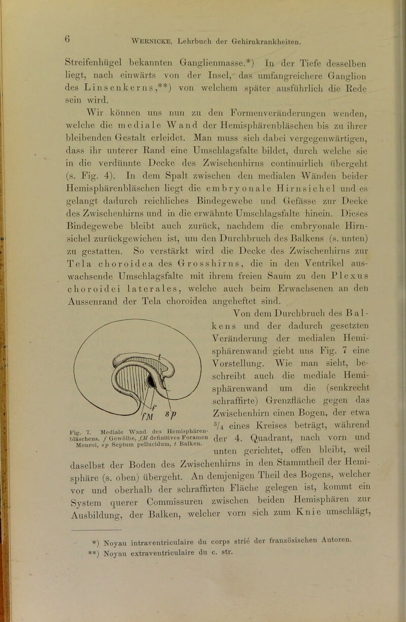 Streifenhügel bekannten Ganglienmasse.*) In cler Tiefe desselben liegt, nach einwärts von der Insel, das umfangreichere Ganglion des Linsenkerns,**) von welchem später ausführlich die Rede sein wird. Wir können uns nun zu den Formen Veränderungen wenden, welche die mediale Wand der Hemisphärenbläschen bis zu ihrer bleibenden Gestalt erleidet. Man muss sich dabei vergegenwärtigen, dass ihr unterer Rand eine Umschlagsfalte bildet, durch welche sic in die verdünnte Decke des Zwischenhirns continuirlich übergeht (s. Fig. 4). In dem Spalt zwischen den medialen Wänden beider Hcmisphärenbläsehen liegt die e m bryonale H i r n s i c h e 1 und cs gelangt dadurch reichliches Bindegewebe und Gefässe zur Decke des Zwischenhirns und in die erwähnte Umschlagsfalte hinein. Dieses Bindegewebe bleibt auch zurück, nachdem die embryonale Hirn- sichel zurückgewichen ist, um den Durchbruch des Balkens (s. unten) zu gestatten. So verstärkt wird die Decke des Zwischenhirns zur Tela choroidea des Grosshirns, die in den Ventrikel aus- wachsende Umschlagsfalte mit ihrem freien Saum zu den Plexus choroidci laterales, welche auch beim Erwachsenen an den Aussenrand der Tela choroidea angeheftet sind. Von dem Durchbruch des Bal- le e n s und der dadurch gesetzten Veränderung der medialen Hemi- sphärenwand giebt uns Fig. 7 eine Vorstellung. Wie man sieht, be- schreibt auch die mediale Hemi- sphärenwand um die (senkrecht schraffirte) Grenzfläche gegen das Zwischenhirn einen Bogen, der etwa 3/4 eines Kreises beträgt, während Fig. 7. Mediale Wand des Hemisphären- ~ bläschens. /Gewölbe, fM definitives Foramen t|er 4, Quadrant, liacll VOl'll UHU Mouroi, .vp Septum pellucidum, t Balken. ., ., unten gerichtet, offen bleibt, weil daselbst der Boden des Zwischenhirns in den Stammtheil der Hemi- sphäre (s. oben) übergeht. An demjenigen I heil des Bogens, welchei vor und oberhalb der schraffirten Fläche gelegen ist, kommt ein System querer Commissuren zwischen beiden Hemisphären zur Ausbildung, der Balken, welcher vorn sich zum Knie umschlägt, *) Noyau intraventriculaire du corps strie der französischen Autoren. **) Noyau extraventriculaire du c. str.