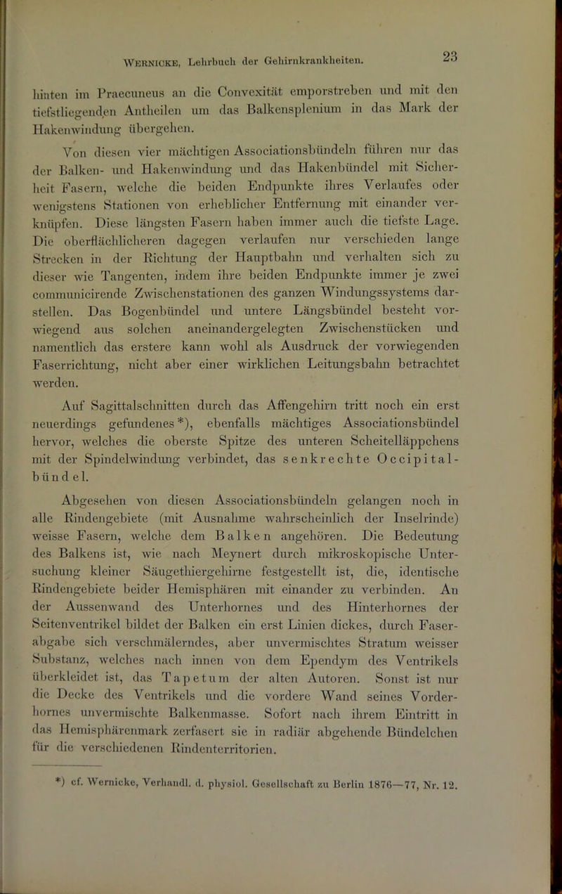 hinten im Praecuneus an die Convexität emporstreben und mit den tiefstliegenden Antheilen um das Balkensplenium in das Mark der Hakenwindung übergehen. Von diesen vier mächtigen Associationsbündeln führen nur das der Balken- und Hakenwindung und das Hakenbündel mit Sicher- heit Fasern, welche die beiden Endpunkte ihres Verlaufes oder wenigstens Stationen von erheblicher Entfernung mit einander ver- knüpfen. Diese längsten Fasern haben immer auch die tiefste Lage. Die oberflächlicheren dagegen verlaufen nur verschieden lange Strecken in der Richtung der Hauptbahn und verhalten sich zu dieser wie Tangenten, indem ihre beiden Endpunkte immer je zwei communicirende Zwischenstationen des ganzen Windungssystems dar- stellen. Das Bogenbündel und untere Längsbündel besteht vor- wiegend aus solchen aneinandergelegten Zwischenstücken und namentlich das erstere kann wohl als Ausdruck der vorwiegenden Faserrichtung, nicht aber einer wirklichen Leitungsbahn betrachtet werden. Auf Sagittalschnitten durch das Affengehirn tritt noch ein erst neuerdings gefundenes *), ebenfalls mächtiges Associationsbündel hervor, welches die oberste Spitze des unteren Scheitelläppchens mit der Spindelwindung verbindet, das senkrechte Occipital- biind el. Abgesehen von diesen Associationsbündeln gelangen noch in alle Rindengebiete (mit Ausnahme wahrscheinlich der Inselrinde) weisse Fasern, welche dem Balken angehören. Die Bedeutung des Balkens ist, wie nach Meynert durch mikroskopische Unter- suchung kleiner Säugethiergehirne festgestellt ist, die, identische Rindengebiete beider Hemisphären mit einander zu verbinden. An der Aussenwand des Unterhornes und des Hinterhornes der Seiten Ventrikel bildet der Balken ein erst Linien dickes, durch Faser- abgabe sich versclnnälerndes, aber unvermischtes Stratum weisser Substanz, Avelches nach innen von dem Ependym des Ventrikels überkleidet ist, das Tape tum der alten Autoren. Sonst ist nur die Decke des Ventrikels und die vordere Wand seines Vorder- hornes unvermischte Balkenmasse. Sofort nach ihrem Eintritt in das Hemisphärenmark zerfasert sie in radiär abgehende Bündelchen für die verschiedenen Rindenterritorien. *) cf. Wernicke, Verhandl. <1. physiul. Gesellschaft zu Berlin 187G—77, Nr. 12.