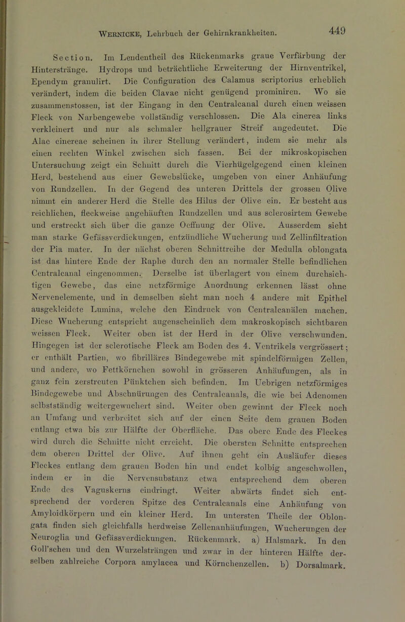 Section. Im Lendentheil des Rückenmarks graue Verfärbung der Hinterstränge. Hydrops und beträchtliche Erweiterung der Hirnventrikel, Ependym granulirt. Die Configuration des Calamus scriptorius erheblich verändert, indem die beiden Clavae nicht genügend prominireu. Wo sie zusammenstossen, ist der Eingang in den Centralcanal durch einen weissen Fleck von Narbengewebe vollständig verschlossen. Die Ala cinerea links verkleinert und nur als schmaler hellgrauer Streif angedeutet. Die Alae cinereae scheinen in ihrer Stellung verändert, indem sie mehr als einen rechten Winkel zwischen sich fassen. Bei der mikroskopischen Untersuchung zeigt ein Schnitt durch die Vierhügelgegend einen kleinen Herd, bestehend aus einer Gewebslücke, umgeben von einer Anhäufung von Rundzelleu. In der Gegend des unteren Drittels der grossen Olive nimmt ein anderer Herd die Stelle des Hilus der Olive ein. Er besteht aus reichlichen, fleckweise angehäuften Rundzellen und aus sclerosirtem Gewebe und erstreckt sich über die ganze Ocffnung der Olive. Ausserdem sieht man starke Gefässverdickungen, entzündliche Wucherung und Zellinfiltration der Pia mater. In der nächst oberen Schnittreihe der Medulla oblongata ist das hintere Ende der Raplie durch den an normaler Stelle befindlichen Centralcanal eingenommen. Derselbe ist überlagert von einem durchsich- tigen Gewebe, das eine netzförmige Anordnung erkennen lässt ohne Nervenelemente, und in demselben sieht man noch 4 andere mit Epithel ausgekleidete Lumina, welche den Eindruck von Centralcanälen machen. Diese Wucherung entspricht augenscheinlich dem makroskopisch sichtbaren weissen Fleck. Weiter oben ist der Herd in der Olive verschwunden. Hingegen ist der sclerotisclie Fleck am Boden des 4. Ventrikels vergrössert; er enthält Partien, wo fibrilläres Bindegewebe mit spindelförmigen Zellen, und andere, wo Fettkörnchen sowohl in grösseren Anhäufungen, als in ganz fein zerstreuten Pünktchen sich befinden. Ln Uebrigen netzförmiges Bindegewebe und Abschnürungen des Centralcanals, die wie bei Adenomen selbstständig weitergewuchert sind. Weiter oben gewinnt der Fleck noch an Umfang und verbreitet sich auf der einen Seite dem grauen Boden entlang etwa bis zur Hälfte der Oberfläche. Das obere Ende des Fleckes wird durch die Schnitte nicht erreicht. Die obersten Schnitte entsprechen dem oberen Drittel der Olive. Auf ihnen geht ein Ausläufer dieses Fleckes entlang dem grauen Boden hin und endet kolbig angeschwollen, indem er in die Nervensubstanz etwa entsprechend dem oberen Ende dos Vaguskerns eindringt. Weiter abwärts findet sich ent- sprechend der vorderen Spitze des Centralcanals eine Anhäufung von Amyloidkörpern und ein kleiner Herd. Im untersten Theile der Oblon- gata finden sich gleichfalls herdweise Zellenanhäufungen, Wucherungen der Neuroglia und Gefässverdickungen. Rückenmark, a) Halsmark. In den GoU’schen und den Wurzelsträngen und zwar in der hinteren Hälfte der- selben zahlreiche Corpora amylacea und Körnchenzellen, b) Dorsalmark.