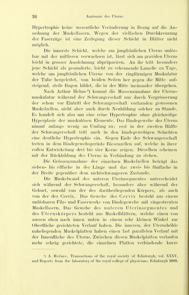 Hypertrophie keine wesentliche Veränderung in Bezug auf die An- ordnung der Muskelfasern. Wegen der vielfachen Durchkreuzung der Faserzüge ist eine Zerlegung dieser Schicht in Blätter nicht möglich. Die innerste Schicht, welche am jungfräulichen Uterus unlös- bar mit der mittleren verwachsen ist, lässt sich am graviden Uterus leicht in grosser Ausdehnung abpräpariren. An ihr tritt besonders jene Schicht als gesonderte, leicht zu erkennende Lamelle zu Tage, welche am jungfräulichen Uterus von der ringförmigen Muskulatur der Tube hergeleitet, von beiden Seiten her gegen die Mitte auf- steigend, steile Bogen bildet, die in der Mitte ineinander übergehen. Nach Arthur Helme ^) kommt die Massenzunahme der Uterus- muskulatur während der Schwangerschaft nur durch Vergrösserung der schon vor Eintritt der Schwangerschaft vorhanden gewesenen Muskelzellen, nicht aber auch durch Neubildung solcher zu Stande. Es handelt sich also um eine reine Hypertrophie ohne gleichzeitige Hyperplasie der muskulösen Elemente. Das Bindegewebe des Uterus nimmt anfangs wenig an Umfang zu; erst in der zweiten Hälfte der Schwangerschaft tritt auch in den bindegewebigen Schichten eine deutliche Hypertrophie ein. Gegen Ende der Schwangerschaft treten in dem Bindegewebsgerüste Riesenzellen auf, welche in ihrer vollen Entwickelung drei bis vier Kerne zeigen. Dieselben scheinen mit cter Rückbildung des Uterus in Verbindung zu stehen. Die Grössenzunahme der einzelnen Muskelzellen beträgt das sieben- bis elffache in der Länge und das zwei- bis fünffache in der Breite gegenüber dem nichtschwangeren Zustande. Die Muskelwand des unteren Uterinsegmentes unterscheidet sich während der Schwangerschaft, besonders aber während der Geburt, sowohl von der des darüberliegenden Körpers, als auch von der des Cervix. Das Gewebe des Gervix besteht aus einem unlösbaren Filz- und Faserwerke von Bindegewebe mit eingestreuten Muskelfasern. Das Gewebe des unteren Uterinsegmentes und des Uteruskörpers besteht aus Muskelblättern, welche einen von aussen oben nach innen unten in einem sehr kleinen Winkel zur Oberfläche gerichteten Verlauf haben. Die inneren, der Uterushöhle naheliegenden Muskclplatten haben einen fast parallelen Verlauf mit der hmenfläche des Uterus. Zwischen diesen Muskelplatten verlaufen mehr schräg gerichtete, die einzelnen Platten verbindende kurze ') A. Helme, Transactions of tlie royal society of Ediiibiirg-h, vol. XXXV, und Reports from the laboratory of the i'oyal College of physicians, Edinburgh 1889,