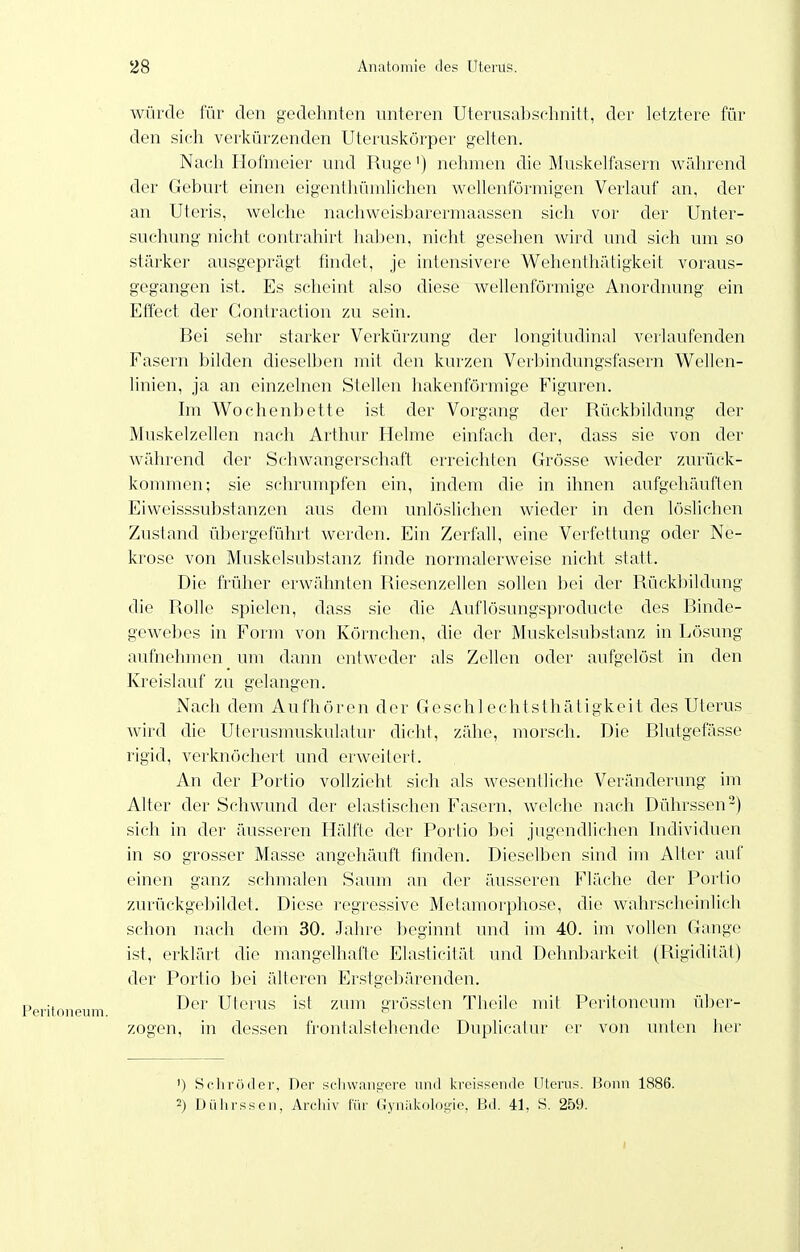würde für den gedehnten unteren Uterusabsr-lmitt, der letztere für den sicli verkürzenden Uteruslcörper gelten. Nach Hofmeier und Rüge') nehmen die Muskelfasern während der Geburt einen eigenthümlichen wellenförmigen Verlauf an, der an Uteris, welche nachweisbarermaassen sich vor der Unter- suchung nicht contrahirt haben, nicht gesehen wird und sich um so stärker ausgeprägt findet, je intensivere Wehenthätigkeit voraus- gegangen ist. Es scheint also diese wellenförmige Anordnung ein Effect der Gontraction zu sein. Bei sehr starker Verkürzung der longitudinnl verlaufenden Fasern bilden dieselben mit den kurzen Verbindungsfasern Wellen- linien, ja an einzelnen Stellen hakenförmige Figuren. Im Wochenbette ist der Vorgang der Rückbildung der Muskelzellen nach Arthur Helme einfach der, dass sie von der während der Schwangerschaft erreichten Grösse wieder zurück- kommen; sie schrumpfen ein, indem die in ihnen aufgehäuften Eiweisssubstanzen aus dem unlöslichen wieder in den löshchen Zustand übergeführt werden. Ein Zerfall, eine Verfettung oder Ne- krose von Muskolsubstanz finde normalerweise nicht statt. Die früher erAvähnten Riesenzellen sollen bei der Rückbildung die Rolle spielen, dass sie die Auflösungspi'oducte des Binde- gewebes in Form von Körnchen, die der Muskelsubstanz in Lösung aufnehmen um dann entweder als Zellen oder aufgelöst in den Kreislauf zu gelangen. Nach dem Aufhören der Gesch 1 echtsthätigkeit des Uterus^ Avird die Uterusmuskulatur dicht, zähe, morsch. Die Blutgefässe rigid, verknöchert und erweitert. An der Portio vollzieht sich als wesentliche Veränderung im Alter der Schwund der elastischen Fasern, welche nach Dührssen-) sich in der äusseren Hälfte der Portio bei jugendlichen Individuen in so grosser Masse angehäuft finden. Dieselben sind im Alter auf einen ganz schmalen Saum an der äusseren Fläche der Portio zurückgebildet. Diese regressive Metamorphose, die wahrscheinlich schon nach dem 30. Jahre begiimt und im 40. im vollen Gange ist, erklärt die mangelhafte Elasticilät und Dehnbarkeit (Rigidität) der Portio bei älteren Erstgebärenden. Der Uterus ist zum gfösslen Tlieile mit Peritoneum über- zogen, in dessen ü'ontalstehende Duplicalur er von unten her ') Scliröder, Der sclnvaiig'cre und kreissende Uterus. Bomi 1886. 2) Dülirsscn, Arcliiv (iir (Jynrikoloo'ie, Bd. 41, S. 259.