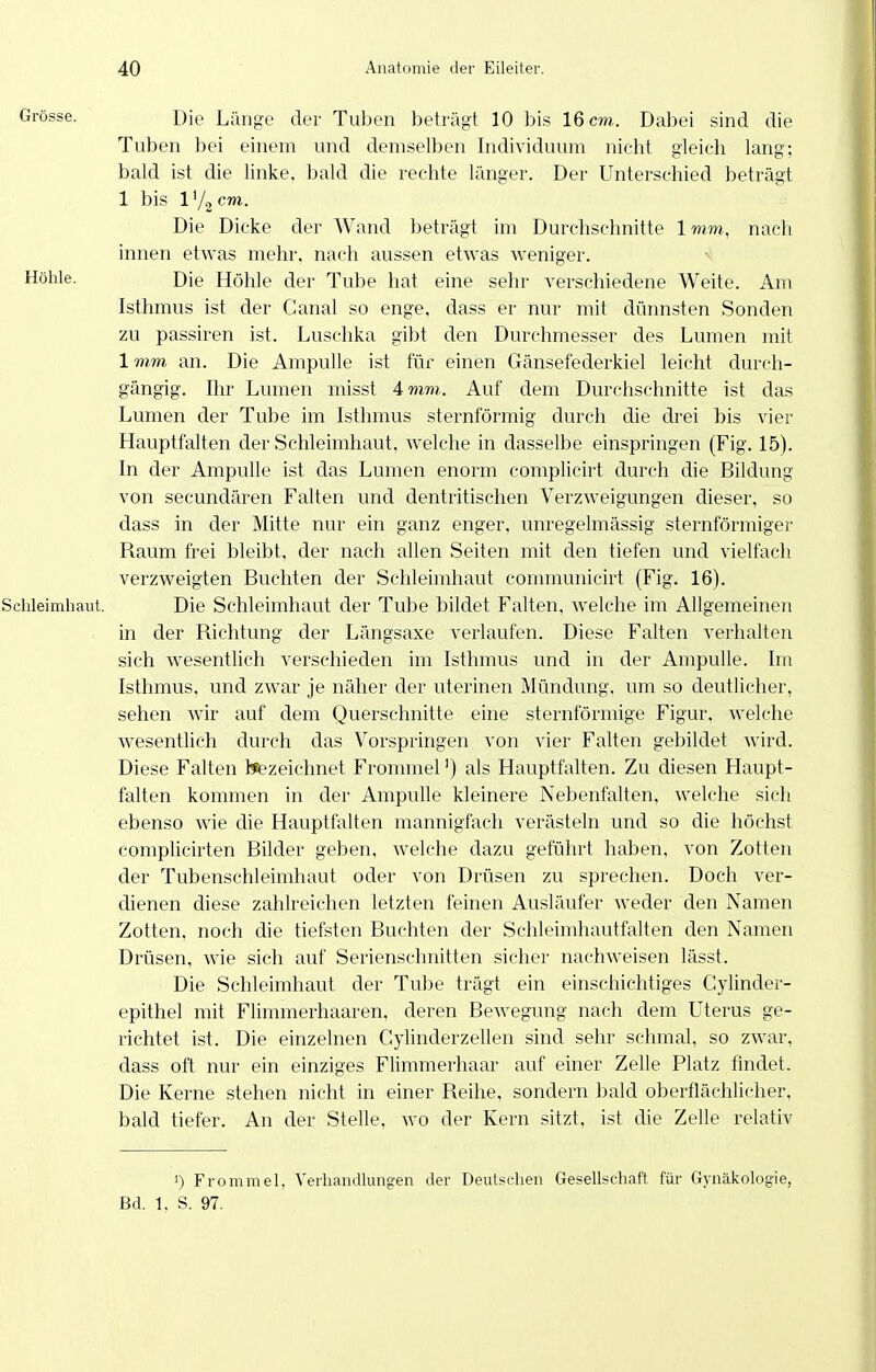 Grösse. Die Länge der Tuben beträgt 10 bis 16 cm. Dabei sind die Tuben bei einem und demselben Individuum nicht gleich lang; bald ist die linke, bald die rechte länger. Der Unterschied beträgt 1 bis V/^cm.. Die Dicke der Wand beträgt im Durchschnitte 1mm, nach innen etwas mehr, nach aussen etwas weniger. Höhle. Die Höhle der Tube hat eine sehr verschiedene Weite. Am Isthmus ist der Canal so enge, dass er nur mit dünnsten Sonden zu passiren ist. Luschka gibt den Durchmesser des Lumen mit 1 mm an. Die Ampulle ist für einen Gänsefederkiel leicht durch- gängig. Ihr Lumen misst Amm. Auf dem Durchschnitte ist das Lumen der Tube im Isthmus sternförmig durch die drei bis vier Hauptfalten der Schleimhaut, welche in dasselbe einspringen (Fig. 15). In der Ampulle ist das Lumen enorm complicirt durch die Bildung von secundären Falten und dentritischen Verzweigungen dieser, so dass in der Mitte nur ein ganz enger, unregelmässig sternförmiger Raum frei bleibt, der nach allen Seiten mit den tiefen und vielfach verzweigten Buchten der Schleimhaut connnunicirt (Fig. 16). Schleimhaut. Die Schleimhaut der Tube bildet Falten, welche im Allgemeinen in der Richtung der Längsaxe verlaufen. Diese Falten verhalten sich wesentlich verschieden im Isthmus und in der Ampulle. Im Isthmus, und zwar je näher der uterinen Mündung, um so deutlicher, sehen wir auf dem Querschnitte eine sternförmige Figur, welche wesentlich durch das Vorspringen von vier Falten gebildet wird. Diese Falten bezeichnet Fronmiel') als Hauptfalten. Zu diesen Haupt- falten kommen in der Ampulle kleinere Nebenfalten, welche sich ebenso wie die Hauptfalten mannigfach verästeln und so die höchst complicirten Bilder geben, welche dazu geführt haben, von Zotten der Tubenschleimhaut oder von Drüsen zu sprechen. Doch ver- dienen diese zahlreichen letzten feinen Ausläufer weder den Namen Zotten, noch die tiefsten Buchten der Schleimhautfalten den Namen Drüsen, wie sich auf Serienschnitten sicher nachweisen lässt. Die Schleimhaut der Tube trägt ein einschichtiges Gylinder- epithel mit Flimmerhaaren, deren Bewegung nach dem Uterus ge- richtet ist. Die einzelnen Cylinderzellen sind sehr schmal, so ZAvar, dass oft nur ein einziges Flimmerhaar auf einer Zelle Platz findet. Die Kerne stehen nicht in einer Reihe, sondern bald oberflächlicher, bald tiefer. An der Stelle, wo der Kern sitzt, ist die Zelle relativ 1) Frommel, Verhandlungen der Deutsehen Gesellschaft für Gynäkologie, Bd. 1, S. 97.