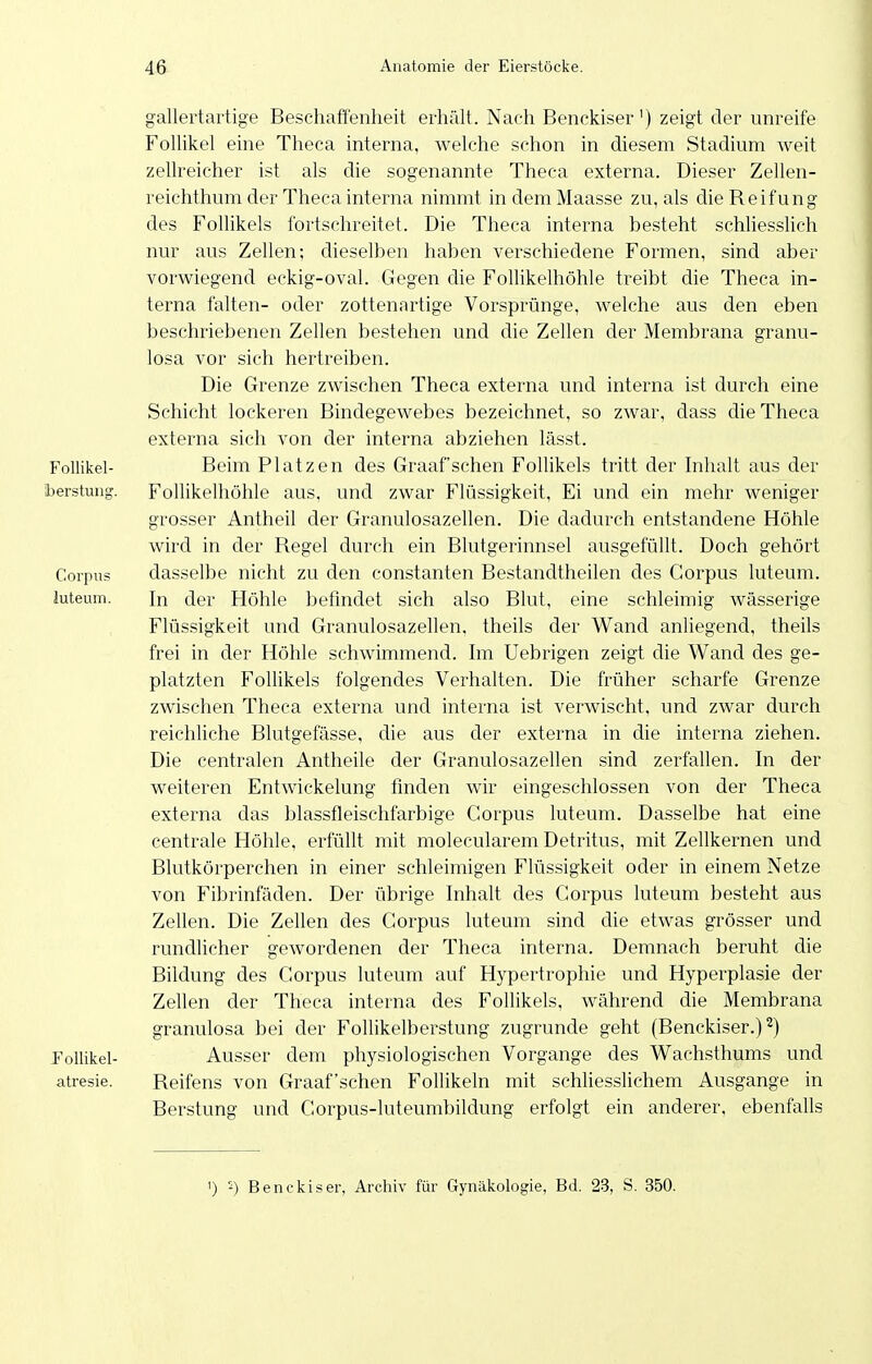 gallertartige Beschaffenheit erhält. Nach Benckiser') zeigt der unreife Follikel eine Theca interna, welche schon in diesem Stadium weit zellreicher ist als die sogenannte Theca externa. Dieser Zellen- reichthum der Theca interna nimmt indemMaasse zu, als die Reifung des Follikels fortschreitet. Die Theca interna besteht schliessUch nur aus Zellen; dieselben haben verschiedene Formen, sind aber vorwiegend eckig-oval. Gegen die Follikelhöhle treibt die Theca in- terna falten- oder zottenartige Vorsprünge, welche aus den eben beschriebenen Zellen bestehen und die Zellen der Membrana granu- losa vor sich hertreiben. Die Grenze zwischen Theca externa und interna ist durch eine Schicht lockeren Bindegewebes bezeichnet, so zwar, dass die Theca externa sich von der interna abziehen lässt. Follikel- Beim Platzen des Graafschen Follikels tritt der Inhalt aus der iDerstuug. Follikelhöhle aus. und zwar Flüssigkeit, Ei und ein mehr weniger grosser Antheil der Granulosazellen. Die dadurch entstandene Höhle wird in der Regel durch ein Blutgerinnsel ausgefüllt. Doch gehört Corpus dasselbe nicht zu den constanten Bestandtheilen des Corpus luteum. luteum. In der Höhle befmdet sich also Blut, eine schleimig wässerige Flüssigkeit und Granulosazellen. theils der Wand anliegend, theils frei in der Höhle schwimmend. Im Uebrigen zeigt die Wand des ge- platzten Follikels folgendes Verhalten. Die früher scharfe Grenze zwischen Theca externa und interna ist verwischt, und zwar durch reichliche Blutgefässe, die aus der externa in die interna ziehen. Die centralen Antheile der Granulosazellen sind zerfallen. In der weiteren Entwickelung finden wir eingeschlossen von der Theca externa das blassfleischfarbige Corpus luteum. Dasselbe hat eine centrale Höhle, erfüllt mit molecularem Detritus, mit Zellkernen und Blutkörperchen in einer schleimigen Flüssigkeit oder in einem Netze von Fibrinfäden. Der übrige Inhalt des Corpus luteum besteht aus Zellen. Die Zellen des Corpus luteum sind die etwas grösser und rundhcher gewordenen der Theca interna. Demnach beruht die Bildung des Corpus luteum auf Hypertrophie und Hyperplasie der Zellen der Theca interna des Follikels, während die Membrana granulosa bei der Follikelberstung zugrunde geht (Benckiser.) 2) Pollikel- Ausser dem physiologischen Vorgange des Wachsthums und atresie. Reifens von Graafschen Follikeln mit schliesslichem Ausgange in Berstung und Corpus-luteumbildung erfolgt ein anderer, ebenfalls