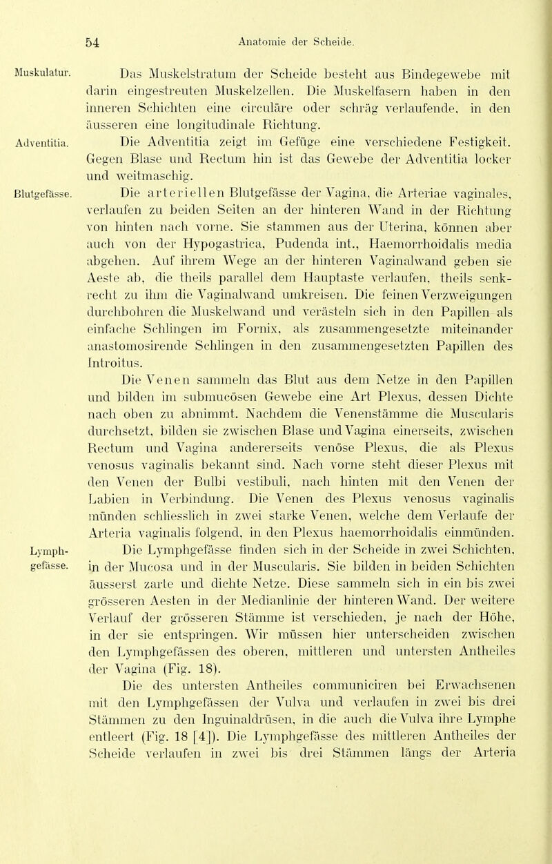 Muskulatur. Das Muskelstratum der Scheide bestellt aus Bindegewebe mit darin eingestreuten Muskelzellen. Die Muskelfasern haben in den inneren Schichten eine circuläre oder schräg verlaufende, in den äusseren eine longitudinale Richtung. Adventitia. Die Adventitia zeigt im Gefüge eine verschiedene Festigkeit. Gegen Blase und Rectum hin ist das Gewebe der Adventitia locker und weitmaschig. Blutgefässe. Die arteriellen Blutgefässe der Vagina, die Arteriae vaginales, verlaufen zu beiden Seiten an der hinteren Wand in der Richtung von hinten nach vorne. Sie stammen aus der Uterina, können aber auch von der Hypogasti-ica, Pudenda int., Haemorrhoidalis media abgehen. Auf ihrem Wege an der hinteren Vaginalwand geben sie Aaste ab, die theils parallel dem Hauptaste verlaufen, theils senk- recht zu ihm che Vaginalwand umkreisen. Die feinen Verzweigungen durchbohren die Muskelwand und verästeln sich in den Papillen als einfache Schlingen im Fornix, als zusammengesetzte miteinander anastomosirende Schlingen in den zusammengesetzten Papillen des Introitus. Die Venen sammeln das Blut aus dem Netze in den Papillen und bilden im submucösen Gewebe eine Art Plexus, dessen Dichte nach oben zu abnimmt. Nachdem die Venenstämme die Muscularis durchsetzt, bilden sie zwischen Blase und Vagina einerseits, zwischen Rectum und Vagina andererseits venöse Plexus, die als Plexus venosus vaginalis bekannt sind. Nach vorne steht dieser Plexus mit den Venen der Bulbi vestibuli, nach hinten mit den Venen der Labien in Verbindung. Die Venen des Plexus venosus vaginalis münden schliesslich in zwei starke Venen, welche dem Verlaufe der Arteria vaginalis folgend, in den Plexus haemorrhoidalis einmünden. Lymph- Die Lymphgefässe finden sich in der Scheide in zwei Schichten, gefässe. in der Mucosa und in der Muscularis. Sie bilden in beiden Schichten äusserst zarte und dichte Netze. Diese sammeln sich in ein bis zwei grösseren Aesten in der Medianlinie der hinteren Wand. Der weitere Verlauf der grösseren Stämme ist verschieden, je nach der Höhe, in der sie entspringen. Wir müssen hier unterscheiden zwischen den Lymphgefässen des oberen, mittleren und untersten Antheiles der Vagina (Fig. 18). Die des untersten Antheiles communiciren bei Erwachsenen mit den Lymphgefässen der Vulva und verlaufen in zwei bis drei Stämmen zu den Inguinaldrüsen, in die auch die Vulva ihre Lymphe entleert (Fig. 18 [4]). Die Lymphgefässe des mittleren Antheiles der Scheide verlaufen in zwei bis drei Stämmen längs der Arteria