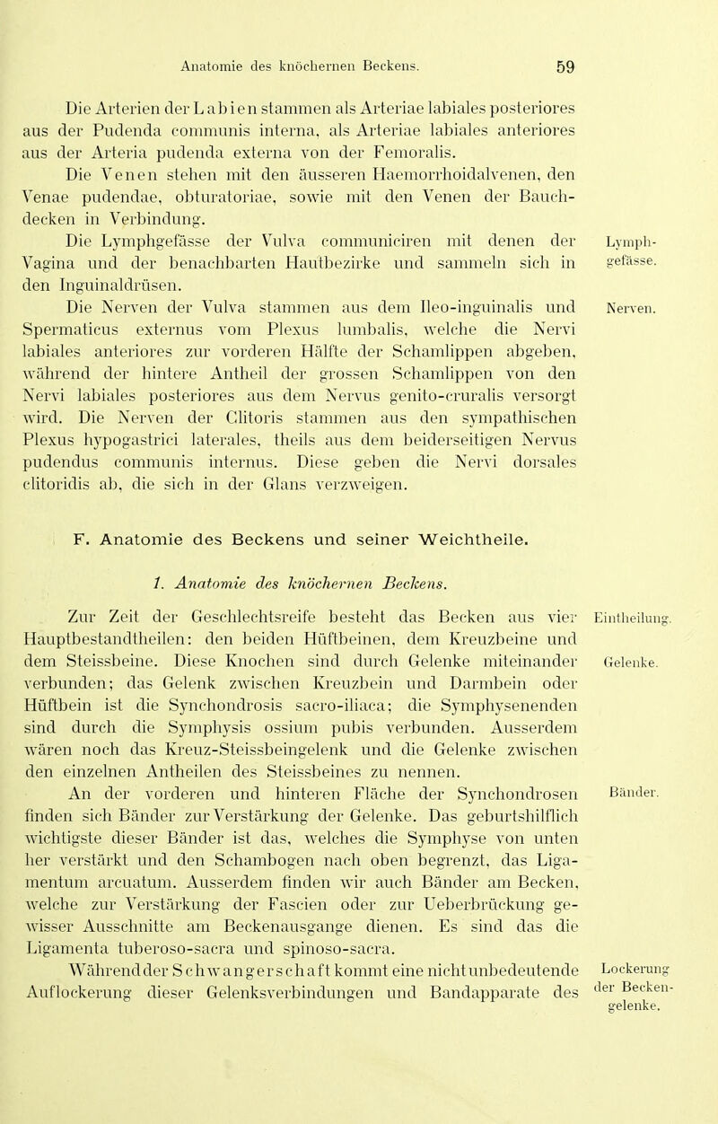 Die Arterien der Labien stammen als Arteriae labiales posteriores aus der Pudenda conununis interna, als Arteriae labiales anteriores aus der Arteria pudenda externa von der Femoralis. Die Venen stehen mit den äusseren Haemorrhoidalvenen, den Venae pudendae, obturatoriae, sowie mit den Venen der Bauch- decken in Verbindung. Die Lymphgefässe der Vulva communiciren mit denen der Lymph- Vagina und der benachbarten Hautbezirke und sammeln sich in gefässe. den Inguinaldrüsen. Die Nerven der Vulva stammen aus dem Ileo-inguinalis und Nerven. Spermaticus externus vom Plexus lumbalis, welche die Nervi labiales anteriores zur vorderen Hälfte der Schamlippen abgeben, während der hintere Antheil der grossen Schamlippen von den Nervi labiales posteriores aus dem Nervus genito-cruralis versorgt wird. Die Nerven der Glitoris stammen aus den sympathischen Plexus hypogastrici laterales, theils aus dem beiderseitigen Nervus pudendus communis internus. Diese geben die Nervi dorsales clitoridis ab, die sich in der Glans verzweigen. F. Anatonaie des Beckens und seiner Weichtheile. 1. Anatomie des knöchernen Beckens. Zur Zeit der Geschlechtsreife besteht das Becken aus vier Eintheilung;, Hauptbestandtheilen: den beiden Hüftbeinen, dem Kreuzbeine und dem Steissbeine. Diese Knochen sind durch Gelenke miteinander Gelenke, verbunden; das Gelenk zwischen Kreuzbein und Darmbein oder Hüftbein ist die Synchondrosis sacro-iliaca; die Symphysenenden sind durch die Symphysis ossium pubis verbunden. Ausserdem wären noch das Kreuz-Steissbeingelenk und die Gelenke zwischen den einzelnen Antheilen des Steissbeines zu nennen. An der vorderen und hinteren Fläche der Synchondrosen Bänder, finden sich Bänder zur Verstärkung der Gelenke. Das geburtshilflich wichtigste dieser Bänder ist das, welches die Symphyse von unten her verstärkt und den Schambogen nach oben begrenzt, das Liga- mentum arcuatum. Ausserdem finden wir auch Bänder am Becken, welche zur Verstärkung der Fascien oder zur Ueberbrückung ge- wisser Ausschnitte am Beckenausgange dienen. Es sind das die Ligamenta tuberoso-sacra und spinoso-sacra. Während der S c h w a n g erschaff kommt eine nicht unbedeutende Lockerung: Auflockerung dieser Gelenksverbindungen und Bandapparate des B^cken- s'elenke.