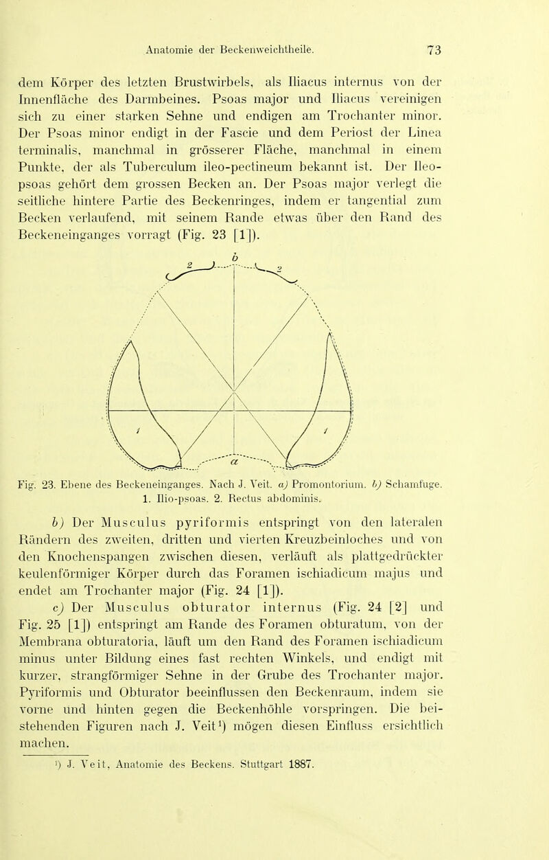 dem Körper des letzten Brustwirbels, als Iliacus internus von der Innenfläche des Darmbeines. Psoas major und Iliacus vereinigen sich zu einer starken Sehne und endigen am Trochanter minor. Der Psoas minor endigt in der Fascie und dem Periost der Linea terminalis, manchmal in grösserer Fläche, manchmal in einem Punli^te, der als Tuberculum ileo-pectineum bekannt ist. Der Ileo- psoas gehört dem grossen Becken an. Der Psoas major verlegt die seitliche hintere Partie des Beckenringes, indem er tangential zum Becken verlaufend, mit seinem Bande etvs-as über den Band des Beckeneinganges vorragt (Fig. 23 [1]). Fig. 23. Ebene des Beckeneinganges. Nacli J. Veit, aj Promontorium. I>J Scliamfuge. 1. Ilio-psoas. 2. Rectus abdominis. b) Der Musculus pyriformis entspringt von den lateralen Bändern des zweiten, dritten und vierten Kreuzbeinloches und von den Knochenspangen zwischen diesen, verläuft als plattgedrückter keulenförmiger Körper durch das Foramen ischiadicum majus und endet am Trochanter major (Fig. 24 [1]). c) Der Musculus obturator internus (Fig. 24 [2] und Fig. 25 [1]) entspringt am Bande des Foramen obturatum, von der Membrana obturatoria, läuft um den Band des Foramen ischiadicum minus unter Bildung eines fast rechten Winkels, und endigt mit kurzer, strangförmiger Sehne in der Grube des Trochanter major. Pyriformis und Obturator beeinflussen den Beckenraum, indem sie vorne und hinten gegen die Beckenhöhle vorspringen. Die bei- stehenden Figuren nach J. Veit*) mögen diesen Einfluss ersichtlich machen. ') J. Veit, Anatomie des Beckens. Stuttgart 1887.