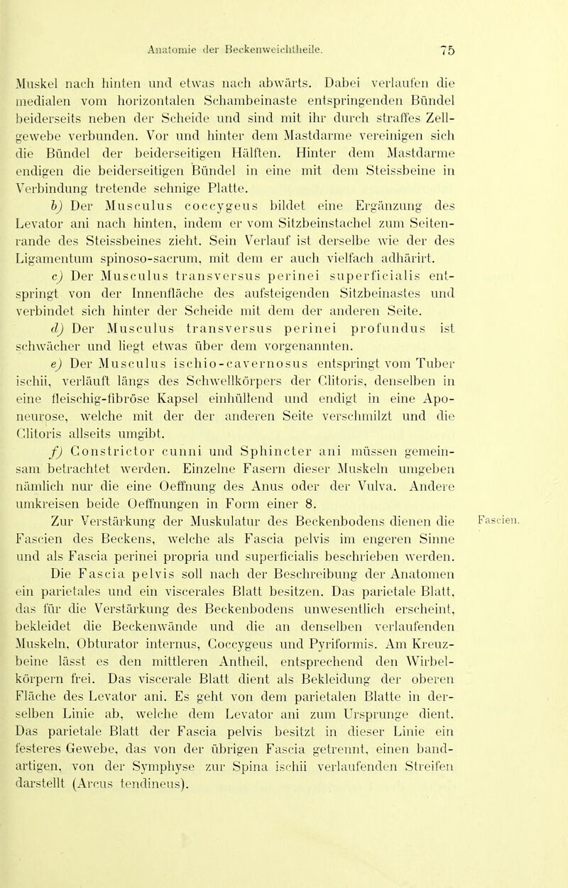 Muskel nach hinten und etwas nach abwärts. Dabei verlaufen die medialen vom horizontalen Schambeinaste entspringenden Bündel beiderseits neben der Scheide und sind mit ihr durch straffes Zell- gewebe verbunden. Vor und hinter dem Mastdarme vereinigen sich die Bündel der beiderseitigen Hälften. Hinter dem Mastdarme endigen die beiderseitigen Bündel in eine mit dem Steissbeine in Verbindung tretende sehnige Platte. h) Der Musculus coccygeus bildet eine Ergänzung des Levator ani nach hinten, indem er vom Sitzbeinstachel zum Seiten- rande des Steissbeines zieht. Sein Verlauf ist derselbe wie der des Ligamentum spinoso-sacrum, mit dem er auch vielfach adhärirt. c) Der Musculus transversus perinei superficialis ent- springt von der Innenfläche des aufsteigenden Sitzbeinastes und verbindet sich hinter der Scheide mit dem der anderen Seite. d) Der Musculus transversus perinei profundus ist schwächer und liegt etwas über dem vorgenannten. e) Der Musculus ischio-cavernosus entspringt vom Tuber ischii, verläuft längs des Schwellkörpcrs der Clitoris, denselben in eine fleischig-fibröse Kapsel einhüllend und endigt in eine Apo- neurose, welche mit der der anderen Seite verschmilzt und die Clitoris allseits umgibt. fj Constrictor cunni und Sphincter ani müssen gemein- sam betrachtet werden. Einzelne Fasern dieser Muskeln umgeben nämlich nur die eine Oeffhung des Anus oder der Vulva. Andere umkreisen beide Oeffnungen in Form einer 8. Zur Verstärkung der Muskulatur des Beckenbodens dienen die Fascien. Fascien des Beckens, welche als Fascia pelvis im engeren Sinne und als Fascia perinei propria und superflcialis beschrieben werden. Die Fascia pelvis soll nach der Beschreibung der Anatomen ein parietales und ein viscerales Blatt besitzen. Das parietale Blatt, das für die Verstärkung des Beckenbodens unwesentlich erscheint, bekleidet die Beckenwände und die an denselben verlaufenden Muskeln. Obturator internus, Coccygeus und Pyriformis. Am Kreuz- beine lässt es den mittleren Antheil, entsprechend den Wirbel- körpern frei. Das viscerale Blatt dient als Bekleidung der oberen Fläche des Levator ani. Es geht von dem parietalen Blatte in der- selben Linie ab, welche dem Levator ani zum Ursprünge dient. Das parietale Blatt der Fascia pelvis besitzt in dieser Linie ein festeres Gewebe, das von der übrigen Fascia getreinit, einen band- artigen, von der Symphyse zur Spina ischii verlaufenden Streifen darstellt (Arcus tendineus).