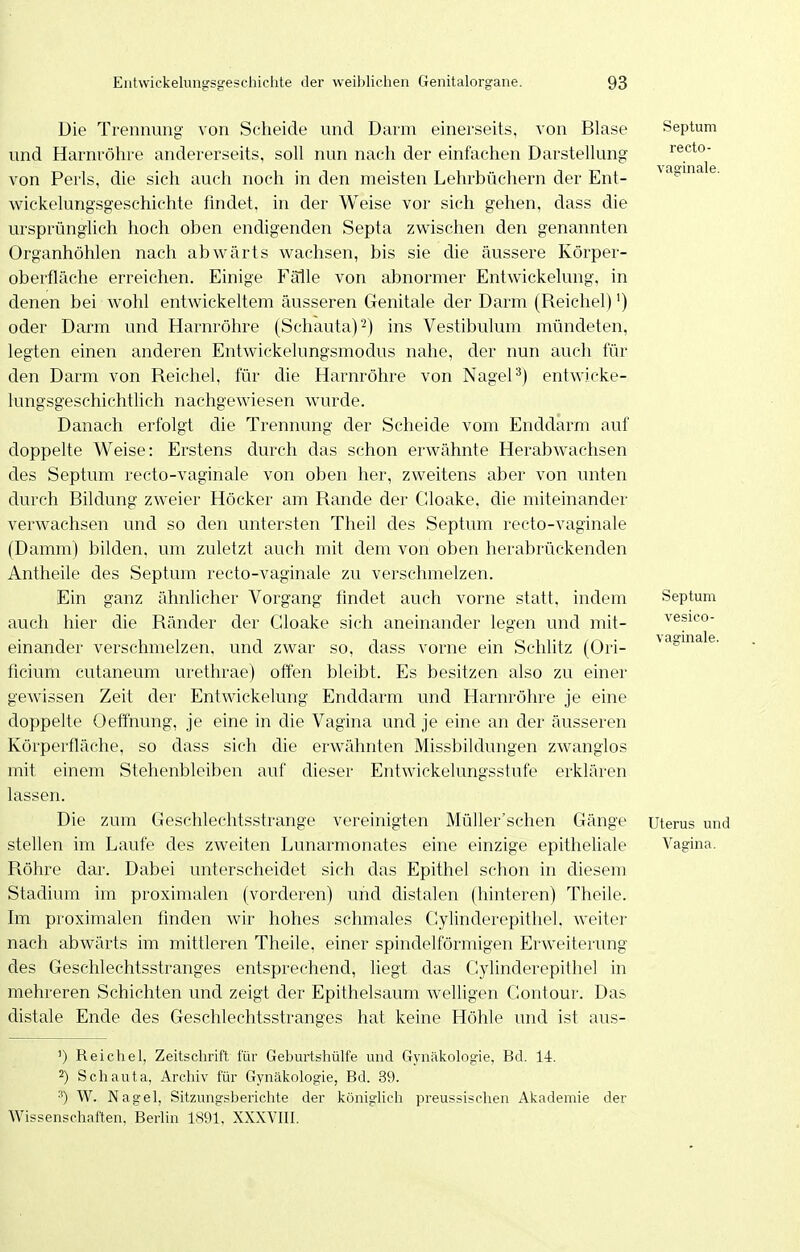 Die Trennung von Scheide und Darm einerseits, von Blase und Harnröhre andererseits, soll nun nach der einfachen Darstellung von Perls, die sich auch noch in den meisten Lehrbüchern der Ent- wickelungsgeschichte findet, in der Weise vor sich gehen, dass die ursprünglich hoch oben endigenden Septa zwischen den genannten Organhöhlen nach abwärts wachsen, bis sie die äussere Körper- oberfläche erreichen. Einige Fälle von abnormer Entwickelung, in denen bei wohl entwickeltem äusseren Genitale der Darm (Reichel)') oder Darm und Harnröhre (Schauta)^) ins Vestibulum mündeten, legten einen anderen Entwickelungsmodus nahe, der nun auch für den Darm von Reichel, für die Harnröhre von Nagel*) entwicke- lungsgeschichtlich nachgewiesen wurde. Danach erfolgt die Trennung der Scheide vom Enddarm auf doppelte Weise: Erstens durch das schon erwähnte Herabwachsen des Septum recto-vaginale von oben her, zweitens aber von unten durch Bildung zweier Höcker am Rande der Gloake, die miteinander verwachsen und so den untersten Theil des Septum recto-vaginale (Damm) bilden, um zuletzt auch mit dem von oben herabrückenden Antheile des Septum recto-vaginale zu verschmelzen. Ein ganz ähnlicher Vorgang findet auch vorne statt, indem auch hier die Ränder der Gloake sich aneinander legen und mit- einander verschmelzen, und zwar so, dass vorne ein Schlitz (Ori- ficium cutaneum urethrae) offen bleibt. Es besitzen also zu einer gewissen Zeit der Entwickelung Enddarm und Harnröhre je eine doppelte Oeffnung, je eine in die Vagina und je eine an der äusseren Körperfläche, so dass sich die erwähnten Missbildungen zwanglos mit einem Stehenbleiben auf dieser Entwickelungsstufe erklären lassen. Die zum Geschlechtsstrange vereinigten MüUer'schen Gänge stellen im Laufe des zweiten Lunarmonates eine einzige epitheUale Röhre dar. Dabei unterscheidet sich das Epithel schon in diesem Stadium im proximalen (vorderen) und distalen (hinteren) Theile. Im proximalen finden wir hohes schmales Cylinderepithel, weiter nach abwärts im mittleren Theile, einer spindelförmigen Erweiterung des Geschlechtsstranges entsprechend, liegt das Cylinderepithel in mehreren Schichten und zeigt der Epithelsaum AveUigen Contour. Das distale Ende des Geschlechtsstranges hat keine Höhle und ist aus- Septum recto- vaginale. ') Reichel, Zeitschrift für Geburtshülfe und Gynäkologie, Bd. 14. 2) Schauta, Archiv für Gynäkologie, Bd. 39. W. Nagel, Sitzungsberichte der königlich preussischen Akademie der Wissenschaften, Berlin 1891, XXXVIII. Septum vesico- vaginale. Uterus und Vagina.