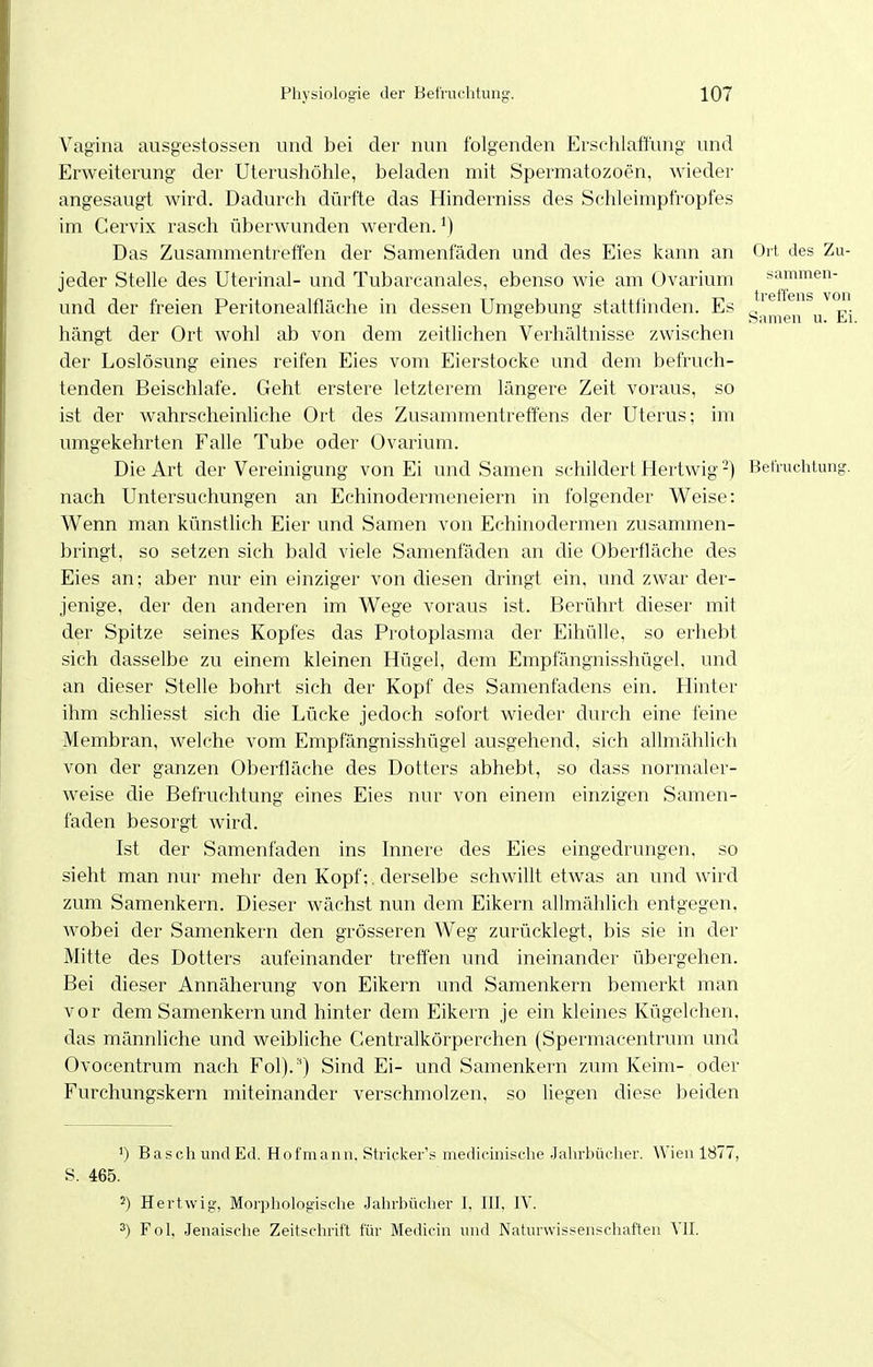 Vagina ausgestossen und bei der nun folgenden Evschlaflung und Erweiterung der Uterushöhle, beladen mit Spermatozoen, wieder angesaugt wird. Dadurch dürfte das Hinderniss des Schleimpfropfes im Cervix rasch überwunden werden. ^) Das Zusammentreffen der Samenfäden und des Eies kann an Ort des Zu- jeder Stelle des Uterinal- und Tubarcanales, ebenso wie am Üvarium sammen- und der freien Peritonealfläche in dessen Umgebung stattfhiden. Es ^ ° _ , harnen u. Li hängt der Ort wohl ab von dem zeitlichen Verhältnisse zwischen der Loslösung eines reifen Eies vom Eierstocke und dem befruch- tenden Beischlafe. Geht erstere letzterem längere Zeit voraus, so ist der wahrscheinliche Ort des Zusammentreffens der Uterus; im umgekehrten Falle Tube oder Ovarium. Die Art der Vereinigung von Ei und Samen schildert Hertwig-) Befruchtung, nach Untersuchungen an Echinoderraeneiern in folgender Weise: Wenn man künstlich Eier und Samen von Echinodermen zusammen- bringt, so setzen sich bald viele Samenfäden an die Oberfläche des Eies an; aber nur ein einziger von diesen dringt ein, und zwar der- jenige, der den anderen im Wege voraus ist. Berührt dieser mit der Spitze seines Kopfes das Protoplasma der EihüUe, so erhebt sich dasselbe zu einem kleinen Hügel, dem Empfängnisshügel, und an dieser Stelle bohrt sich der Kopf des Samenfadens ein. Hinter ihm schliesst sich die Lücke jedoch sofort wieder durch eine feine Membran, welche vom Empfängnis.shügel ausgehend, sich allmählich von der ganzen Oberfläche des Dotters abhebt, so dass normaler- weise che Befruchtung eines Eies nur von einem einzigen Samen- faden besorgt wird. Ist der Samenfaden ins Innere des Eies eingedrungen, so sieht man nur mehr den Kopf;, derselbe schwillt etwas an und wird zum Samenkern. Dieser wächst nun dem Eikern allmählich entgegen, wobei der Samenkern den grösseren Weg zurücklegt, bis sie in der Mitte des Dotters aufeinander treffen und ineinander übergehen. Bei dieser Annäherung von Eikern und Samenkern bemerkt man vor dem Samenkern und hinter dem Eikern je ein kleines Kügelchen, das männliche und weibliche Gentralkörperchen (Spermacentrum und Ovocentrum nach Fol).') Sind Ei- und Samenkern zum Keim- oder Furchungskern miteinander verschmolzen, so liegen diese beiden ') Bäsch und Ed. Hofmann, Stricker's medicinische Jahrbücher. Wien 1877, S. 465. 2) Hertwig, Morphologische Jahrbücher I, HI, IV. 3) Fol, Jenaische Zeitschrift für Medicin und Naturwissenschaften VII.