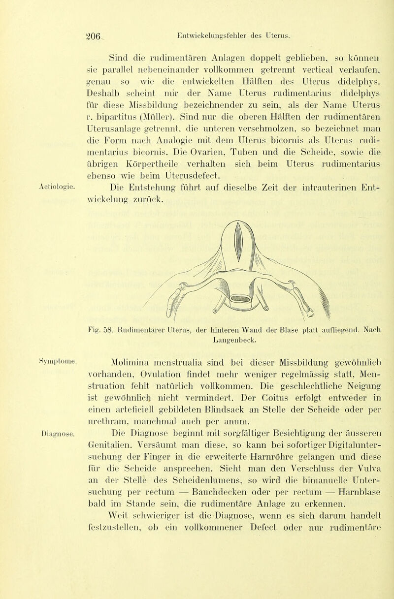 Sind die rudimentären Anlagen doppelt geblieben, so können sie parallel nebeneinander vollkommen getrennt vertical verlaufen, genau so wie die entwickelten Hälften des Uterus didelpliys. Deshalb scheint mir der Name Uterus rudimentarius didelphys für diese Missbildung bezeichnender zu sein, als der Name Uterus r. bipartitus (Müller). Sind nur die oberen Hälften der rudimentären Uterusanlage getrennt, die unteren verschmolzen, so bezeichnet man die Form nach Analogie mit dem Uterus bicornis als Uterus rudi- mentarius bicornis. Die Ovarien, Tuben und die Scheide, sowie die übrigen Körpertheile verhalten sich beim Uterus rudimentarius ebenso wie beim Uterusdefect. Aetiologie. Die Entstehung führt auf dieselbe Zeit der intrauterinen Ent- wickelung zurück. Fig'. 58. Rudimentärer Uterus, der hinteren Wand der Blase platt aufliegend. Nach Langenbeck. Symptome. Molimina menstrualia sind bei dieser Missbildung gewöhnlich vorhanden, Ovulation fmdet mehr weniger regelmässig statt, Men- struation fehlt natürlich vollkommen. Die geschlechtliche Neigung ist gewöhnlicl^ nicht vermindert. Der Goitus erfolgt entweder in einen arteficiell gebildeten Blindsack an Stelle der Scheide oder per urethram, manchmal auch per anum. Diagnose. Die Diagnose beginnt mit sorgfältiger Besichtigung der äusseren Genitalien. Versäumt man diese, so kann bei sofortiger Digitalunter- suchung der Finger in die erweiterte Harnröhre gelangen und diese für die Scheide ansprechen. Sieht man den Verschluss der Vulva an der Stelle des Scheidenlumens, so wird die bimanuelle Unter- suchung per rectum — Bauchdecken oder per rectum — Harnbl-ase bald im Stande sein, die rudimentäre Anlage zu erkennen. Weit schwieriger ist die Diagnose, wenn es sich darum handelt festzustellen, ob ein vollkommener Defect oder nur rudimentäre