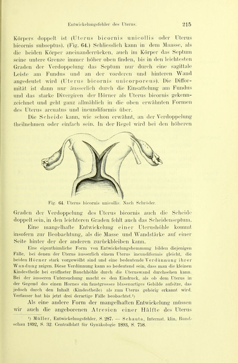 KöiptTS doppelt ist (Uterus bicornis unicollis oder Uterus bicornis subseptus). (Fig. 64.) Schliesslich kann in dem Maasse, als die beiden Körper aneinanderrücken, auch im Körper das Septum seine untere Grenze immer höher oben finden, bis in den leichtesten Graden der Verdoppelung das Septum nur durch eine sagittale Leiste am Fundus und an der vorderen und hinteren Wand angedeutet wird (Uterus bicornis unicorporeus). Die Diffor- mität ist dann nur äusserlich durch die Einsattelung am Fundus und das starke Divergiren der Hörner als Uterus bicornis gekenn- zeichnet und geht ganz allmählich in die oben erwähnten Formen des Uterus arcuatus und incundiformis über. Die Scheide kann, wie schon erwähnt, an der Verdoppelung theilnehmen oder einfach sein. In der Regel Avird bei den höheren Fig-, 64. Uterus bicornis unicollis. Nach Schröder. Graden der Verdoppelung des Uterus bicornis auch die Scheide doppelt sein, in den leichteren Graden fehlt auch das Scheidenseptum. Eine mangelhafte Entwickelung einer Uterushöhle kommt insofern zur Beobachtung, als die Masse und Wandstärke auf einer Seite hinter der der anderen zurückbleiben kann. Eine eigenthümliche Form von Entwickelungshemmung bilden diejenigen Fälle, bei denen der Uterus äusserlich einem Uterus ineundifornns gleicht, die beiden Hörner stark vorgewölbt sind und eine bedeutende Verdünnung ihrei' Wandung zeigen. Diese Verdünnung kann so bedeutend sein, dass man die kleinen Kindestheile bei eröffneter Bauchhöhle durch die Uteruswand durchsehen kann. Bei der äussei'en Untersuchung macht es den Eindruck, als ob dem Uterus in der Gegend des einen Hornes ein faustgrosses blasenartiges Gebilde aufsitze, das jedoch durch den Inhalt (Kindestheile) als zum Uterus gehörig erkannt wird. Verfasser hat bis jetzt drei derartige Fälle beobachtet.') Als eine andere Form der mangelhaften Entwickelung müssen wir auch die angeborenen Atresien einer Hälfte des Uterus ') Müller, Entwickelungsfehler, S. 287. — Schauta, Internat, klin. Rund- schau 1892, S. 32. Centralblatt für Gynäkologie 1893, S. 758.