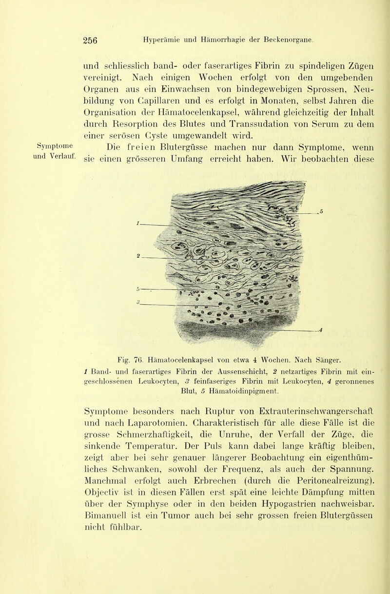 und schliesslich band- oder faserartiges Fibrin zu spindeligen Zügen vereinigt. Nach einigen Wochen erfolgt von den umgebenden Organen aus ein Einwachsen von bindegewebigen Sprossen, Neu- bildung von Gapillaren und es erfolgt in Monaten, selbst Jahren die Organisation der Hämatocelenkapsel, während gleichzeitig der Inhalt durch Resorption des Blutes und Transsudation von Serum zu dem einer serösen Cyste umgewandelt wird. Symptome Die freien Blutergüsse machen nur dann Symptome, wenn ind Verlauf, gjg gi^en grösseren Umfang erreicht haben. Wir beobachten diese Fig. 76. Hämatocelenkapsel von etwa 4 Wochen. Nach Sänger. 1 Band- und faserartiges Fibrin der Aussenschicht, 2 netzartiges Fibrin mit ein- geschlossenen Leukocyten, 3 feinfaseriges Fibrin mit Leukocyten, 4 geronnenes Blut, 6 Hämatoidinpigment. Symptome besonders nach Ruptur von Extrauterinschwangerschaft und nach Laparotomien. Charakteristisch für alle diese Fälle ist die grosse Schmerzhaftigkeit, die Unruhe, der Verfall der Züge, die sinkende Temperatur. Der Puls kann dabei lange kräftig bleiben, zeigt aber bei sehr genauer längerer Beobachtung ein eigenthüm- liches Schwanken, sowohl der Frequenz, als auch der Spannung. Manchmal erfolgt auch Erbrechen (durch die Peritonealreizung). Objectiv ist in diesen Fällen erst spät eine leichte Dämpfung mitten über der Symphyse oder in den beiden Hypogastrien nachweisbar. Bimanuell ist ein Tumor auch bei sehr grossen freien Blutergüssen nicht fühlbar.