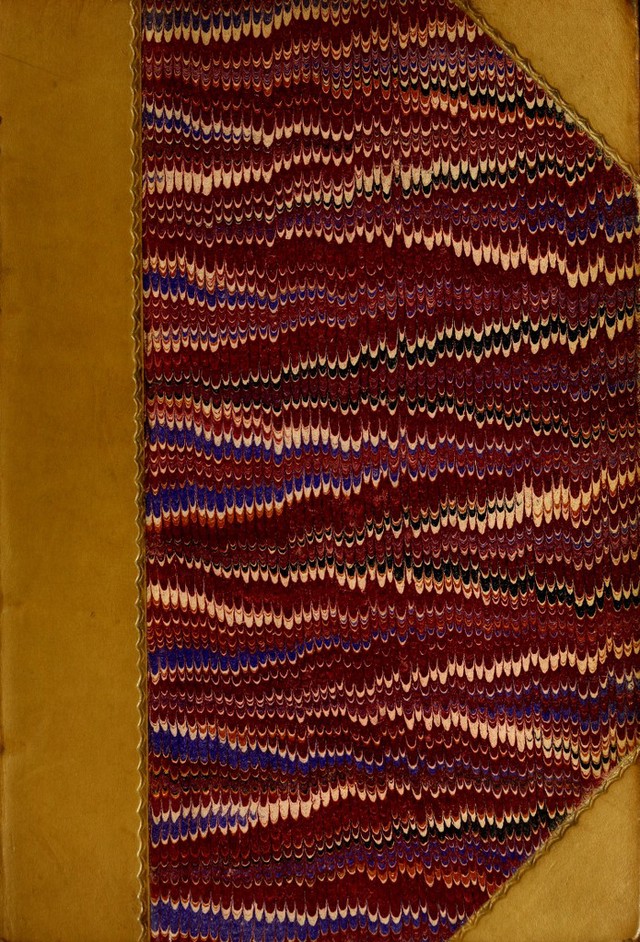 No text description is available for this image