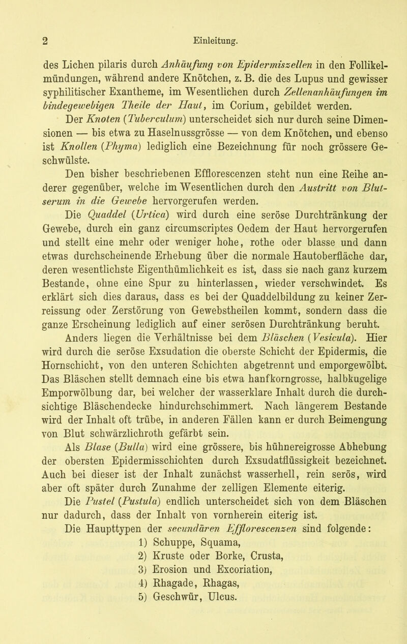 des Lichen pilaris durch Anhäufung von Epidermiszellen in den Follikel- mündungen, während andere Knötchen, z. B. die des Lupus und gewisser syphilitischer Exantheme, im Wesentlichen durch Zellenanhäufungen im bindegewebigen Theile der Haut, im Corium, gebildet werden. Der Knoten (Tuberculum) unterscheidet sich nur durch seine Dimen- sionen — bis etwa zu Haselnussgrösse — von dem Knötchen, und ebenso ist Knollen {Phyma) lediglich eine Bezeichnung für noch grössere Ge- schwülste. Den bisher beschriebenen Efflorescenzen steht nun eine Reihe an- derer gegenüber, welche im Wesentlichen durch den Austritt von Blut- serum in die Gewebe hervorgerufen werden. Die Quaddel {Urtica) wird durch eine seröse Durchtränkung der Gewebe, durch ein ganz circumscriptes Oedem der Haut hervorgerufen und stellt eine mehr oder weniger hohe, rothe oder blasse und dann etwas durchscheinende Erhebung über die normale Hautoberfläche dar, deren wesentlichste Eigenthümlichkeit es ist, dass sie nach ganz kurzem Bestände, ohne eine Spur zu hinterlassen, wieder verschwindet. Es erklärt sich dies daraus, dass es bei der Quaddelbildung zu keiner Zer- reissung oder Zerstörung von Gewebstheilen kommt, sondern dass die ganze Erscheinung lediglich auf einer serösen Durchtränkung beruht. Anders liegen die Verhältnisse bei dem Bläschen {Vesicula). Hier wird durch die seröse Exsudation die oberste Schicht der Epidermis, die Hornschicht, von den unteren Schichten abgetrennt und emporgewölbt. Das Bläschen stellt demnach eine bis etwa hanfkorngrosse, halbkugelige Emporwölbung dar, bei welcher der wasserklare Inhalt durch die durch- sichtige Bläschendecke hindurchschimmert. Nach längerem Bestände wird der Inhalt oft trübe, in anderen Fällen kann er durch Beimengung von Blut schwärzlichroth gefärbt sein. Als Blase {Bulla) wird eine grössere, bis hühnereigrosse Abhebung der obersten Epidermisschichten durch Exsudatflüssigkeit bezeichnet. Auch bei dieser ist der Inhalt zunächst wasserhell, rein serös, wird aber oft später durch Zunahme der z eiligen Elemente eiterig. Die Pustel {Pustula) endlich unterscheidet sich von dem Bläschen nur dadurch, dass der Inhalt von vornherein eiterig ist. Die Haupttypen der secundären Efflorescenzen sind folgende: 1) Schuppe, Squama, 2) Kruste oder Borke, Crusta, 3) Erosion und Excoriation, 4) Rhagade, Rhagas, 5) Geschwür, Ulcus.