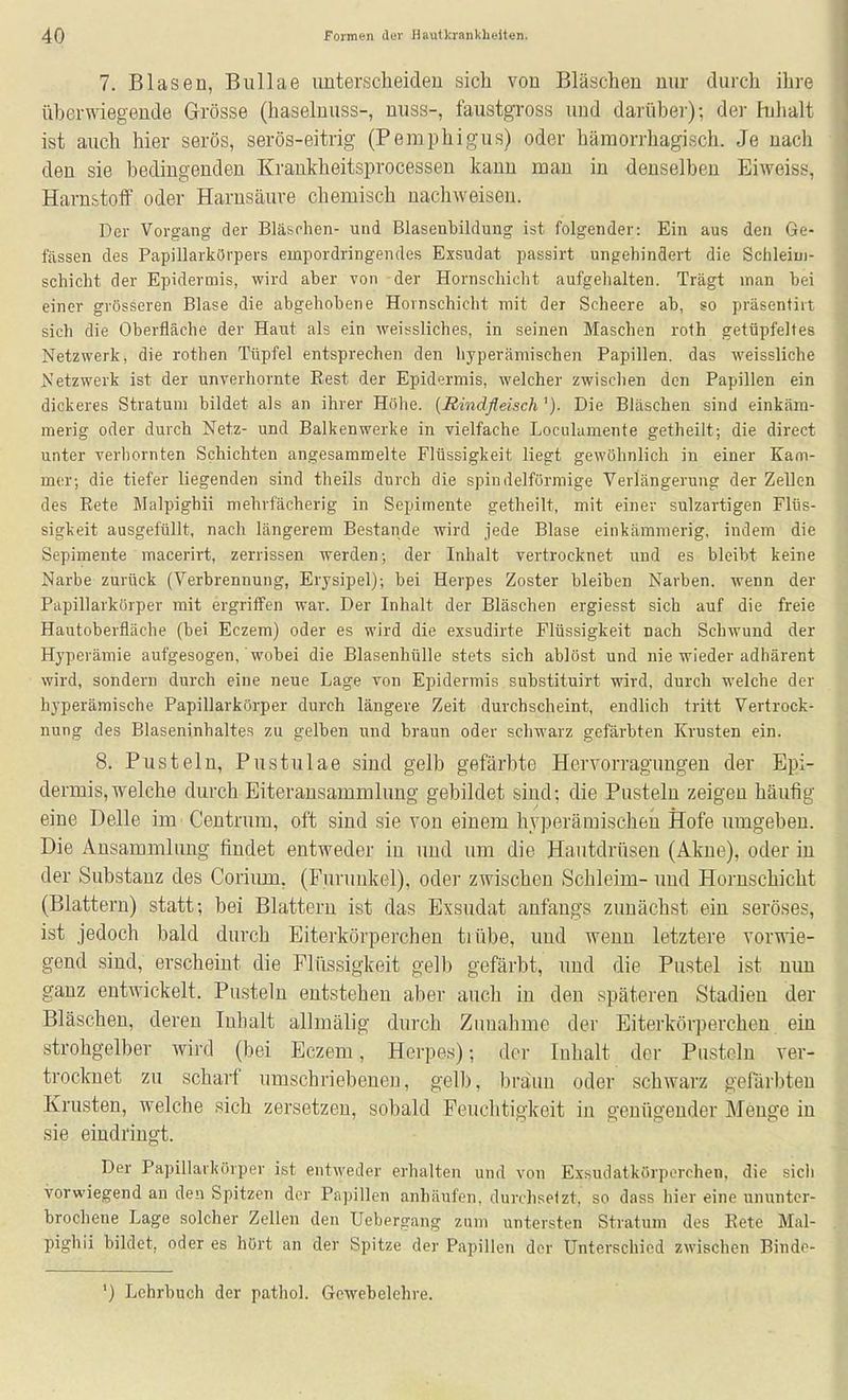 7. Blasen, Bullae imterscheideu sich von Bläschen nur durch ihre überwiegende Grösse (haseluuss-, nuss-, faustgross und darüber); der Julialt ist auch hier serös, serös-eitrig (Pemphigus) oder hämorrhagisch. Je nach den sie bedingenden Krankheitsprocessen kann mau in denselben Eiweiss, Harnstoff oder Harnsäure chemisch nachweisen. Der Vorgang der Bläschen- und Blasenbildung ist folgender: Ein aus den Ge- fässen des Papillarkörpers empordringendes Exsudat passirt ungehindert die Schleiui- schicht der Epidermis, wird aber von der Hornschicht aufgehalten. Trägt man bei einer grösseren Blase die abgehobene Hornschicht mit der Scheere ab, so präsentiit sich die Oberfläche der Haut als ein weissliches, in seinen Maschen roth getüpfeltes Netzwerk, die rothen Tüpfel entsprechen den hyperämischen Papillen, das weissliche Netzwerk ist der unverhornte Eest der Epidermis, welcher zwischen den Papillen ein dickeres Stratum bildet als an ihrer Höhe. {RindfleischDie Bläschen sind einkäm- merig oder durch Netz- und Balkenwerke in vielfache Loculamente getheilt; die direct unter verhornten Schichten angesammelte Flüssigkeit liegt gewöhnlich in einer Kam- mer; die tiefer liegenden sind theils durch die spindelförmige Verlängerung der Zellen des Rete Malpighii mehrfächerig in Sepimente getheilt, mit einer sulzartigen Flüs- sigkeit ausgefüllt, nach längerem Bestände wird jede Blase einkämmerig, indem die Sepimente macerirt, zerrissen werden-, der Inhalt vertrocknet und es bleibt keine Narbe zurück (Verbrennung, Erysipel); bei Herpes Zoster bleiben Narben, wenn der Papillarkörper mit ergriffen war. Der Inhalt der Bläschen ergiesst sich auf die freie Hautoberfläche (bei Eczem) oder es wird die exsudirte Flüssigkeit nach Schwund der Hyperämie aufgesogen, wobei die Blasenhülle stets sich ablöst und nie wieder adhärent wird, sondern durch eine neue Lage von Epidermis substituirt wird, durch welche der hyperämische Papillarkörper durch längere Zeit durchscheint, endlich tritt Vertrock- nung des Blaseninhaltes zu gelben und braun oder schwarz gefärbten Krusten ein. 8. Pusteln, Pustulae sind gelb gefärbte Hervorragungen der Epi- dermis, welche durch Eiteransammlung gebildet sind; die Pusteln zeigen häufig eine Delle im Centrum, oft sind sie von einem hyperämischen Hofe umgeben. Die Ansammlung findet entweder in und um die Hautdrüsen (Akne), oder in der Substanz des Coriiun, (Furunkel), oder zwischen Schleim- uud Hornschicht (Blattern) statt; bei Blattern ist das Exsudat anfangs zunächst ein seröses, ist jedoch bald durch Eiterkörperchen tiübe, und wenn letztere vorwie- gend sind, erscheint die Flüssigkeit gelb gefärbt, und die Pustel ist nun ganz entwickelt. Pusteln entstehen aber auch in den späteren Stadien der Bläschen, deren Inhalt allmälig durch Znuahme der Eiterkörperchen ein strohgelber wird (bei Eczem, Herpes); der Inhalt der Pusteln ver- trocknet zu scharf umschriebenen, gelb, bräun oder schwarz gefärbten Krusten, welche sich zersetzen, sobald Feuchtigkeit in genügender Menge in sie eindringt. Der Papillarkörper ist entweder erhalten und von Exsudatkörporchen, die sich vorwiegend an den Spitzen der Papillen anhäufen, durchsetzt, so dass hier eine ununter- brochene Lage solcher Zellen den Uebergang zum untersten Stratum des Bete Mal- pighii bildet, oder es hört an der Spitze der Papillen der Unterschied zwischen Binde- ') Lehrbuch der pathol. Gewebelehre.