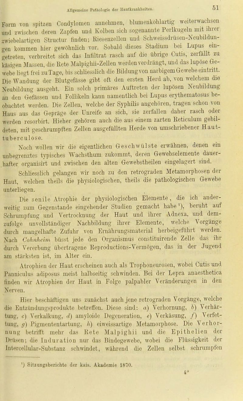 Form von spitzen Condylomen annehmen, blumenkohlartig weiterwachsen und zwischen deren Zapfen und Kolben sich sogenannte Perlkugeln mit ihrer zwiebelartigen Structur linden; Kieseuzellen und Schweissdrüsen-Neubildun- fren kommen hier gewöhnlich vor. Sobald dieses Stadium bei Lupus ein- getreten, verbreitet sich das Infiltrat rasch auf die übrige Cutis, zerfällt zu käsigen Massen, die Rete Malpighii-ZeUen werden verdrängt, und das lupöse Ge- webe liegt frei zu Tage, bis schliesslich die Bildungvon narbigem Gewebe eintritt. Die Wandung der Blutgefässe gibt oft den ersten Herd ab, von welchem die Neubildimg ausgeht. Ein solch primäres Auftreten der lupösen Neubildung an den Gefässen und Follikeln kann namentlich bei Lupus erythematosus be- obachtet werden. Die Zellen, welche der Syphilis angehören, tragen schon von Haus aus das Gepräge der Unreife an sich, sie zerfallen daher rasch oder werden resorbirt. Hieher gehören auch die aus einem zarten Eeticulum gebil- deten, mit geschrumpften Zellen ausgefüllten Herde von umschriebener Haut- tuberculose. Noch Avollen wir die eigentlichen Geschwülste erwähnen, denen ein unbegrenztes typisches Wachsthum zukommt, deren Gewebselemente dauer- hafter organisirt und zwischen den alten Gewebstheilen eingelagert sind. Schliesslich gelangen wir noch zu den retrograden Metamorphosen der Haut, welchen theils die physiologischen, theils die pathologischen Gewebe unterliegen. Die senile Atrophie der physiologischen Elemente, die ich ander- weitig zum Gegenstande eingehender Studien gemacht habe beruht auf Schrumpfung und Vertrocknung der Haut und ihrer Adnexa, und dem- zufolge unvollständiger Nachbildung ihrer Elemente, welche Vorgänge durch mangelhafte Zufuhr von Brnährungsmaterial herbeigeführt werden. Nach Cohnheim büsst jede den Organismus constituirende Zelle das ihr durch Vererbung übertragene Eeproductions-Vermögen, das in der Jugend am stärksten ist, im Alter ein. Atrophien der Haut erscheinen auch als Trophoneurosen, wobei Cutis und Panniculus adiposus meist halbseitig schAvinden. Bei der Lepra anaesthetica finden wir Atrophien der Haut in Folge palpabler Veränderungen in den Nerven. Hier beschäftigen uns zimächst auch jene retrograden Vorgänge, welche die Entzündimgsprodukte betreffen. Diese sind: a) Verhornung, b) Verhär- tung, 6') Verkalkung, d) amyloido Degeneration, e) Verkäsung, /) Verfet- tung, ff) Pigraentcntartung, h) eiweissartige Metamorphose. Die Verhor- nung betrifft mehr das Keto Malpighii und die Epithelien der Drüsen; die Induration nur das Bindegewebe, wobei die Flüssigkeit der Intercellular-Substanz schwindet, während die Zellen selbst schrumpfen ') Sitzungsberichte der kais. Akademie 1870. 4=*