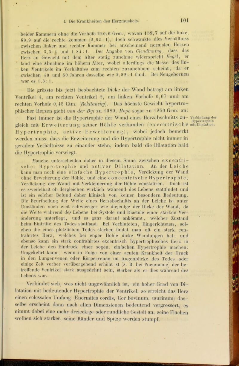 beider Kammern oline die Vorhöfe 520,6 Grm., wovon IS-9,7 auf die linke, 60,9 auf die rechle kommen (2,6-2 : l), doch schwankte dies VerliäKniss zwischen linker und rechter Kammer bei anscheinend norn)alen Herzen zwischen 3,5 :i und 1,84:1. Der Angabe von Chndinning, dass das Herz an Gewicht mit dem Alter stetig zunehme widerspricht Engel, er ■ fand eine Abnahme im höhern' Aller, wobei allerdings die Masse des lin- ken Ventrikels im Verhiiltniss zum rechten zuzunehmen scheint, da er zwischen 40 und 60 Jahren dasselbe wie 2,82 : t fand. Bei Neugebornen war es 1,3:1. Die grösste bis jetzt beobachtete Dicke der Wand beträgt am linken Ventrikel i, am rechten Ventrikel am linken Vorhofe 0,67 und am rechten Vorhofe 0,45 Ctm. [Rokitansky). Das höchste Gewicht hypertro- phischer Herzen giebt van der Biß zu 1080, Hope sogar zu 1250 Grm. an. Fast immer ist die Hypertrophie der Wand eines Herzabschnitts zu- Verbindung der *^ ' . Hypertrophie gleich mit Erweiterung seiner Höhle verbunden (ex cen tri sc h e mit Dilatation. Hypertrophie, active Erweiterung), wobei jedoch bemerkt werden muss, dass die Erweiterung und die Hypertrophie nicht immer in geradem Verhältnisse zu einander stehn, indem bald die Dilatation bald die Hypertrophie vorwiegt. Manche unterscheiden daher in diesem Sinne zwischen ex cen iri- sch er Hypertrophie und activer Dilatation. An der Leiche kann man noch eine einfache Hypertrophie, Verdickung der Wand ohne Erweiterung der Höhle, und eine concentrische Hypertrophie, Verdickung der Wand mit Verkleinerung der Höhle constatiren. Doch ist es zweifelhaft ob dergleichen wirklich während des Lebens statlfindet und ist ein solcher Befund daher klinisch von keiner besondern Bedeutung. Die ßeurtheilung der Weite eines Herzabschnitts an der Leiche ist unter Umständen noch weit schwieriger wie diejenige der Dicke der Wand, da die Weite während dos Lebens bei Systole und Diastole einer starken Ver- änderung unterliegt, und es ganz darauf ankömmt, welcher Zustand beim Eintritte des Todes stattfand. Bei Verblutelen, Hingerichteten, sol- chen die eines plötzlichen Todes sterben findet man oft ein stark con- trahirtes Herz, welches bei enger Höhle dicke Wandungen hat; und ebenso kann ein stark contrahirles excentrisch hypertrophisches Herz in der Leiclie den Eindruck einer sogen, einfachen Hypertrophie machen. Umgekehrt kann , wenn in Folge von einer acuten Krankheit der Druck in den l.ungenvenen oder Körpervenen im Augenblicke des Todes oder einige Zeit vorher vorübergehend erhöht ist (z. B. bei Pneumonie) der be- treflende Ventrikel stark ausgedehnt sein, stärker als er dies während des Lebens \\ ar. Verbindet sich, was nicht ungewöhnlich ist, ein hoher Grad von Di- latation mit bedeutender Hypertrophie der Ventrikel, so erreicht das Herz einen colossalen Umfang (Enormitas cordis. Cor Ijovinum, laurinum) das- selbe erscheint dann nach allen Dimensionen bedeutend vergrössert, es nimmt dabei eine mehr dreieckige oder rundliche Gestalt an, seine Flächen wölben sich stärker, seine Ränder und Spitze werden stumpf.
