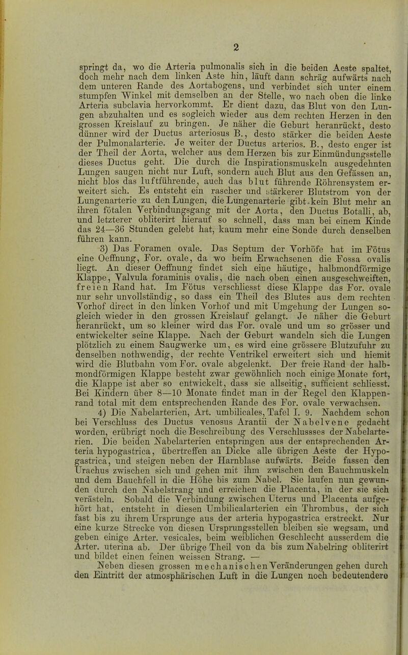 springt da, wo die Arteria pulmonalis sich in die beiden Aeste spaltet, doch mehr nach dem linken Aste hin, läuft dann schräg aufwärts nach dem unteren Rande des Aortabogens, und verbindet sich unter einem stumpfen Winkel mit demselben an der Stelle, wo nach oben die linke Arteria subclavia hervorkomrnt. Er dient dazu, das Blut von den Lim- gen abzuhalten und es sogleich wieder aus dem rechten Herzen in den grossen Kreislauf zu bringen. Je näher die Geburt heranrückt, desto dünner wird der Ductus arteriosus B., desto stärker die beiden Aeste der Pulmonalarterie. Je weiter der Ductus arteriös. B., desto enger ist der Theil der Aorta, welcher aus dem Herzen bis zur Einmündungssteile dieses Ductus geht. Die durch die Inspirationsmuskeln ausgedehnten Lungen saugen nicht nur Luft, sondern auch Blut aus den Gefässen an, nicht blos das luftführende, auch das blut führende Röhrensystem er- weitert sich. Es entsteht ein rascher xmd tifcärkerer Blutstrom von der Lungenarterie zu den Lungen, die Lungenarterie ffibt.kein Blut mehr an ihren fötalen Verbindungsgang mit der Aorta, den Ductus Botalli, ab, und letzterer obliterirt hierauf so schnell, dass man bei einem Kinde das 24—36 Stunden gelebt hat, kaum mehr eine Sonde durch denselben führen kann. 3) Das Foramen ovale. Das Septum der Yorhöfe hat im Fötus eine OefFnung, For. ovale, da wo beim Erwachsenen die Fossa ovalis liegt. An dieser OefFnung findet sich eiije häutige, halbmondförmige Klappe, Valvula foraminis ovalis, die nach oben einen ausgeschweiften, freien Rand hat. Im Fötus verschliesst diese Klappe das For. ovale nur sehr unvollständig, so dass ein Theil des Blutes aus dem rechten Vorhof direct in den linken Vorhof und mit Umgehimg der Lungen so- gleich wieder in den grossen Kreislauf gelangt. Je näher die Geburt heranrückt, um so kleiner wird das For. ovale imd um so grösser und entwickelter seine Klappe. IS ach der Geburt wandeln sich die Lungen plötzlich zu einem Saugwerke um, es wird eine grössere Blutzufuhr zu denselben nothwendig, der rechte Ventrikel erweitert sich und hiemit wird die Blutbahn vom For. ovale abgelenkt. Der freie Rand der halb- mondförmigen Klappe besteht zwar gewöhnhch noch einige Monate fort, die Klappe ist aber so entwickelt, dass sie allseitig, sufficient schliesst. Bei Kindern über 8—10 Monate findet man in der Regel den Klappen- rand total mit dem entsprechenden Rande des For. ovale verwachsen. 4) Die Nabelarterien, Art. umbilicales, Tafel I. 9. Nachdem schon bei Verschluss des Ductus venosus Arantii der Nabelvene gedacht worden, erübrigt noch die Beschreibung des Verschlussses der Nabelarte- rien. Die beiden Nabelarterien entspringen aus der entsprechenden Ar- teria hypogastrica, übertreffen an Dicke alle übrigen Aeste der Hj'po- gastrica, und steigen neben der Harnblase aufwärts. Beide fassen den Urachus zwischen sich und gehen mit ihm zwischen den Bauchmuskehi xmd dem Bauchfell in die Höhe bis zum Nabel. Sie laufen nun gewim- den durch den Nabelstrang und erreichen die Placenta, in der sie sich verästeln. Sobald die Verbindung zwischen Uterus und Placenta aufge- hört hat, entsteht in diesen Umbilicalarterien ein Thrombus, der sich fast bis zu ihrem Ursprünge aus der arteria hypogastrica erstreckt. Nur eine kurze Strecke von diesen Ursprungsstellen bleiben sie wegsam, und geben einige Arter. vesicales, beim weiblichen Geschlecht ausserdem die Arter. uterina ab. Der übrige Theil von da bis zum Nabelring obliterirt und bildet einen feinen weissen Strang. — Neben diesen grossen mechanischen Veränderungen gehen durch den Eintritt der atmosphärischen Luft in die Lungen noch bedeutendere