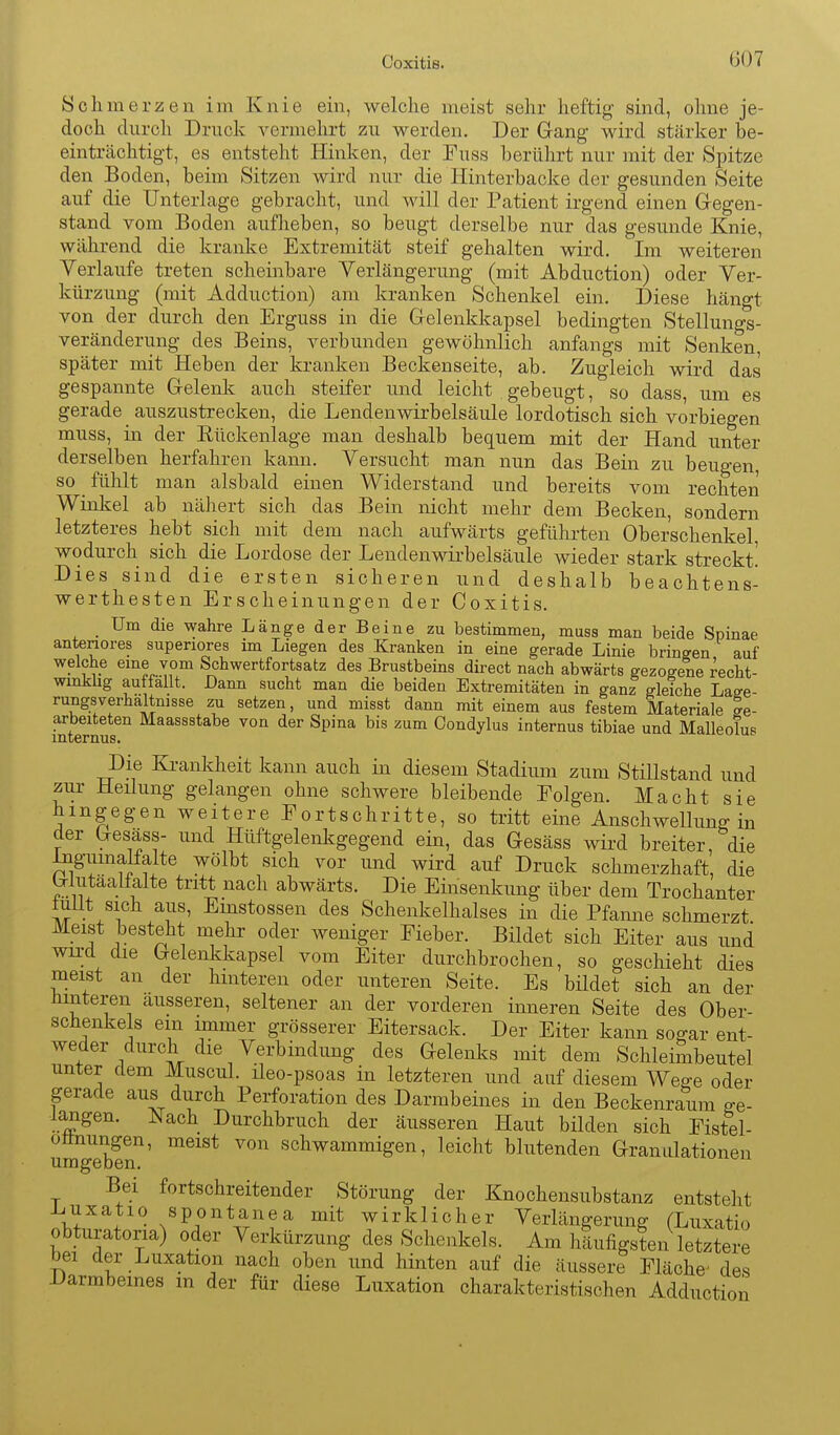 Schmerzen im Knie ein, welche meist sehr heftig sind, ohne je- doch durch Druck vermehrt zu werden. Der Gang wird stärker be- einträchtigt, es entsteht Plinken, der Euss berührt nur mit der Spitze den Boden, beim Sitzen wird nur die Hinterbacke der gesunden Seite auf die Unterlage gebracht, und will der Patient irgend einen Gegen- stand vom Boden aufheben, so beugt derselbe nur das gesunde Knie, während die kranke Extremität steif gehalten wird. Im weiteren Verlaufe treten scheinbare Verlängerung (mit Abduction) oder Ver- kürzung (mit Adduction) am kranken Schenkel ein. Diese häno-t von der durch den Erguss in die Gelenkkapsel bedingten Stellungs- veränderung des Beins, verbunden gewöhnlich anfangs mit Senken, später mit Heben der kranken Beckenseite, ab. Zugleich wird das gespannte Gelenk auch steifer und leicht gebeugt, so dass, um es gerade auszustrecken, die Lendenwirbelsäule lordotisch sich vorbiegen muss, in der Rückenlage man deshalb bequem mit der Hand unter derselben herfahren kann. Versucht man nun das Bein zu beugen, so fühlt man alsbald einen Widerstand und bereits vom rechten Winkel ab nähert sich das Bein nicht mehr dem Becken, sondern letzteres hebt sich mit dem nach aufwärts geführten Oberschenkel wodurch sich die Lordose der Lendenwirbelsäule wieder stark streckt! Dies sind die ersten sicheren und deshalb beachtens- werthesten Erscheinungen der Coxitis. Um die wahre Länge der Beine zu bestimmen, muss man beide Spinae antenores superiores im Liegen des Kranken in eine gerade Linie bringen auf welche eme vom Schwertfortsatz des Brustbeins direct nach abwärts gezogene recht- wmkbg auffallt. Dann sucht man die beiden Extremitäten in ganl gleiche Laae- rungsverhaltnisse zu setzen, und misst dann mit einem aus festem Materiale be- arbeiteten Maassstabe von der Spina bis zum Condylus internus tibiae und Malleolus Die Krankheit kann auch in diesem Stadium zum Stillstand und zur Heilung gelangen ohne schwere bleibende Eolgen. Macht sie hingegen weitere Eortschritte, so tritt eine Anschwellung in der Gesäss- mid Hüftgelenkgegend ein, das Gesäss wird breiter, die ingumalfalte wölbt sich vor und wird auf Druck schmerzhaft, die Wutaaiialte tritt nach abwärts. Die Einsenkung über dem Trochanter tullt sich aus, Emstossen des Schenkelhalses in die Pfanne schmerzt. Meist besteht mehr oder weniger Eieber. Bildet sich Eiter aus und wii;d die Gelenkkapsel vom Eiter durchbrochen, so geschieht dies meist an der hinteren oder unteren Seite. Es büdet sich an der Hinteren äusseren, seltener an der vorderen inneren Seite des Ober- schenke s ein mimer grösserer Eitersack. Der Eiter kann sogar ent- weder durch die Verbindung des Gelenks mit dem Schleimbeutel unter dem Muscul. üeo-psoas in letzteren und auf diesem We^e oder gerade aus durch Perforation des Darmbeines in den Beckenraum e-e- l^gen. Nach Durchbruch der äusseren Haut bilden sich Eistel- ottnungen, meist von schwammigen, leicht blutenden Granulationen umgeben. Bei fortschreitender Störung der Knoohensubstanz entsteht Luxatio spontanea mit wirklicher Verlängerung (Luxatio obturatoria) oder Verkürzung des Schenkels. Am häufigsten letztere bei der Luxation nach oben und hinten auf die äussere Fläche des Darmbeines m der für diese Luxation charakteristischen Adduction