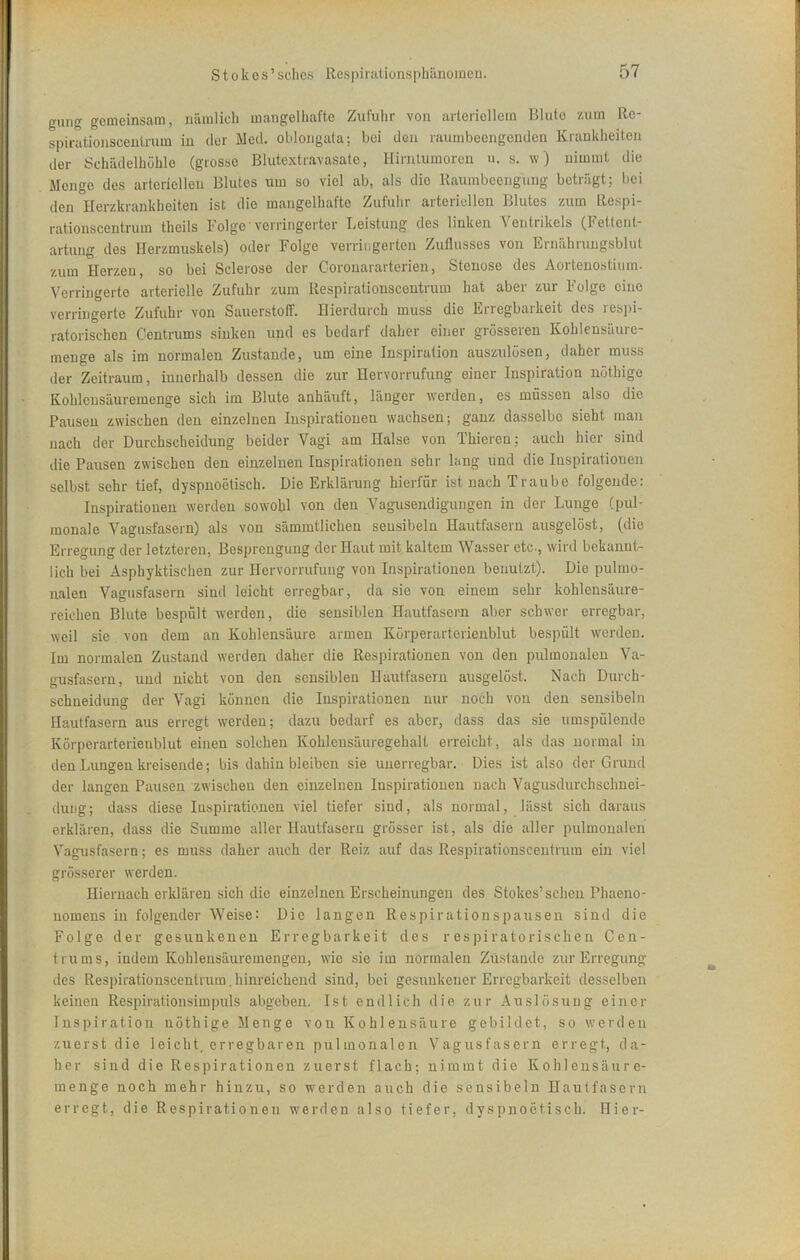 gang gemeinsam, nämlich mangelhafte Zufuhr von arteriellem Blute zum Re- spirationsceiitrum in der Med. obloiigata; bei den raumbeengenden Krankheiten der Schädelhühle (grosse Blutextravasate, Hirntumoren n. s. w) nimmt die Menge des arteriellen Blutes um so viel ab, als die Raumbeengung beträgt; bei den Herzkrankheiten ist die mangelhafte Zufuhr arteriellen Blutes zum Respi- rationscentrum theils Folge'verringerter Leistung des linken Ventrikels (Fetlent- artung des Herzmuskels) oder Folge verringerten Zuflusses von Lrnährungsblut zum Herzen, so bei Sclerose der Coronararterien, Stenose des A.ortenostium. Verringerte arterielle Zufuhr zum Respirationscentrum hat aber zur Folge eine verringerte Zufuhr von Sauerstoff. Hierdurch muss die Erregbarkeit des respi- ratorischen Centrums sinken und es bedarf daher einer grösseren Kohlensäure- menge als im normalen Zustande, um eine Inspiration auszulösen, daher muss der Zeitraum, innerhalb dessen die zur Hervorrufung einer Inspiration nöthige Kohleusäuremcnge sich im Blute anhäuft, länger werden, es müssen also die Pausen zwischen den einzelnen Inspirationen wachsen; ganz dasselbe sieht man nach der Durchscheidung beider Vagi am Halse von Thieren; auch hier sind die Pausen zwischen den einzelnen Inspirationen sehr lang und die Inspirationen selbst sehr tief, dyspnoetisch. Die Erklärung hierfür ist nach Traube folgende: Inspirationen werden sowohl von den A’agusendigungen in der Lunge (pul- monale Vagusfasern) als von sämmtlichen sensibeln Hautfasern ausgelöst, (die Erregung der letzteren, Besprengung der Haut mit kaltem Wasser etc-, wird bekannt- lich bei Asphyktischen zur Hervorrufung von Inspirationen benutzt). Die pulmo- nalen Vagusfasern sind leicht erregbar, da sie von einem sehr kohlensäure- reichen Blute bespült werden, die sensiblen Hautfasern aber schwer erregbar, weil sie von dem an Kohlensäure armen Körperarterienblut bespült werden. Im normalen Zustand werden daher die Respirationen von den pulmonalen Va- gusfasern, und nicht von den sensiblen Hautfasern ausgelöst. Nach Durch- schneidung der Vagi können die Inspirationen nur noch von den sensibeln Hautfasern aus erregt werden; dazu bedarf es aber, dass das sie umspülende Körperarterieublut einen solchen Kohlensäuregehalt erreicht, als das normal in den Lungen kreisende; bis dahin bleiben sie unerregbar. Dies ist also der Grund der langen Pausen zwischen den einzelnen Inspirationen nach Vagusdurchschnei- dung; dass diese Inspirationen viel tiefer sind, als normal, lässt sich daraus erklären, dass die Summe aller Hautfasern grösser ist, als die aller pulmonalen Vagusfasern; es muss daher auch der Reiz auf das Respirationsceutrum ein viel grösserer werden. Hiernach erklären sich die einzelnen Erscheinungen des Stokes’sehen Phaeno- nomens in folgender Weise: Die langen Respirationspausen sind die Folge der gesunkenen Erregbarkeit des respiratorischen Cen- trums, indem Kohlensäuremengen, wie sie im normalen Ziistande zur Erregung des Respirationscentrum.hinreichend sind, bei gesunkener Erregbarkeit desselben keinen Respirationsim puls abgeben. Ist endlich die zur Auslösung einer Inspiration nöthige Menge von Kohlensäixre gebildet, so werden zuerst die leicht, erregbaren pulmonalen Vagus fasern erregt, da- her sind die Respirationen zuerst flach; nimmt die Kohlensäure- menge noch mehr hinzu, so werden auch die sensibeln Hautfasern erregt, die Respirationen werden also tiefer, dyspnoetisch. Hier-