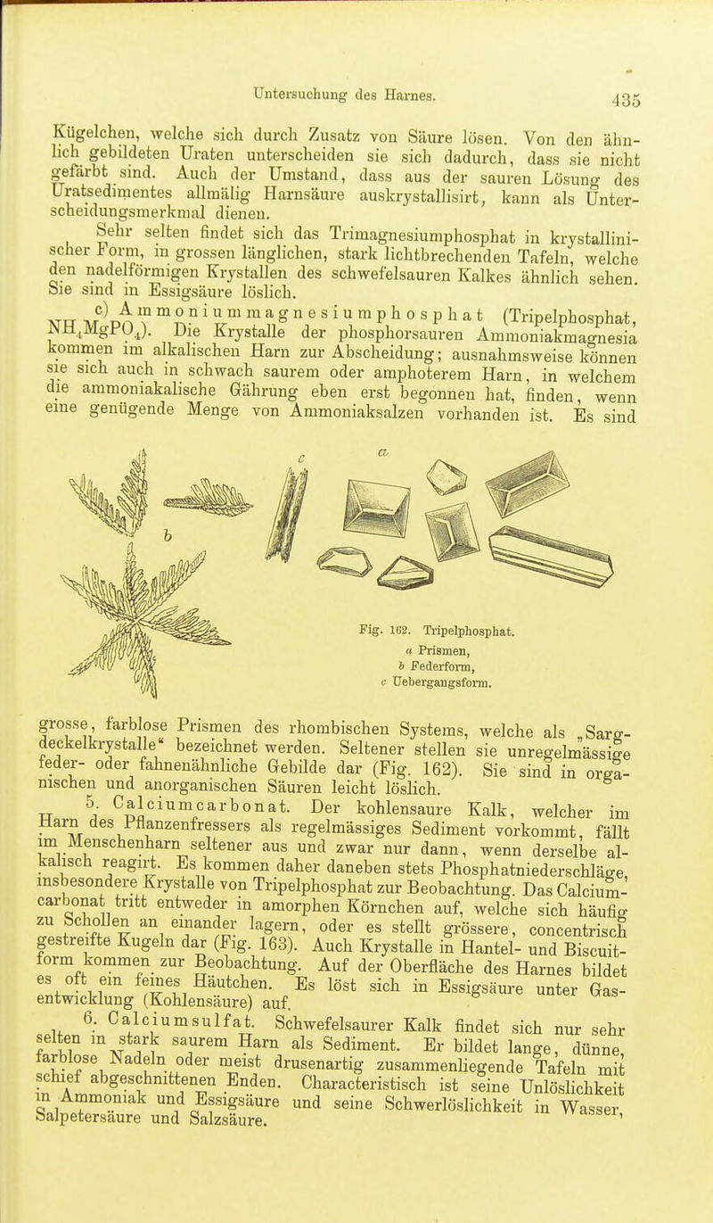 Kügelchen, welche sich durch Zusatz von Säure lösen. Von den ähn- hch gebildeten Uraten unterscheiden sie sich dadurch, dass sie nicht gefärbt sind. Auch der Umstand, dass aus der sauren Lösung des Uratsedimentes allmälig Harnsäure auskrystallisirt, kann als Unter- scheidungsmerkmal dienen. Sehr selten findet sich das Trimagnesiumphosphat in krjstallini- scher oi^n, in grossen länglichen, stark lichtbrechenden Tafeln, welche den nadeiförmigen Krystallen des schwefelsauren Kalkes ähnlich sehen bie sind m Essigsäure löslich. MTT M ^ün ™ °^^n i u m m a g n e s i u m p h 0 s p h a t (Tripelphosphat, iN n^MgfUj. Die Krystalle der phosphorsauren Ammoniakmagnesia kommen im alkahschen Harn zur Abscheidung; ausnahmsweise können sie sich auch in schwach saurem oder amphoterem Harn, in welchem die ammoniakalische Gährung eben erst begonnen hat, finden, wenn eine genügende Menge von Ammoniaksalzen vorhanden ist. Es sind Fig. 1B2. Tripelphosphat. « Prismen, b Federform, c Uebergangsform. grosse farblose Prismen des rhombischen Systems, welche als Sarff- deckelkrystalle bezeichnet werden. Seltener stellen sie unregelmässige feder- oder fahnenähnliche GebUde dar (Fig. 162). Sie sind in orga- nischen und anorganischen Säuren leicht löslich. TT C^J^^iumcarbonat. Der kohlensaure Kalk, welcher im Harn des Pflanzenfressers als regelmässiges Sediment vorkommt, fällt im Menschenharn seltener aus und zwar nur dann, wenn derselbe al- kalisch reagirt. Es kommen daher daneben stets Phosphatniederschläge insbesondere Krystalle von Tripelphosphat zur Beobachtung. Das Calcium- carbonat tritt entweder in amorphen Körnchen auf, welche sich häufig zu bchollen an einander lagern, oder es stellt grössere, concentrisch gestreifte Kugeln dar (Fig. 163). Auch Krystalle iS Hantel- und Biscuit- form kommen zur Beobachtung. Auf der Oberfläche des Harnes bildet es oft em fernes Häutchen. Es löst sich in Essigsäure unter Gas- entwicklung (Kohlensäure) auf 6. Calcium Sulfat. Schwefelsaurer Kalk findet sich nur sehr selten m stark saurem Harn als Sediment. Er bildet lange, dünne, tarblose Nadeln oder meist drusenartig zusammenliegende Tafeln mit schief abgeschnittenen Enden. Characteristisch ist seine Unlöslichkeit m Ammoniak und Essigsäure und seine Schwerlöslichkeit in Wasser Salpetersäure und Salzsäure. Tcihsei,