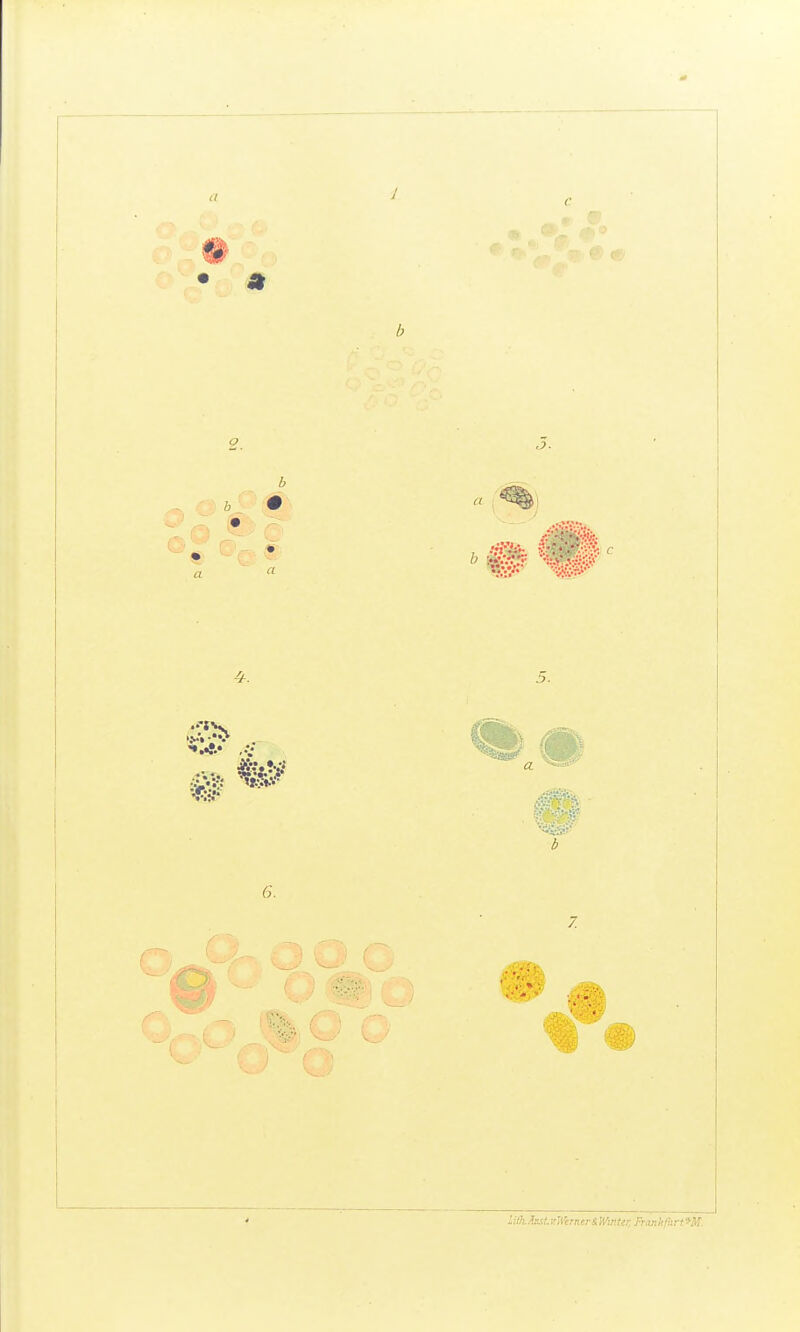 1 m b , .'•»•Vj;- .... «s»r-.-.i-. 5.