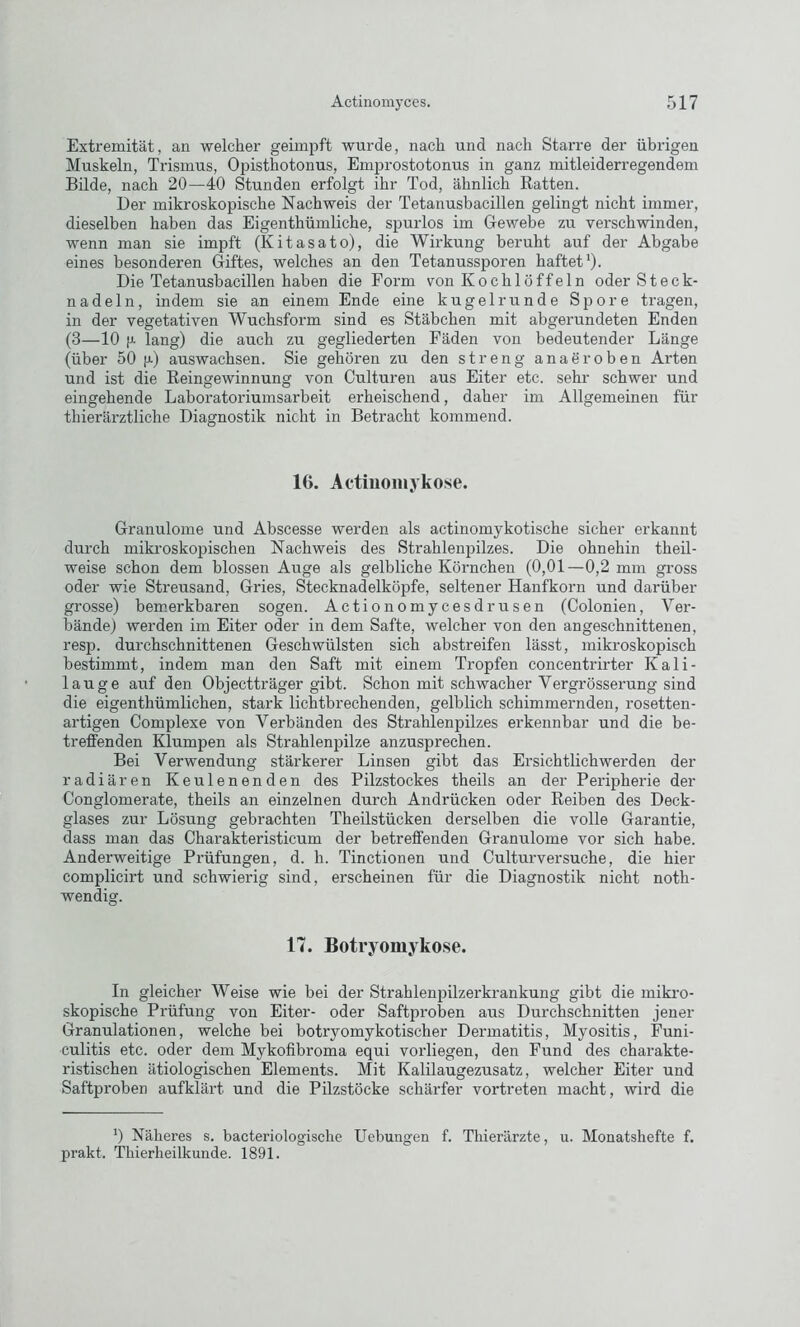 Extremität, an welcher geimpft wurde, nach und nach Starre der übrigen Muskeln, Trismus, Opisthotonus, Emprostotonus in ganz mitleiderregendem Bilde, nach 20—40 Stunden erfolgt ihr Tod, ähnlich Ratten. Der mikroskopische Nachweis der Tetanusbacillen gelingt nicht immer, dieselben haben das Eigenthümliche, spurlos im Gewebe zu verschwinden, wenn man sie impft (Kitasato), die Wirkung beruht auf der Abgabe eines besonderen Giftes, welches an den Tetanussporen haftet1). Die Tetanusbacillen haben die Form von Kochlöffeln oder Steck- nadeln, indem sie an einem Ende eine kugelrunde Spore tragen, in der vegetativen Wuchsform sind es Stäbchen mit abgerundeten Enden (3—10 (J. lang) die auch zu gegliederten Fäden von bedeutender Länge (über 50 p) auswachsen. Sie gehören zu den streng anaeroben Arten und ist die Reingewinnung von Culturen aus Eiter etc. sehr schwer und eingehende Laboratoriumsarbeit erheischend, daher im Allgemeinen für thierärztliche Diagnostik nicht in Betracht kommend. 16. Actinomykose. Granulome und Abscesse werden als actinomykotische sicher erkannt durch mikroskopischen Nachweis des Strahlenpilzes. Die ohnehin theil- weise schon dem blossen Auge als gelbliche Körnchen (0,01—0,2 mm gross oder wie Streusand, Gries, Stecknadelköpfe, seltener Hanfkorn und darüber grosse) bemerkbaren sogen. Actio nomycesdrusen (Colonien, Ver- bände) werden im Eiter oder in dem Safte, welcher von den angeschnittenen, resp. durchschnittenen Geschwülsten sich abstreifen lässt, mikroskopisch bestimmt, indem man den Saft mit einem Tropfen concentrirter Kali- lauge auf den Objectträgergibt. Schon mit schwacher Vergrösserung sind die eigenthümlichen, stark lichtbrechenden, gelblich schimmernden, rosetten- artigen Complexe von Verbänden des Strahlenpilzes erkennbar und die be- treffenden Klumpen als Strahlenpilze anzusprechen. Bei Verwendung stärkerer Linsen gibt das Ersichtlich werden der radiären Keulenenden des Pilzstockes theils an der Peripherie der Conglomerate, theils an einzelnen durch Andrücken oder Reiben des Deck- glases zur Lösung gebrachten Theilstücken derselben die volle Garantie, dass man das Charakteristicum der betreffenden Granulome vor sich habe. Anderweitige Prüfungen, d. h. Tinctionen und Culturversuche, die hier complicirt und schwierig sind, erscheinen für die Diagnostik nicht noth- wendig. 17. Botryomykose. In gleicher Weise wie bei der Strahlenpilzerkrankung gibt die mikro- skopische Prüfung von Eiter- oder Saftproben aus Durchschnitten jener Granulationen, welche bei botryomykotischer Dermatitis, Myositis, Funi- culitis etc. oder dem Mykofibroma equi vorliegen, den Fund des charakte- ristischen ätiologischen Elements. Mit Kalilaugezusatz, welcher Eiter und Saftproben aufklärt und die Pilzstöcke schärfer vortreten macht, wird die b Näheres s. bacteriologische Uebungen f. Thierärzte, u. Monatshefte f. prakt. Thierheilkunde. 1891.