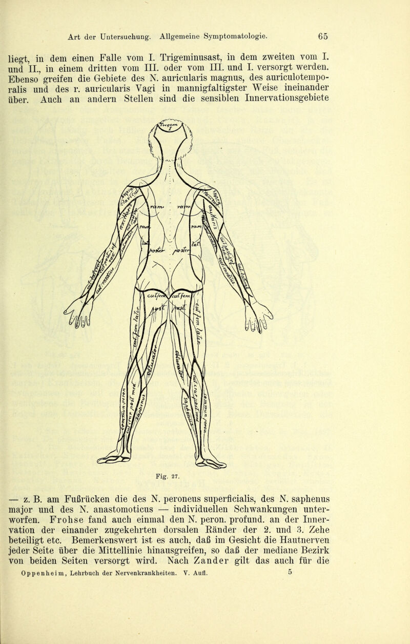 liegt, in dem einen Falle vom I. Trigeminusast, in dem zweiten vom I. und II., in einem dritten vom III. oder vom III. und I. versorgt werden. Ebenso greifen die Gebiete des N. auricularis magnus, des auriculotempo- ralis und des r. auricularis Vagi in mannigfaltigster Weise ineinander über. Auch an andern Stellen sind die sensiblen Innervationsgebiete Fig. 27. — z. B. am Fußrücken die des N. peroneus superficialis, des N. saphenus major und des N. anastomoticus — individuellen Schwankungen unter- worfen. Frohse fand auch einmal den N. peron. profund, an der Inner- vation der einander zugekehrten dorsalen Ränder der 2. und .3. Zehe beteiligt etc. Bemerkenswert ist es auch, daß im Gesicht die Hautnerven jeder Seite über die Mittellinie hinausgreifen, so daß der mediane Bezirk von beiden Seiten versorgt wird. Nach Zander gilt das auch für die Oppenheim, Lehrbuch der Nervenkrankheiten. V. Aufl. 5