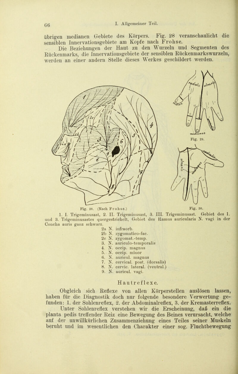 übrigen medianen Gebiete des Körpers. Fig. 28 veranschaulicht die sensiblen Innervationsgebiete am Kopfe nach Frohse. Die Beziehungen der Haut zu den Wurzeln und Segmenten des Rückenmarks, die Innervationsgebiete der sensiblen Rückenmarkswurzeln, werden an einer andern Stelle dieses Werkes geschildert werden. Fig. 28. (Nach Frohse.) Fig. 30. 1. I. Trigeminusast, 2. II. Trigeminusast, 3. III. Trigeminusast. Gebiet des 1. und 3. Trigeminusastes quergestrichelt, Gebiet des Ramus auricularis N. vagi in der Concha auris ganz schwarz. 2a N. infraorb. 2b N. zygomatico-fac. 2c N. zygomat.-temp. 3. N. auriculo-temporalis 4. N. occip. magnus 5. N. occip. minor 6. N. auricul. magnus 7. N. cervical. post. (dorsalis) 8. N. cervic. lateral, (ventral.) 9. N. auricul. vagi. Hautreflexe. Obgleich sich Reflexe von allen Körperstellen auslösen lassen, haben für die Diagnostik doch nur folgende besondere Verwertung ge- funden: 1. der Sohlenreflex, 2. der Abdominalreflex, 3. der Kremasterreflex. Unter Sohlenreflex verstehen wir die Erscheinung, daß ein die planta pedis treffender Reiz eine Bewegung des Beines verursacht, welche auf der unwillkürlichen Zusammenziehung eines Teiles seiner Muskeln beruht und im wesentlichen den Charakter einer sog. Fluchtbewegung