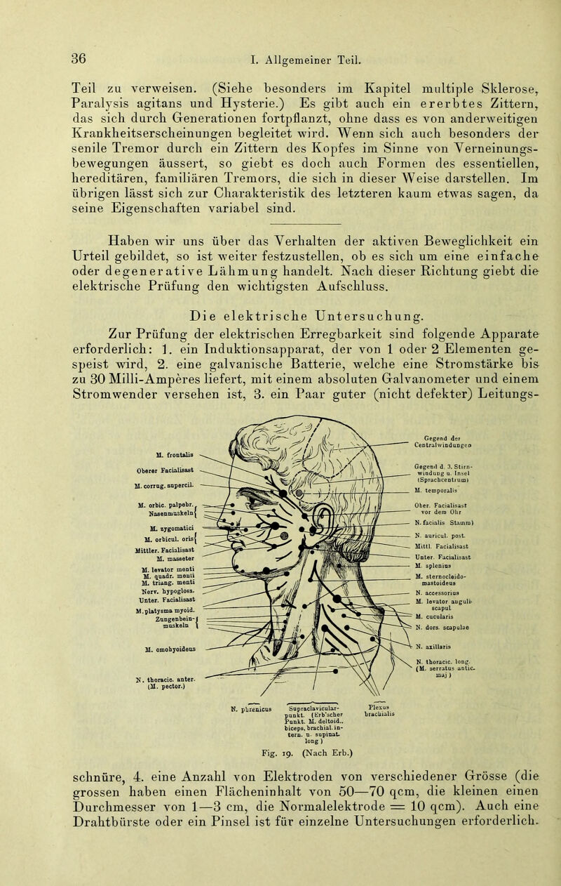 Teil zu verweisen. (Siehe besonders im Kapitel multiple Sklerose, Paralysis agitans und Hysterie.) Es gibt auch ein ererbtes Zittern, das sich durch Generationen fortpflanzt, ohne dass es von anderweitigen Krankheitserscheinungen begleitet wird. Wenn sich auch besonders der senile Tremor durch ein Zittern des Kopfes im Sinne von Yerneinungs- bewegungen äussert, so giebt es doch auch Formen des essentiellen, hereditären, familiären Tremors, die sich in dieser Weise darstellen. Im übrigen lässt sich zur Charakteristik des letzteren kaum etwas sagen, da seine Eigenschaften variabel sind. Haben wir uns über das Verhalten der aktiven Beweglichkeit ein Urteil gebildet, so ist weiter festzustellen, ob es sich um eine einfache oder degenerative Lähmung handelt. Nach dieser Richtung giebt die elektrische Prüfung den wichtigsten Aufschluss. Die elektrische Untersuchung. Zur Prüfung der elektrischen Erregbarkeit sind folgende Apparate erforderlich: 1. ein Induktionsapparat, der von 1 oder 2 Elementen ge- speist wird, 2. eine galvanische Batterie, welche eine Stromstärke bis zu 30 Milli-Amperes liefert, mit einem absoluten Galvanometer und einem Stromwender versehen ist, 3. ein Paar guter (nicht defekter) Leitungs- M. froDtalis Oberer FaciaUsaet U. corrag. aapercU. M. orbie. palpebr. NaaeDmaäkelnl M. zygomatici M. orbicnl. oris Mittler. Facialisast M. masseter M. levator menti M. q.oadr. meuli M. triang. menti Nerv. hypoglOBS. Unter. Facialisast M. platysma myoid. ZongeDbeia- moskeln M. omobyoideos N. tboracio. anter. (M. pector.) K. pbrenictts Sapraclavicular- pookt. (Erb'scher Fonkt. M. deltoid., biceps, brachial, ia* ters. n. supinat. lODg ) Fis:. IO. (Nach Erb.) Gegend der Central winduogco Gegend d. 3. Stirn* wiaduug u. Insel (Sprucbcentiumi U. temporalis N. facialis Stainrn) N. auricu). post. MitU. Facialisast Unter. Facialisast M. splenios M. sternocleido' mastoideus N. accessorios M. levator auguii> scapul M. cucularis N. dors. Scapulae N. thoracic, long. (M. serratus uotic. iniij ) schnüre, 4. eine Anzahl von Elektroden von verschiedener Grösse (die grossen haben einen Flächeninhalt von 50—70 qcm, die kleinen einen Durchmesser von 1—3 cm, die Normalelektrode = 10 qcm). Auch eine Drahtbürste oder ein Pinsel ist für einzelne Untersuchungen erforderlich.