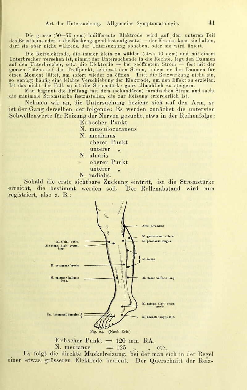 Die grosse (50—70 qcm) indifferente Elektrode wird auf den unteren Teil <les Brustbeins oder in die Nackengegend fest aufgesetzt — der Kranke kann sie halten, darf sie aber nicht während der Untersuchung abheben, oder sie wird fixiert. Die Keizelektrode, die immer klein zu wählen (etwa 10 qcm) und mit einem Unterbrecher versehen ist, nimmt der Untersuchende in die Rechte, legt den Daumen auf den Unterbrecher, setzt die Elektrode — bei geöffnetem Strom — fest mit der ganzen Fläche auf den Treffpunkt, schliesst den Strom, indem er den Daumen für einen Moment lüftet, um sofort wieder zu öffnen. Tritt die Reizwirkung nicht ein, so genügt häufig eine leichte Verschiebung der Elektrode, um den Effekt zu erzielen. Ist das nicht der Fall, so ist die Stromstärke ganz allmählich zu steigern. Man beginnt die Prüfung mit dem (sekundären) faradischen Strom und sucht die minimale Stromstärke festzustellen, die zur Reizung erforderlich ist. Nehmen wir an, die Untersuchung beziehe sich auf den Arm, so ist der Gang derselben der folgende: Es werden zunächst die untersten Schwellenwerte für Reizung der Nerven gesucht, etwa in der Reihenfolge: Erb scher Punkt N. musculocutaneus N. medianus oberer Punkt unterer „ N. ulnaris oberer Punkt unterer „ N. radialis. Sobald die erste sichtbare Zuckung eintritt, ist die Stromstärke «i’reicht, die bestimmt werden soll. Der Rollenabstand wird nun registriert, also z. B.: M. tibial. aatic. M. cxtens. digit. comm. long. M. peronadas breyia U. exteneor hallocLs long. Mm. interossei dorsales Nerv, peronaeus M. gastrocnem. extern. M. peronaeus longua> M. Bolens U. flexor kaltucls long. M. extens. digit. comm. brevis U. abductor digiti min. Erb scher Punkt = 120 mm RA. N. medianus = 125 „ „ etc. Es folgt die direkte Muskelreizung, bei der man sich in der Regel einer etwas grösseren Elektrode bedient. Der Querschnitt der Reiz-