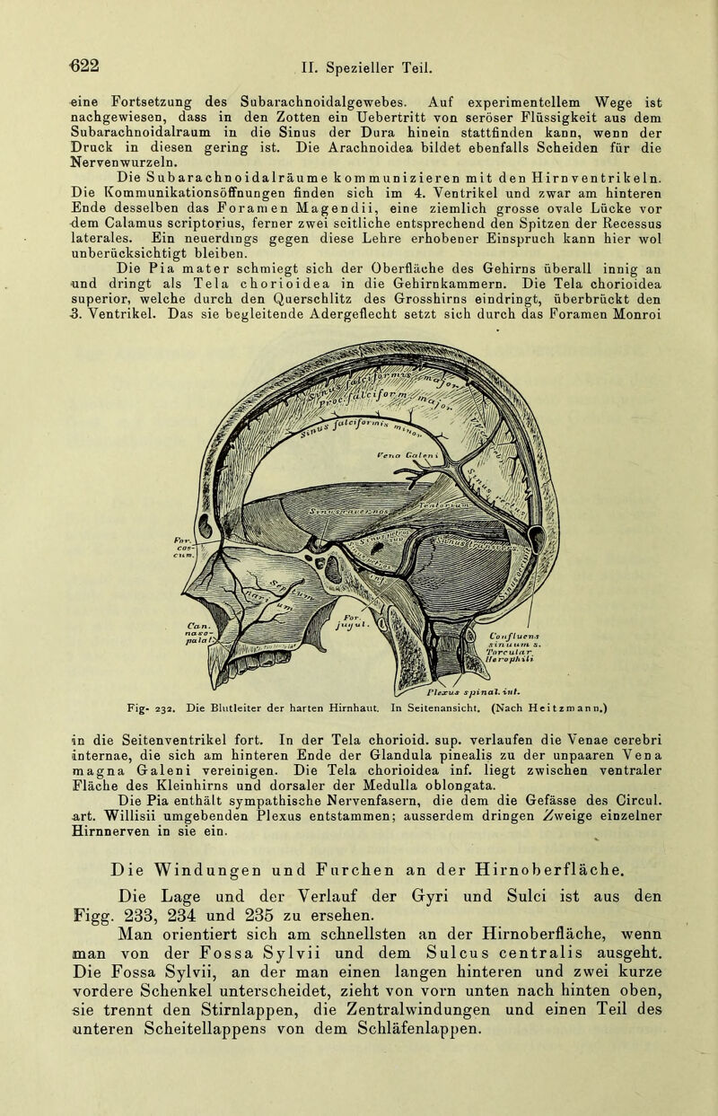 ß22 eine Fortsetzung des Subarachnoidalgewebes. Auf experimentellem Wege ist nachgewiesen, dass in den Zotten ein Uebertritt von seröser Flüssigkeit aus dem Subarachnoidalraum in die Sinus der Dura hinein stattfinden kann, wenn der Druck in diesen gering ist. Die Arachnoidea bildet ebenfalls Scheiden für die Nerven wurzeln. Die Subarachnoidalräume kommunizieren mit den Hirn Ventrikeln. Die Kommunikationsöffnungen finden sich im 4. Ventrikel und zwar am hinteren Ende desselben das Foramen Magendii, eine ziemlich grosse ovale Lücke vor dem Calamus scriptorius, ferner zwei seitliche entsprechend den Spitzen der Recessus laterales. Ein neuerdings gegen diese Lehre erhobener Einspruch kann hier wol unberücksichtigt bleiben. Die Pia mater schmiegt sich der Oberfläche des Gehirns überall innig an ■und dringt als Tela chorioidea in die Gehirnkammern. Die Tela chorioidea Superior, welche durch den Querschlitz des Grosshirns eindringt, überbrückt den 5. Ventrikel. Das sie begleitende Adergeflecht setzt sich durch das Foramen Monroi Plexus spinal, iul. Fig- 232, Die Bliitleiter der harten Hirnhaut. In Seitenansicht, (Nach Heitzmann.) in die Seitenventrikel fort. In der Tela chorioid. sup. verlaufen die Venae cerebri internae, die sich am hinteren Ende der Glandula pinealis zu der unpaaren Vena magna Galeni vereinigen. Die Tela chorioidea inf. liegt zwischen ventraler Fläche des Kleinhirns und dorsaler der Medulla oblongata. Die Pia enthält sympathische Nervenfasern, die dem die Gefässe des Circul. art. Willisii umgebenden Plexus entstammen; ausserdem dringen Zweige einzelner Hirnnerven in sie ein. Die Windungen und Furciien an der Hirnoberfläche. Die Lage und der Verlauf der Gyri und Sulci ist aus den Figg. 233, 234 und 235 zu ersehen. Man orientiert sich am schnellsten an der Hirnoberfläche, wenn man von der Fossa Sylvii und dem Sulcus centralis ausgeht. Die Fossa Sylvii, an der man einen langen hinteren und zwei kurze vordere Schenkel unterscheidet, zieht von vorn unten nach hinten oben, sie trennt den Stirnlappen, die Zentral Windungen und einen Teil des unteren Scheitellappens von dem Schläfenlappen.