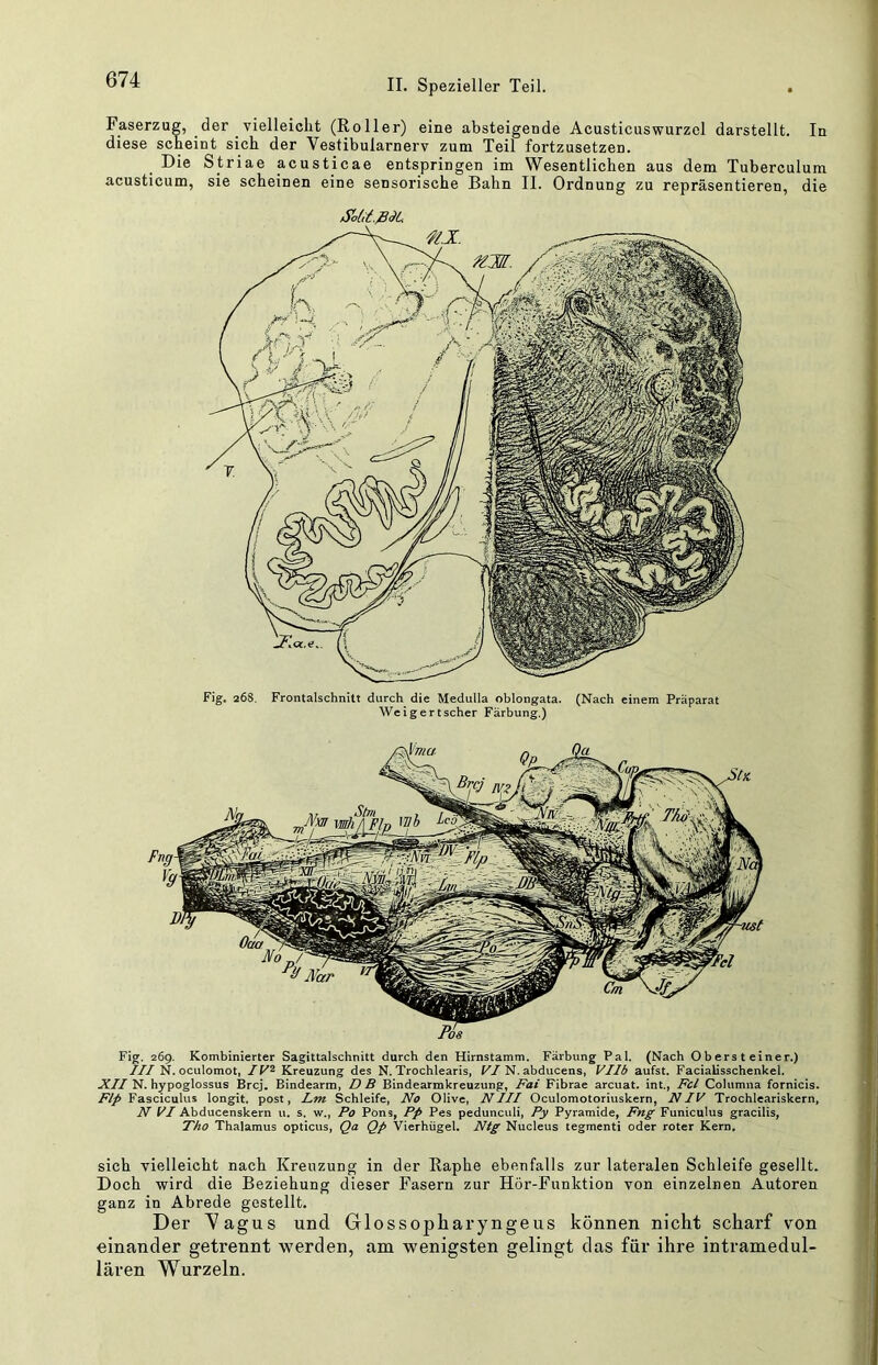 Faserzug, der vielleicht (Roller) eine absteigende Acusticuswurzel darstellt. In diese scheint sich der Vestibularnerv zum Teil fortzusetzen. Die Striae acusticae entspringen im Wesentlichen aus dem Tuberculum acusticum, sie scheinen eine sensorische Bahn II. Ordnung zu repräsentieren, die S'cOt.piL Fig. 268. Frontalschnilt durch die Medulla oblongata. (Nach einem Präparat Weigert scher Färbung.) Fig. 269. Kombinierter Sagittalschnitt durch den Hirnstamm. Färbung Pal. (Nach Obersteiner.) III N. oculomot, IV^ Kreuzung des N. Trochlearis, K/N. abducens, Vllb aufst. Faciallsschenkel. N. hypoglossus Brcj. Bindearm, DB Bindearmkreuzung, Fai Fibrae arcuat. int., Fcl Columna fornicis. Flp Fasciculus longit. post, Lm Schleife, No Olive, NIII Oculomotoriuskern, NIV Trochleariskern, N Abducenskern u. s. w., Po Pons, Pp Pes pedunculi, Py Pyramide, Fng Funiculus gracilis, Fho Thalamus opticus, Qa Qp Vierhügel. Ntg Nucleus tegmenti oder roter Kern, sich vielleicht nach Kreuzung in der Raphe ebenfalls zur lateralen Schleife geseilt. Doch wird die Beziehung dieser Fasern zur Hör-Funktion von einzelnen Autoren ganz in Abrede gestellt. Der A^agus und Glossopharyngeus können nicht scharf von einander getrennt werden, am wenigsten gelingt das für ihre intramedul- lären Wurzeln.