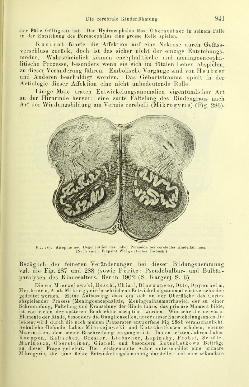 •der Fälle Gültigkeit hat. Den Hydrocephalus lässt Obersteiner in seinem Falle in der Entstehung des Forencephalus eine grosse Rolle spielen. Kund rat führte die Alfektion auf eine Nekrose durch Gefäss- verschluss zurück, doch ist das sicher nicht der einzige Entstehungs- modus. Wahrscheinlich können encephalitische und meningoencepha- litische Prozesse, besonders wenn sie sich im fötalen Leben abspielen, zu dieser Veränderung führen. Embolische Vorgänge sind von Heubner und Anderen beschuldigt worden. Das Geburtstrauma spielt in der Aetiologie dieser Affektion eine nicht unbedeutende Rolle. Einige Male traten Entwickelungsanomalien eigentümlicher Art an der Hirnrinde hervor: eine zarte Fältelung des Rindengraus nach Art der Windungsbildung am Vermis cerebelli (Mikrogyrie) (Fig. 286). Fig. 2S5. Atrophie und Degeneration der linken Pyramide bei cerebraler Kinderlähmung. (Nach einem Präparat Weigertscher Färbung.) Bezüglich der feineren Veränderungen bei dieser Bildungshemmung vgl. die Fig. 287 und 288 (sowie Peritz: Pseudobulbär- und Bulbär- paralysen des Kindesalters. Berlin 1902 (S. Karger) S. 6). Die von Mi erz ej ews k i, Hes ch 1, C hiari, Bin s wan ger, Otto, Oppenheim, Heubner u. A. als Mikrogyrie beschriebene Entwickelungsanomalie ist verschieden gedeutet vsrorden. Meine Auffassung, dass ein sich an der Oberfläche des Corte.v abspielender Prozess (Meningoencephalitis, Meningealhaemorrhagie), der zu einer Schrumpfung, Fältelung und Kräuselung der Rinde führe, das primäre Moment bilde, ist von vielen der späteren Beobachter acceptiert worden. Wie sehr die nervösen Elemente der Rinde, besonders die Ganglienzellen, unter dieser Entwickelungsanomalie leiden, wird durch die nach meinen Präparaten entworfene Fig. 288 b veranschaulicht. Aehnliche Befunde haben Mierzejewski und Kotschetkowa erhoben, ebenso Marinesco, dem meine Beschreibung entgangen ist. In den letzten Jahren haben Koeppen, Kalischer, Bresler, Liebscher, Lapinsky, Probst, Schütz, Marinesco, Obersteiner, Gianeli und besonders Kotschetkowa Beiträge zu dieser Frage geliefert. Der letztgenannte Autor unterscheidet eine primäre Mikrogyrie, die eine ächte Entwickelungshemmung darstelle, und eine sekundäre