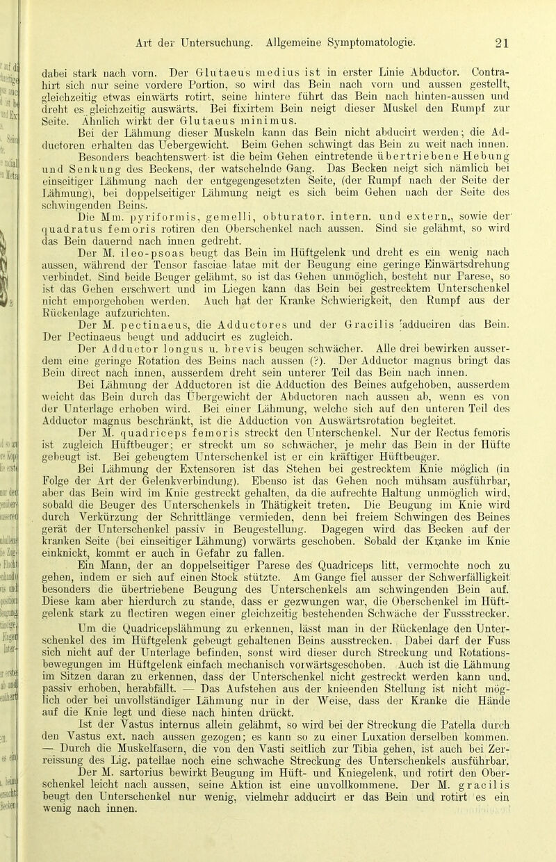 dabei stark nach vorn. Der Glutaeus medius ist in erster Linie Abductor. Contra- hirt sich nur seine vordere Portion, so wird das Bein nach vorn und aussen gestellt, gleichzeitig etwas einwärts rotirt, seine hintere führt das Bein nach hinten-aussen und dreht es gleichzeitig auswärts. Bei fixirtem Bein neigt dieser Muskel den Rumpf zur Seite. Ähnlich wirkt der Glutaeus minimus. Bei der Lähmung dieser Muskeln kann das Bein nicht abducirt werden; die Ad- ductoren erhalten das Uebergewicht. Beim Gehen schwingt das Bein zu weit nach innen. Besonders beachtenswert-ist die beim Gehen eintretende übertriebene Hebung und Senkung des Beckens, der watschelnde Gang. Das Becken neigt sich nämlich bei einseitiger Lähmung nach der entgegengesetzten Seite, (der Rumpf nach der Seite der Lähmung), bei doppelseitiger Lähmung neigt es sich beim Gehen nach der Seite des schwingenden Beins. Die Mm. pyriformis, gemelli, obturator. intern, und extern., sowie der quadratus femoris rotiren den Oberschenkel nach aussen. Sind sie gelähmt, so wird das Bein dauernd nach innen gedreht. Der M. ileo-psoas beugt das Bein im Hüftgelenk und dreht es ein wenig nach aussen, während der Tensor fasciae latae mit der Beugung eine geringe Einwärtsdrehung verbindet. Sind beide Beuger gelähmt, so ist das Gehen unmöglich, besteht nur Parese, so ist das Gehen erschwert und im Liegen kann das Bein bei gestrecktem Unterschenkel nicht emporgehoben werden. Auch hat der Kranke Schwierigkeit, den Rumpf aus der Rückenlage aufzurichten. Der M. pectinaeus, die Adductores und der Gracilis radduciren das Bein. Der Pectinaeus beugt und adducirt es zugleich. Der Adductor longus u. brevis beugen schwächer. Alle drei bewirken ausser- dem eine geringe Rotation des Beins nach aussen (?). Der Adductor magnus bringt das Bein direct nach innen, ausserdem dreht sein unterer Teil das Bein nach innen. Bei Lähmung der Adductoren ist die Adduction des Beines aufgehoben, ausserdem weicht das Bein durch das Übergewicht der Abductoren nach aussen ab, wenn es von der Unterlage erhoben wird. Bei einer Lähmung, welche sich auf den unteren Teil des Adductor magnus beschränkt, ist die Adduction von Auswärtsrotation begleitet. Der M. quadriceps femoris streckt den LTnterschenkel. Nur der Rectus femoris ist zugleich Hüftbeuger; er streckt um so schwächer, je mehr das Bein in der Hüfte gebeugt ist. Bei gebeugtem Unterschenkel ist er ein kräftiger Hüftbeuger. Bei Lähmung der Extensoren ist das Stehen bei gestrecktem Knie möglich (in Folge der Art der Gelenkverbindung). Ebenso ist das Gehen noch mühsam ausführbar, aber das Bein wird im Knie gestreckt gehalten, da die aufrechte Haltung unmöglich wird, sobald die Beuger des Unterschenkels in Thätigkeit treten. Die Beugung im Knie wird durch Verkürzung der Schrittlänge vermieden, denn bei freiem Schwingen des Beines gerät der Unterschenkel passiv in Beugestellung. Dagegen wird das Becken auf der kranken Seite (bei einseitiger Lähmung) vorwärts geschoben. Sobald der Kranke im Knie einknickt, kommt er auch in Gefahr zu fallen. Ein Mann, der an doppelseitiger Parese des' Quadriceps litt, vermochte noch zu gehen, indem er sich auf einen Stock stützte. Am Gange fiel ausser der Schwerfälligkeit besonders die übertriebene Beugung des Unterschenkels am schwingenden Bein auf. Diese kam aber hierdurch zu stände, dass er gezwungen war, die Oberschenkel im Hüft- gelenk stark zu flectiren wegen einer gleichzeitig bestehenden Schwäche der Fussstrecker. Um die Quadricepslähmung zu erkennen, lässt man in der Rückenlage den Unter- schenkel des im Hüftgelenk gebeugt gehaltenen Beins ausstrecken. Dabei darf der Fuss sich nicht auf der Unterlage befinden, sonst wird dieser durch Streckung und Rotations- bewegungen im Hüftgelenk einfach mechanisch vorwärtsgeschoben. Auch ist die Lähmung im Sitzen daran zu erkennen, dass der Unterschenkel nicht gestreckt werden kann und, passiv erhoben, herabfällt. — Das Aufstehen aus der knieenden Stellung ist nicht mög- lich oder bei unvollständiger Lähmung nur in der Weise, dass der Kranke die Hände auf die Knie legt und diese nach hinten drückt. Ist der Vastus internus allein gelähmt, so wird bei der Streckung die Patella durch den Vastus ext. nach aussen gezogen; es kann so zu einer Luxation derselben kommen. — Durch die Muskelfasern, die von den Vasti seitlich zur Tibia gehen, ist auch bei Zer- reissung des Lig. patellae noch eine schwache Streckung des Unterschenkels ausführbar. Der M. sartorius bewirkt Beugung im Hüft- und Kniegelenk, und rotirt den Ober- schenkel leicht nach aussen, seine Aktion ist eine unvollkommene. Der M. gracilis beugt den Unterschenkel nur wenig, vielmehr adducirt er das Bein und rotirt es ein wenig nach innen.