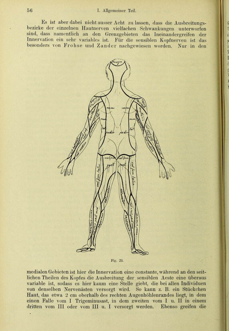 Es ist aber dabei nicht ausser Acht zu lassen, dass die Ausbreitungs- bezirke der einzelnen Hautnerven vielfachen Schwankungen unterworfen sind, dass namentlich an den Grenzgebieten das Ineinandergreifen der Innervation ein sehr variables ist. Für die sensiblen Kopfnerven ist das besonders von Frolise und Zander nachgewiesen worden. Nur in den medialen Gebieten ist liier die Innervation eine constante, während an den seit- lichen Theilen des Kopfes die Ausbreitung der sensiblen Aeste eine überaus variable ist, sodass es hier kaum eine Stelle giebt, die bei allen Individuen von denselben Nervenästen versorgt wird. So kann z. B. ein Stückchen Haut, das etwa 2 cm oberhalb des rechten Augenhöhlenrandes liegt, in dem einen Falle vom I Trigeminusast, in dem zweiten vom I u. II in einem dritten vom III oder vom III u. I versorgt werden. Ebenso greifen die