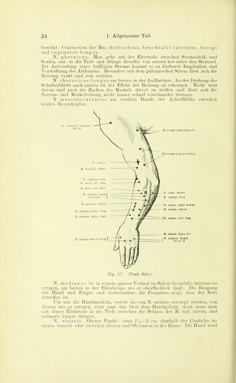 bewirkt: Contraetion der 3Im. de 11 oi d eii s, bracliialis iuternus, Ijiceps; und supinator longus. N. plirenicus. Man geht mit der Electrode zwischen Sternocleid. und Scalen, ant. in die Tiefe und drängt dieselbe von aussen her vmter den Sternocl. Bei Anwendung eines kräftigen Stroms kommt es zu hörbarer Inspiration und Vorwölbung des Abdomens. Besonders mit dem galvanischen Strom lässt sich die Reizimg exakt \ind rein erzielen. N. thoracicus longus am besten in der Axillarlinie. An der Drehung des Schulterblatts nach aussen ist der EH'ekt der Reizung zu erkennen. Nicht weit, davon sind auch die Zacken des Muskels direct zu treffen und lässt sich die Nerven- und Muskelreizung nicht immer schai-f voneinander trennen. N. musculocutaneus aiu vordem Rande der Achselhöhle zwischen beiden Bicepsköpfen. Fig. 17. (Nach Erb.) N. medianus ist in seinem ganzen Verlauf im Sulcus bici]iitalis internus zu erregen, am besten in der Ellenbeuge, wo er obertlächlicli liegt. Die Beugung- der Hand und Finger und insbesondere die Pronation zeigt, dass der Nerv getroffen ist. Um nur die Handmuskeln, soweit sie vom N. medius versorgt werden, von diesem aus zu erregen, reizt man ihn über dem Handgelenk, doch muss man mit feiner Elektrode in die Tiefe zwischen die Sehnen des 31. rad. intern, und palmaris longus dringen. N. ulnaris. Oberer Punkt: etwa l'/2—2 cm oberhalb des Condylus in- ternus humeri oder zM^ischen diesem und Olecranon in der Rinne. Die Hand wird