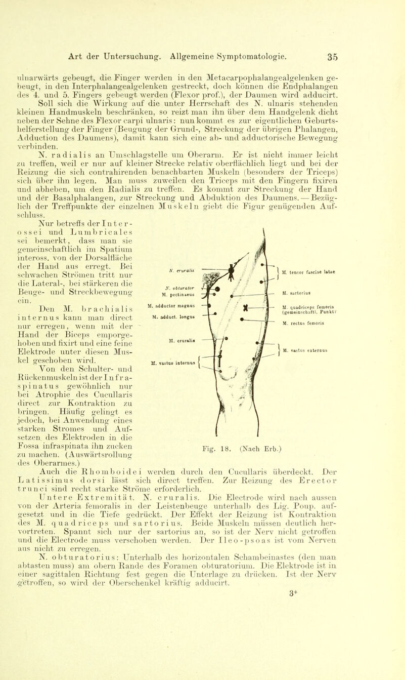 ^'. vbturalor M. pectina«us S. adductor magoas M. addact. longUB M. TastQB iDternas fascia« laUe M. quadritfips femoris (gemeiDscb.^ftl. Punkiv iiluarwärts gebeugt, die Fiuger werden in den Metaearpophalangealgeleukeu ge- heugt, in den Interplialangealgelenken gestreckt, doch können die Endphalaugen des 4. und 5. Fingers gelieagt werden (Flexor prof.), der Daumen wird adducirt. Soll sich die AVirkuug auf die unter Herrschaft des N. ulnaris stehenden kleinen Handmuskeln beschränken, so reizt man ihn über dem Handgelenk dicht neben der Sehne des Flexor carpi ulnaris: nun kommt es zur eigentlichen Geburts- helferstellung der Finger (Beugung der Grund-, Streckung der übrigen Phalangen, Adduction des Daumens), damit kann sich eine ab- und adductorische Bewegung verbinden. N. radialis an Umschlagstelle um Oberarm. Er ist nicht immer leicht zu treffen, weil er nur auf kleiner Strecke relativ oberflächlich liegt und bei der Heizung die sich contrahirendeu benachbarten Muskeln (besoudei's der Triceps) sich über ihn legen. Man muss zuweilen den Triceps mit den Fingern fixiren und abheben, um den Radialis zu treffen. Es kommt zur Streckung der Hand und der Basalphalangen, zur Streckung und Abduktion des Daumens. — Bezüg- lich der Treffpunkte der einzelnen Muskeln giel)t die Figur genügenden Auf- schluss. Nur betreffs der I n t e r - o s s e i und L u ra b r i c a1e s sei l)emerkt, dass man sie gemeinschaftlich im Spatium inteross. von der Dorsalfläche der Hand aus erregt. Bei sehwachen Strömen tritt nur die Lateral-, bei stärkereu die Beuge- und Streckliewegung ein. Den M. Ij r a c h i a 1 i s internus kann man direct nur erregen, wenn mit der Hand der Biceps emporge- hoben und fixirt und eine feine Elektrode unter diesen Mus- kel geschoben wird. Von den Schulter- und Kückenmuskeln ist der I n fr a- s p i n a t u s gewöhnlich nur bei Atrophie des Cucullaris ilirect zur Kontraktion zu l)ringen. Häufig gelingt es jedoch, bei Anwendung eines starken Stromes und Auf- setzen, des Elektroden in die Fossa infraspinata ihn zucken zu machen. (Auswärtsrollung des Oberarmes.) Auch die Rliomb o i de i werden durch den Cucullaris überdeckt. Der Latissimus dorsi lässt sich direct trefl'eu. Zur Reizung des Erector trunci sind recht starke Ströme erforderlich. Untere Extremität. N. cruralis. Die Electrode wird nach aussen von der Arteria femoralis in der Leistenbeuge unterhalb des Lig. Poup. auf- gesetzt und in die Tiefe gedrückt. Der Effekt der Reizung ist Kontraktion des M. quadricejis und sartorius. Beide Muskeln müssen deutlich her- vortreten. Spannt sich nur der sartorius an, so ist der ISTerv nicht getrofi'en und die Electrode muss verschoben werden. Der IIeo-psoas ist vom Nerven aus nicht zu erregen. N. o btur at 0rius : Unterhalb des horizontalen Schambeiuastes (den man abtasten muss) am obern Rande des Foramen obturatorium. Die Elektrode ist iu einer sagittalen Richtung fest gegen die Unterlage zu drücken. Ist der Nerv .g'etroffen, so wird der Oberschenkel kräftig adducirt. 3* Fig. 18. (N.ich Erb.)