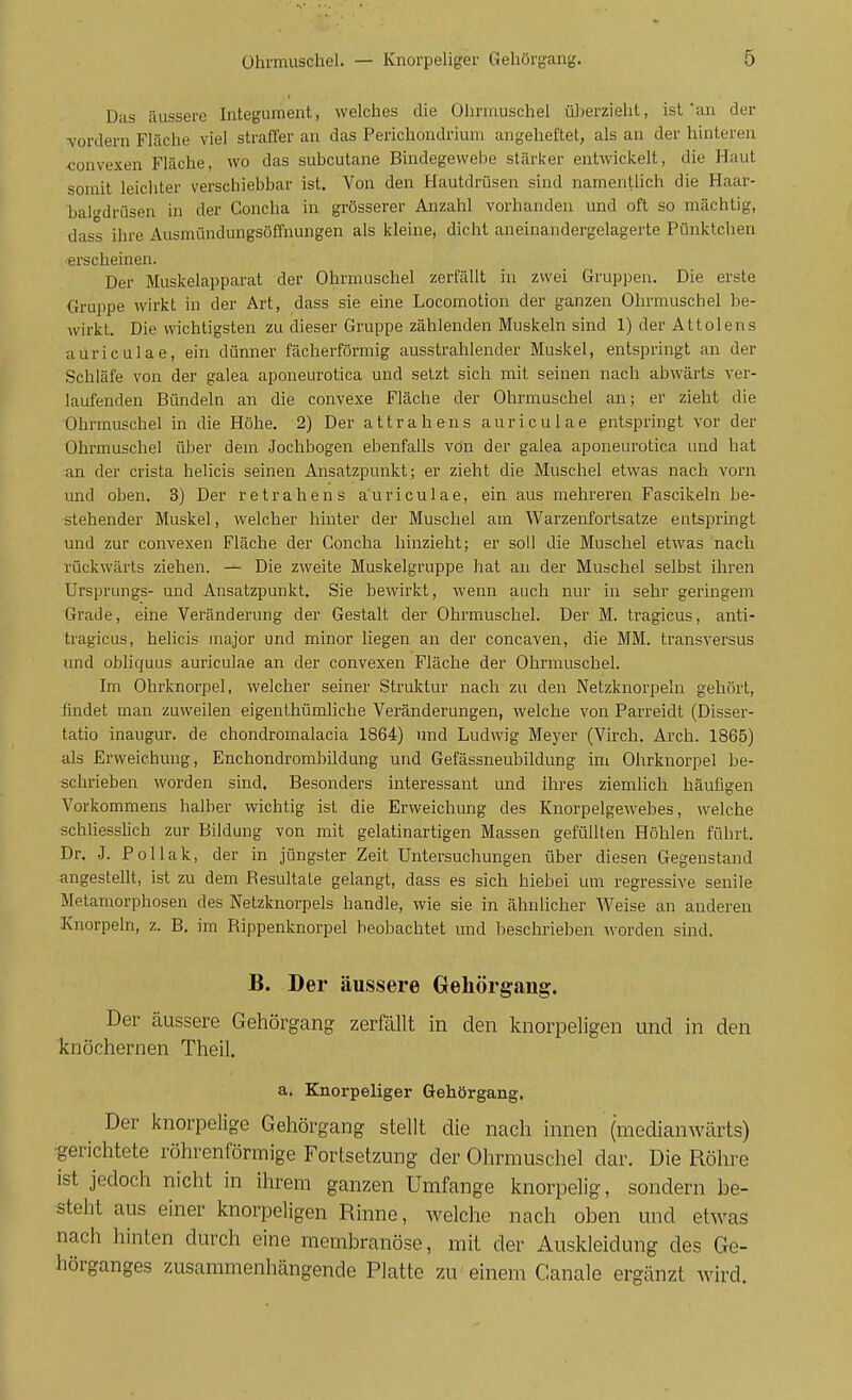 Diis äussere Integument, welches die Ohrmuschel überzieht, ist'an der ■vordem Fläche viel straffer an das Perichondrium angeheftet, als an der hinteren convexen Fläche, wo das subcutane Bindegewebe stärker entwickelt, die Haut somit leichter verschiebbar ist. Von den Hautdrüsen sind namentlich die Haar- bali'drüsen in der Concha in grösserer Anzahl vorhanden und oft so mächtig, dass ihre Ausmündungsöffnungen als kleine, dicht aneinandergelagerte Pünktchen erscheinen. Der Muskelapparat der Ohrmuschel zerfällt in zwei Gruppen. Die erste Gruppe wirkt in der Art, dass sie eine Locomotion der ganzen Ohrmuschel be- wirkt. Die wichtigsten zu dieser Gruppe zählenden Muskeln sind 1) der Attolens auriculae, ein dünner fächerförmig ausstrahlender Muskel, entspringt an der Schläfe von der galea aponeurotica und setzt sich mit seinen nach abwärts ver- laufenden Bündeln an die convexe Fläche der Ohrmuschel an; er zieht die Ohrmuschel in die Höhe. 2) Der attrahens auriculae entspringt vor der Ohrmuschel über dem Jochbogen ebenfalls von der galea aponeurotica und hat an der crista heücis seinen Ansatzpunkt; er zieht die Muschel etwas nach vorn und oben. 3) Der retrahens auriculae, ein aus mehreren Fascikeln be- stehender Muskel, welcher hinter der Muschel am Warzenfortsatze entspringt und zur convexen Fläche der Concha hinzieht; er soll die Muschel etwas nach rückwärts ziehen. — Die zweite Muskelgruppe hat an der Muschel selbst ihren Ursprungs- und Ansatzpunkt. Sie bewii'kt, wenn auch nur in sehr geringem Grade, eine Veränderung der Gestalt der Ohrmuschel. Der M. tragicus, anti- tragicus, heücis major und minor liegen an der concaven, die MM. transversus und obliquus auriculae an der convexen Fläche der Ohrmuschel. Im Ohrknorpel, welcher seiner Strulctur nach zu den Netzknorpeln gehört, iindet man zuweilen eigenthümliche Veränderungen, welche von Parreidt (Disser- tatio inaugur. de chondromalacia 1864) und Ludwig Meyer (Virch. Arch. 1865) als Erweichung, Enchondrombildung und Gefässneubildung im Ohrknorpel be- schrieben worden sind. Besonders interessant und ihres ziemlich häufigen Vorkommens halber wichtig ist die Erweichung des Knorpelgewebes, welche schliesslich zur Bildung von mit gelatinartigen Massen gefüllten Höhlen führt. Dr. J. Pollak, der in jüngster Zeit Untersuchungen über diesen Gegenstand angestellt, ist zu dem Besultate gelangt, dass es sich hiebei um regressive senile Metamorphosen des Netzknorpels handle, wie sie in ähnlicher Weise an anderen Knorpeln, z. B. im Bippenknorpel beobachtet und beschrieben worden sind. B. Der äussere Gehörgang. Der äussere Gehörgang zerfällt in den knorpeligen und in den knöchernen Theil. a. Knorpeliger Gehörgang. Der knorpelige Gehörgang stellt die nach innen (medianwärts) ■gerichtete röhrenförmige Fortsetzung der Ohrmuschel dar. Die Röhre ist jedoch nicht in ihrem ganzen Umfange knorpelig, sondern be- steht aus einer knorpeligen Rinne, welche nach oben und etwas nach hinten durch eine membranöse, mit der Auskleidung des Ge- hörganges zusammenhängende Platte zu'einem Canale ergänzt wird.