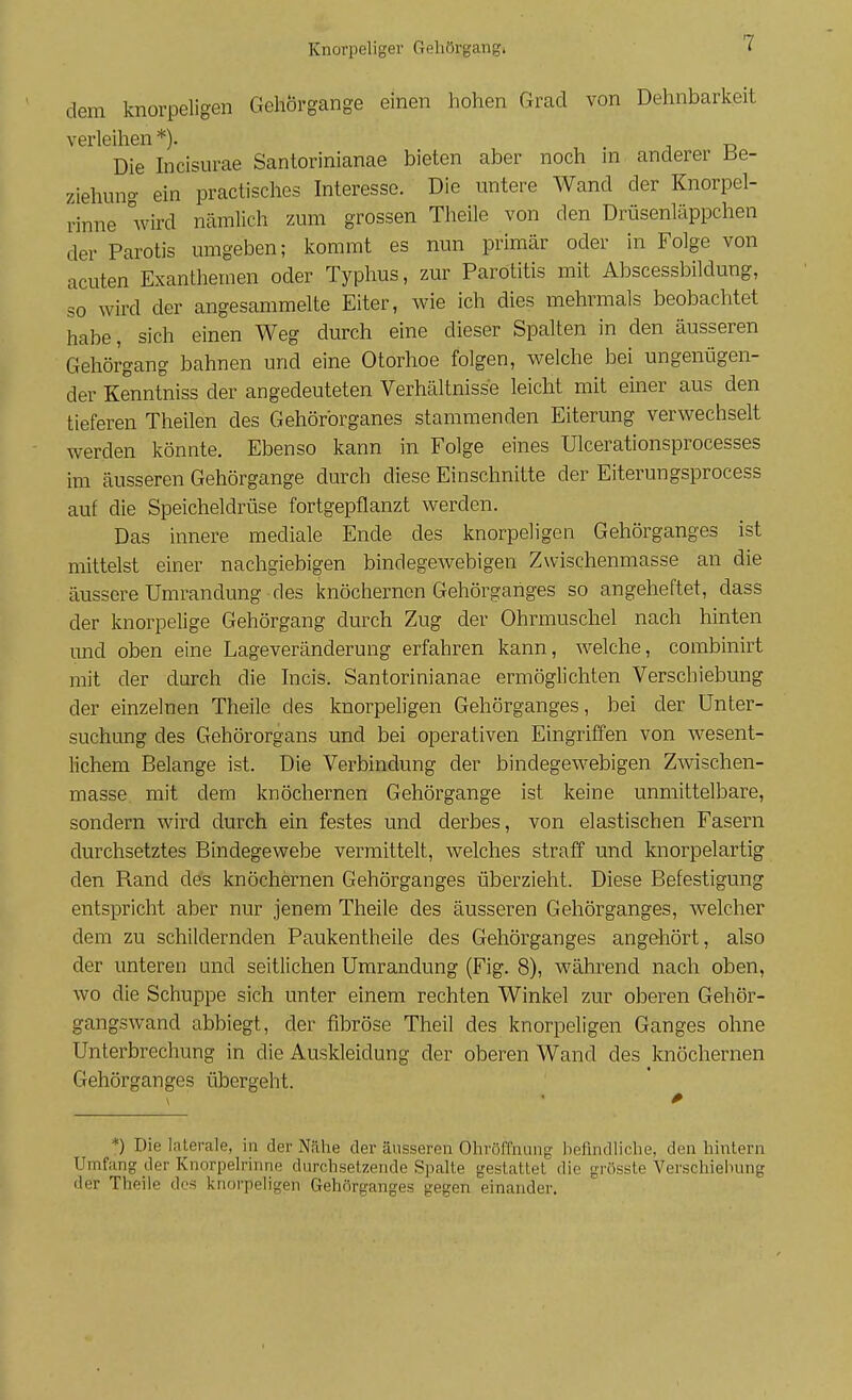 dem knorpeligen Gehörgange einen hohen Grad von Dehnbarkeit verleihen *). Die hicisurae Santorinianae bieten aber noch m anderer be- ziehung ein practisches Interesse. Die untere Wand der Knorpel- rinne wird nämlich zum grossen Theile von den Drüsenläppchen der Parotis umgeben; kommt es nun primär oder in Folge von acuten Exanthemen oder Typhus, zur Parotitis mit Abscessbildung, so wird der angesammelte Eiter, wie ich dies mehrmals beobachtet habe, sich einen Weg durch eine dieser Spalten in den äusseren Gehörgang bahnen und eine Otorhoe folgen, welche bei ungenügen- der Kenntniss der angedeuteten Verhältnisse leicht mit einer aus den tieferen Theilen des Gehörbrganes stammenden Eiterung verwechselt werden könnte. Ebenso kann in Folge eines Ulcerationsprocesses im äusseren Gehörgange durch diese Einschnitte der Eiterungsprocess auf die Speicheldrüse fortgepflanzt werden. Das innere mediale Ende des knorpeligen Gehörganges ist mittelst einer nachgiebigen bindegewebigen Zwischenmasse an die äussere Umrandung des knöchernen Gehörganges so angeheftet, dass der knorpelige Gehörgang durch Zug der Ohrmuschel nach hinten und oben eine Lageveränderung erfahren kann, welche, combinirt mit der durch die hicis. Santorinianae ermöglichten Verschiebung der einzelnen Theile des knorpeligen Gehörganges, bei der Unter- suchung des Gehörorgans und bei operativen Eingriffen von wesent- lichem Belange ist. Die Verbindung der bindegewebigen Zwischen- masse mit dem knöchernen Gehörgange ist keine unmittelbare, sondern wird durch ein festes und derbes, von elastischen Fasern durchsetztes Bindegewebe vermittelt, welches straff und knorpelartig den Rand des knöchernen Gehörganges überzieht. Diese Befestigung entspricht aber nur jenem Theile des äusseren Gehörganges, welcher dem zu schildernden Paukentheile des Gehörganges angehört, also der unteren und seitlichen Umrandung (Fig. 8), während nach oben, wo die Schuppe sich unter einem rechten Winkel zur oberen Gehör- gangswand abbiegt, der fibröse Theil des knorpeligen Ganges ohne Unterbrechung in die Auskleidung der oberen Wand des knöchernen Gehörganges übergeht. *) Die laterale, in der Nähe der äusseren Ohröffnung befindliche, den hintern Umfang der Knorpelrinne durchsetzende Spalte gestattet die grösste Verschiehung der Theile dos knorpeligen Gehörganges gegen einander.