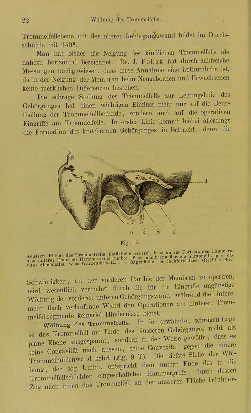 Trommelfellebene mit der oberen Gehörgangswand bildet im Durch- schnitte mit 140. Man hat bisher die Neigung des kindlichen Trommelfells als nahezu horizontal bezeichnet. Dr. J. Pollak hat durch zahlreiche Messungen nachgewiesen, dass diese Annahme eine irrthümliche ist,, da in der Neigung der Membran beim Neugebornen und Erwachsenen keine merklichen Differenzen bestehen. Die schräge Stellung des Trommelfells zur Leitungslinie des Gehörganges hat einen wichtigen Einfluss nicht nur auf die Beur- theilung der Trommelfellbefunde, sondern auch auf die operativen Eingriffe am Trommelfelle. In erster Linie kommt hiebei allerdings die Formation des knöchernen Gehörganges in Betracht, denn die .w l 1 t i k Fig. 15. Aeusse,e Fläche des Trom^nelfeUs (n«^^ S^r^f.LtrnaX^c^H^a^ÄneUi.^^ ;\t:sTnÄ'%v = W^rÄltl^^^ sIgefläÄ Jochfortsat.es. (Rechtes Ohv.) Schwierigkeit, an der vorderen Parthie der Membran zu operiren, wird wesentlich vermehrt durch die für die Eingriffe ungunstige Wölbung der vorderen unteren Gehörgangswand, während die hintere, mehr flach verlaufende Wand den Operationen am hinteren Trom- melfellsegmente keinerlei Hindernisse bietet. Wölbung des Trommelfells. In der erwähnten schrngen Lage Trommelhöhlenwand kehrt (Fig 9 T). Die ^'^iste TTmhn pntsüricht dem untern Lncie aes in uiu Zug nach innen das Trommelfell an der äusseren Fkche tr.chter