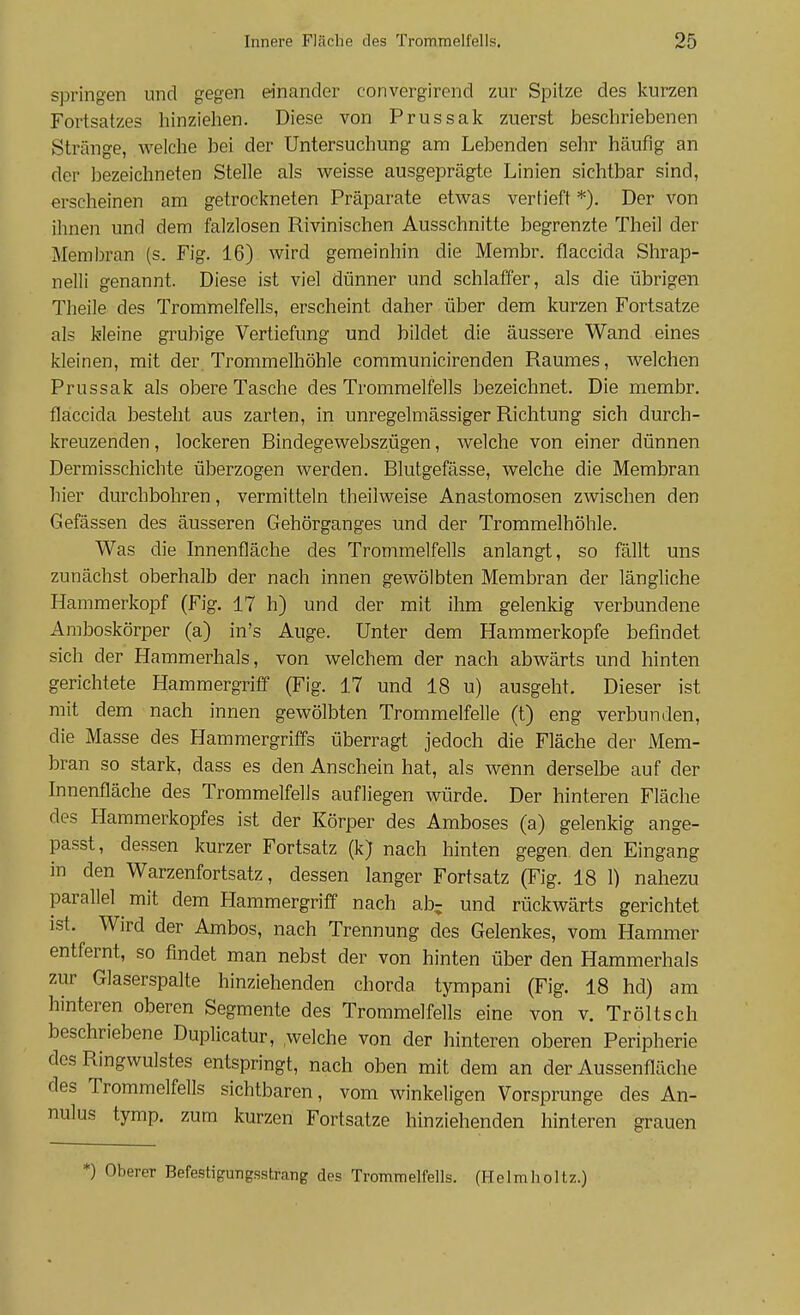 springen und gegen einander convergirend zur Spitze des kurzen Fortsatzes hinziehen. Diese von Prussak zuerst beschriebenen Stränge, welche bei der Untersuchung am Lebenden sehr häufig an der Ijezeichneten Stelle als weisse ausgeprägte Linien sichtbar sind, erscheinen am getrockneten Präparate etwas vertieft *). Der von ihnen und dem falzlosen Rivinischen Ausschnitte begrenzte Theil der Membran (s. Fig. 16) wird gemeinhin die Membr. flaccida Shrap- nelli genannt. Diese ist viel dünner und schlaffer, als die übrigen Theile des Trommelfells, erscheint daher über dem kurzen Fortsatze als kleine grubige Vertiefung und bildet die äussere Wand eines kleinen, mit der. Trommelhöhle communicirenden Raumes, welchen Prussak als obere Tasche des Trommelfells bezeichnet. Die membr. flaccida besteht aus zarten, in unregelmässiger Richtung sich durch- kreuzenden , lockeren Bindegewebszügen, welche von einer dünnen Dermisschichte überzogen werden. Blutgefässe, welche die Membran hier durchbohren, vermitteln theilweise Anastomosen zwischen den Gefässen des äusseren Gehörganges und der Trommelhöhle. Was die Innenfläche des Trommelfells anlangt, so fällt uns zunächst oberhalb der nach innen gewölbten Membran der längliche Hammerkopf (Fig. 17 h) und der mit ihm gelenkig verbundene Amboskörper (a) in's Auge. Unter dem Hammerkopfe befindet sich der Hammerhals, von welchem der nach abwärts und hinten gerichtete Hammergriff (Fig. 17 und 18 u) ausgeht. Dieser ist mit dem nach innen gewölbten Trommelfelle (t) eng verbunden, die Masse des Hammergriffs überragt jedoch die Fläche der Mem- bran so stark, dass es den Anschein hat, als wenn derselbe auf der Innenfläche des Trommelfells aufliegen würde. Der hinteren Fläche des Hammerkopfes ist der Körper des Amboses (a) gelenkig ange- passt, dessen kurzer Fortsatz (k) nach hinten gegen den Eingang in den Warzenfortsatz, dessen langer Fortsatz (Fig. 18 1) nahezu parallel mit dem Hammergriff nach ab; und rückwärts gerichtet ist. Wird der Ambos, nach Trennung des Gelenkes, vom Hammer entfernt, so findet man nebst der von hinten über den Hammerhals zur Glaserspalte hinziehenden chorda tympani (Fig. 18 hd) am hinteren oberen Segmente des Trommelfells eine von v. Tröltsch beschriebene Duplicatur, welche von der hinteren oberen Peripherie des Ringwulstes entspringt, nach oben mit dem an der Aussenfläche des Trommelfells sichtbaren, vom winkeligen Vorsprunge des An- nulus tymp. zum kurzen Fortsatze hinziehenden hinteren grauen *) Oberer Befestigungsstrang des Trommelfells. (Helraholtz.)