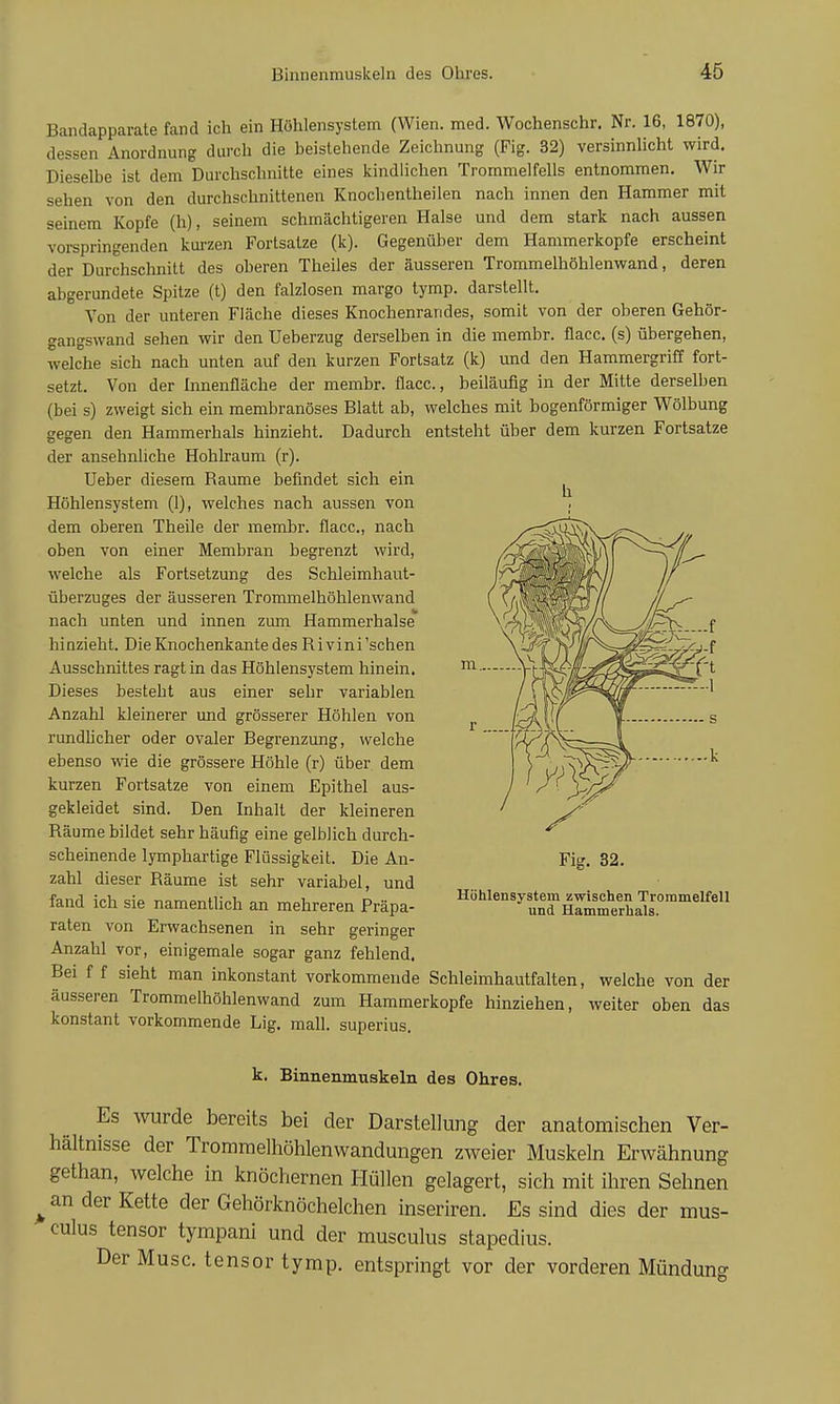 Bandapparate fand ich ein Höhlensystem (Wien. med. Wochenschr. Nr. 16, 1870), dessen Anordnung durch die beistehende Zeichnung (Fig. 32) versinnlicht wird. Dieselbe ist dem Durchschnitte eines kindlichen Trommelfells entnommen. Wir sehen von den durchschnittenen Knochentheilen nach innen den Hammer mit seinem Kopfe (h), seinem schmächtigeren Halse und dem stark nach aussen vorspringenden kui-zen Fortsatze (k). Gegenüber dem Hammerkopfe erscheint der Durchschnitt des oberen Theiles der äusseren Trommelhöhlenwand, deren abgerundete Spitze (t) den falzlosen margo tymp. darstellt. Von der unteren Fläche dieses Knochenrarides, somit von der oberen Gehör- gangswand sehen wir den Ueberzug derselben in die membr. flacc. (s) übergehen, welche sich nach unten auf den kurzen Fortsatz (k) und den Hammergriff fort- setzt. Von der Innenfläche der membr. flacc, beiläufig in der Mitte derselben (bei s) zweigt sich ein membranöses Blatt ab, welches mit bogenförmiger Wölbung gegen den Hammerhals hinzieht. Dadurch entsteht über dem kurzen Fortsatze der ansehnliche Hohlraum (r). Ueber diesem Räume befindet sich ein ^ Höhlensystem (1), welches nach aussen von dem oberen Theile der membr. flacc, nach oben von einer Membran begrenzt wird, welche als Fortsetzung des Schleimhaut- überzuges der äusseren Trommelhöhlenwand nach unten und innen zum Hammerhalse hinzieht. Die Knochenkante des Rivini 'sehen Ausschnittes ragt in das Höhlensystem hinein. Dieses besteht aus einer sehr variablen Anzahl kleinerer und grösserer Höhlen von rundhcher oder ovaler Begrenzung, welche ebenso wie die grössere Höhle (r) über dem kurzen Fortsatze von einem Epithel aus- gekleidet sind. Den Inhalt der kleineren Räume bildet sehr häufig eine gelblich durch- scheinende lymphartige Flüssigkeit. Die An- zahl dieser Räume ist sehr variabel, und fand ich sie namentlich an mehreren Präpa- raten von Erwachsenen in sehr geringer Anzahl vor, einigemale sogar ganz fehlend. Bei f f sieht man inkonstant vorkommende Schleimhautfalten, welche von der äusseren Trommelhöhlenwand zum Hammerkopfe hinziehen, weiter oben das konstant vorkommende Lig. mall, superius. Fig. 32. Hühlensystem zwischen Trommelfell und Hammerhals. k. Binnenmuskeln des Ohres. Es wurde bereits bei der Darstellung der anatomischen Ver- hältnisse der Trommelhöhlenwandungen zweier Muskeln Erwähnung gethan, welche in knöchernen Hüllen gelagert, sich mit ihren Sehnen ^an der Kette der Gehörknöchelchen inseriren. Es sind dies der mus- culus tensor tympani und der musculus stapedius. Der Muse, tensor tymp. entspringt vor der vorderen Mündung