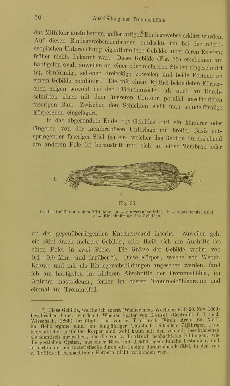 das Mittelohr ausfüllenden, gallertartige^ Bindegewebes erklärt wurden Auf diesen Bindegewebsmembranen entdeckte ich bei der micro- scopischen Untersuchung eigenthümliche Gebilde, über deren Existenz früher nichts bekannt war. Diese Gebilde (Fig. 35) erscheinen am häufigsten oval, zuweilen an einer oder mehreren Stellen eingeschnürt (c), birnförmig, seltener dreieckig; zuweilen sind beide Formen an einem Gebilde combinirt. Die mit einem Epithel bekleideten Körper- chen zeigen sowohl bei der Flächenansicht, als auch an Durch- schnitten einen mit dem äusseren Contour parallel geschichteten faserigen Bau. Zwischen den Schichten sieht man spindelförmige Körperchen eingelagert. In das abgerundete Ende des Gebildes tritt ein kürzerer oder längerer, von der membranösen Unterlage mit breiter Basis ent- springender faseriger Stiel (a) ein, welcher das Gebilde durchziehend am anderen Pole (b) heraustritt und sich an einer Membran oder b a c Fig. 35. Ovales Gebilde aus dem Mittelohr, a = eintretender Stiel, b = austretender Stiel. 0 = Einschnürung des Gebildes. an der gegenüberliegenden Knochenwand inserirt. Zuweilen geht ein Stiel durch mehrere Gebilde, oder theilt sich am Austritte des einen Poles in zwei Stiele. Die Grösse der Gebilde variirt von 0,1—0,9 Mm. und darüber *). Diese Körper, welche von Wendt, Krause und mir als Bindegewebsbildungen angesehen werden, fand ich am häufigsten im hinteren Abschnitte der Trommelhöhle, im Antrum mastoideum, ferner im oberen Trommelhöhlenraum und einmal am Trommelfell. *) Diese Gebilde, welche ich zuerst (Wiener med. Wochenschrift 20. Nov. 1869) beschrieben habe, wurden 6 Woch6n später von Kessel (Centralbl. f. d. med. Wissensch. 1869) bestätigt. Die von v. Tröltsch (Virch. Arch. Bd. XVII) im Gehörorgane einer an langjähriger Taubheit leidenden 71jährigen Frau beobachteten gestielten Körper sind wohl kaum mit den von mir beschriebenen als identisch anzusehen, da die von v. Tröltsch beobachteten Bildungen, wie die gestielten Cysten, aus einer Blase mit dickflüssigem Inhalte bestanden, und fernerhin der characteristische durch die Gebilde durchziehende Stiel, in den von V. Tröltsch beobachteten Körpern nicht vorhanden war.