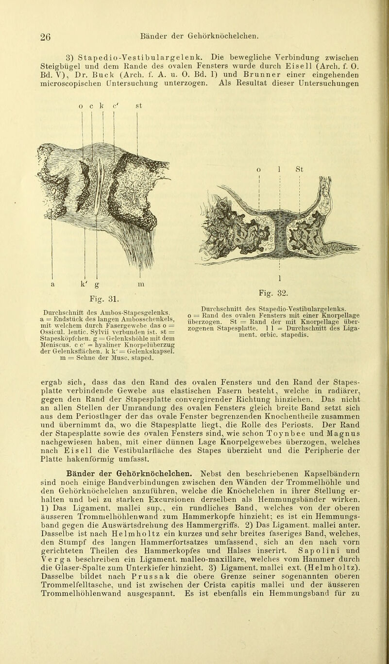 3) Stapedio-Vestibulargelenk. Die bewegliche Verbindung zwischen Steigbügel und dem Rande des ovalen Fensters wurde durch Eiseil (Arch. f. 0. Bd. V), Dr. Buck (Arch. 1'. A. u. 0. Bd. I) und Brunner einer eingehenden microscopischen Untersuchung unterzogen. Als Resultat dieser Untersuchungen 0 c k c' st Fig. 31. Durchschnitt des Amhos-Stapesgelenks. a = Endstück des langen Amhosschenkels, mit welchem durch Fasergewehe das o = Ossicul. lentic. Sylvii verbunden ist. st = Stapesköi)fchen. g = Gelenkshöhle mit dem Meniscus, c c' = hyaliner Knorpelüberzug der Gelenksflächen, k k'= Gelenkskapsel, m = Sehne der Muse, staped. 1 Fig. 32. Durchschnitt des Stapedio-Vestihulargelenks. 0 = Rand des ovalen Fensters mit einer Knoi'pellage überzogen. St = Rand der mit Knorpellage über- zogenen Stapesplatte. 1 1 = Durohsclmitt des Liga- ment. orbic. stapedis. ergab sich, dass das den Rand des ovalen Fensters und den Rand der Stapes- platte verbindende Gewebe aus elastischen Fasern besteht, welche in radiärer, gegen den Rand der Stapesplatte convergirender Richtung hinziehen. Das nicht an allen Stellen der Umrandung des ovalen Fensters gleich breite Band setzt sich aus dem Periostlager der das ovale Fenster begrenzenden Knochentheile zusammen und übernimmt da, wo die Stapesplatte liegt, die Rolle des Periosts. Der Rand der Stapesplatte sowie des ovalen Fensters sind, wie schon Toynbee und Magnus nachgewiesen haben, mit einer dünnen Lage Knorpelgewebes überzogen, welches nach Ei seil die Vestibularfläche des Stapes überzieht und die Peripherie der Platte hakenförmig umfasst. Bänder der Gehörknöchelchen. Nebst den beschriebenen Kapselbändern sind noch einige Bandverbindungen zwischen den Wänden der Trommelhöhle und den Gehörknöchelchen anzuführen, welche die Knöchelchen in ihrer Stellung er- halten und bei zu starken Excursionen derselben als Hemmungsbänder wirken. 1) Das Ligament, mallei sup., ein rundliches Band, welches von der oberen äusseren Trommelhöhlenwand zum Hammerkopfe hinzieht; es ist ein Hemmungs- band gegen die Auswärtsdrehung des Hammergriffs. 2) Das Ligament, mallei anter. Dasselbe ist nach Helmholtz ein kurzes und sehr breites faseriges Band, welches, den Stumpf des langen Hammerfortsatzes umfassend, sich an den nach vorn gerichteten Theilen des Hammerkopfes und Halses inserirt. Sapolini und V e r g a beschreiben ein Ligament, malleo-maxillare, welches vom Hammer durch die Glaser-Spalte zum Unterkiefer hinzieht. 3) Ligament, mallei ext. (H elm h ol tz). Dasselbe bildet nach Prussak die obere Grenze seiner sogenannten oberen Trommelfelltasche, und ist zwischen der Crista capitis mallei und der äusseren Trommelhöhlenwand ausgespannt. Es ist ebenfalls ein Hemmungsband für zu