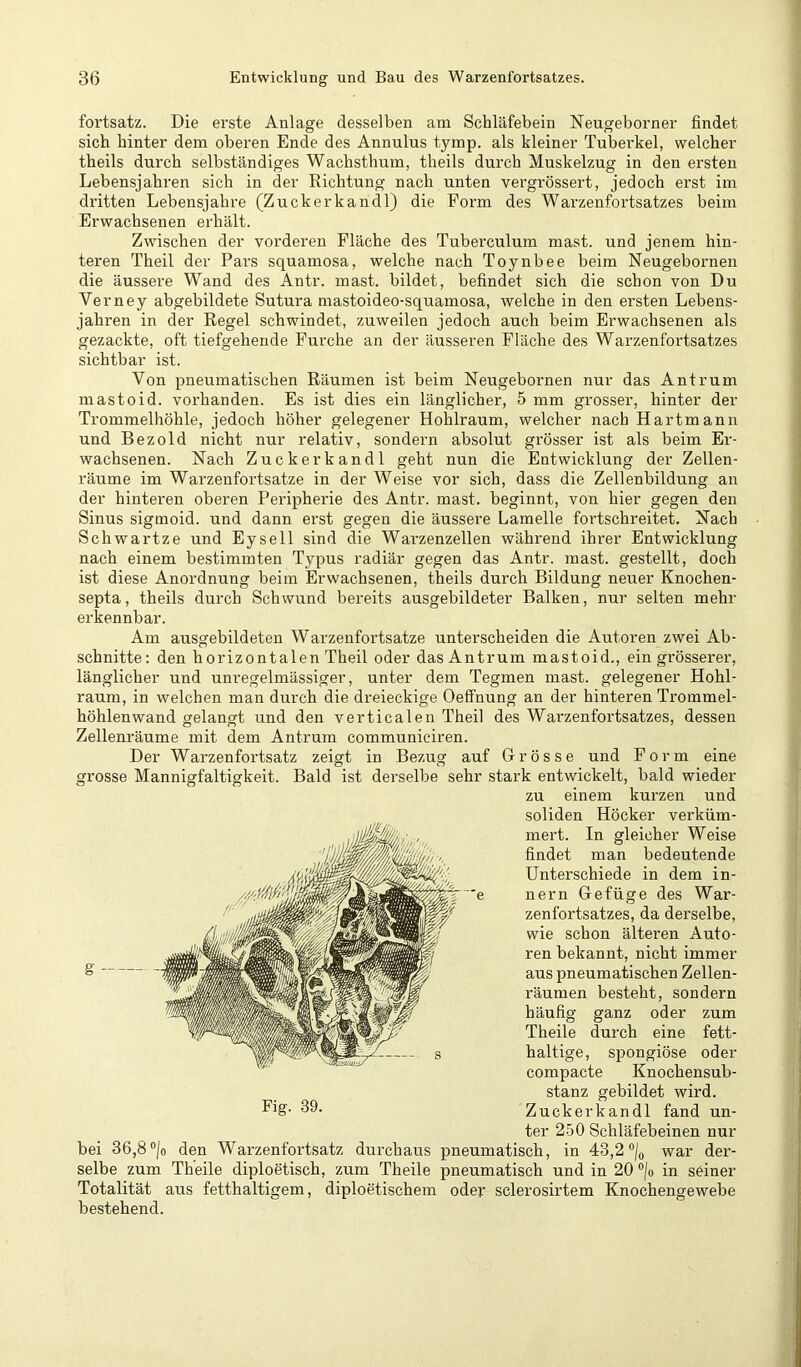 fortsatz. Die erste Anlage desselben am Schläfebein Neugeborner findet sich hinter dem oberen Ende des Annulus tymp. als kleiner Tuberkel, welcher theils durch selbständiges Wachsthum, theils durch Muskelzug in den ersten Lebensjahren sich in der Richtung nach unten vergrössert, jedoch erst im dritten Lebensjahre (Zuckerkandl) die Form des Warzenfortsatzes beim Erwachsenen erhält. Zwischen der vorderen Fläche des Tuberculum mast, und jenem hin- teren Theil der Pars squamosa, welche nach Toynbee beim Neugebornen die äussere Wand des Antr. mast, bildet, befindet sich die schon von Du Verney abgebildete Sutura mastoideo-squamosa, welche in den ersten Lebens- jahren in der Regel schwindet, zuweilen jedoch auch beim Erwachsenen als gezackte, oft tiefgehende Furche an der äusseren Fläche des Warzenfortsatzes sichtbar ist. Von pneumatischen Räumen ist beim Neugebornen nur das Antrum mastoid. vorhanden. Es ist dies ein länglicher, 5 mm grosser, hinter der Trommelhöhle, jedoch höher gelegener Hohlraum, welcher nach Hartmann und Bezold nicht nur relativ, sondern absolut grösser ist als beim Er- wachsenen. Nach Zuckerkandl geht nun die Entwicklung der Zellen- räume im Warzenfortsatze in der Weise vor sich, dass die Zellenbildung an der hinteren oberen Peripherie des Antr. mast, beginnt, von hier gegen den Sinus sigmoid. und dann erst gegen die äussere Lamelle fortschreitet. Nach Schwartze und Eysell sind die Warzenzellen während ihrer Entwicklung nach einem bestimmten Typus radiär gegen das Antr. mast, gestellt, doch ist diese Anordnung beim Erwachsenen, theils durch Bildung neuer Knochen- septa, theils durch Schwund bereits ausgebildeter Balken, nur selten mehr erkennbar. Am ausgebildeten Warzenfortsatze unterscheiden die Autoren zwei Ab- schnitte: den horizontalen Theil oder das Antrum mastoid., ein grösserer, länglicher und unregelmässiger, unter dem Tegmen mast, gelegener Hohl- raum, in welchen man durch die dreieckige Oeffnung an der hinteren Trommel- höhlenwand gelangt und den verticalen Theil des Warzenfortsatzes, dessen Zellenräume mit dem Antrum communieiren. Der Warzenfortsatz zeigt in Bezug auf Grösse und Form eine grosse Mannigfaltigkeit. Bald ist derselbe sehr stark entwickelt, bald wieder zu einem kurzen und soliden Höcker verküm- mert. In gleicher Weise findet man bedeutende Unterschiede in dem in- nern Gefüge des War- zenfortsatzes, da derselbe, wie schon älteren Auto- ren bekannt, nicht immer aus pneumatischen Zellen- räumen besteht, sondern häufig ganz oder zum Theile durch eine fett- haltige, spongiöse oder compacte Knochensub- stanz gebildet wird. Zuckerkandl fand un- ter 250 Schläfebeinen nur bei 36,8 “/o den Warzenfortsatz durchaus pneumatisch, in 43,2 war der- selbe zum Theile diploetisch, zum Theile pneumatisch und in 20 ®/o in seiner Totalität aus fetthaltigem, diploetischem oder sclerosirtem Knochengewebe bestehend.