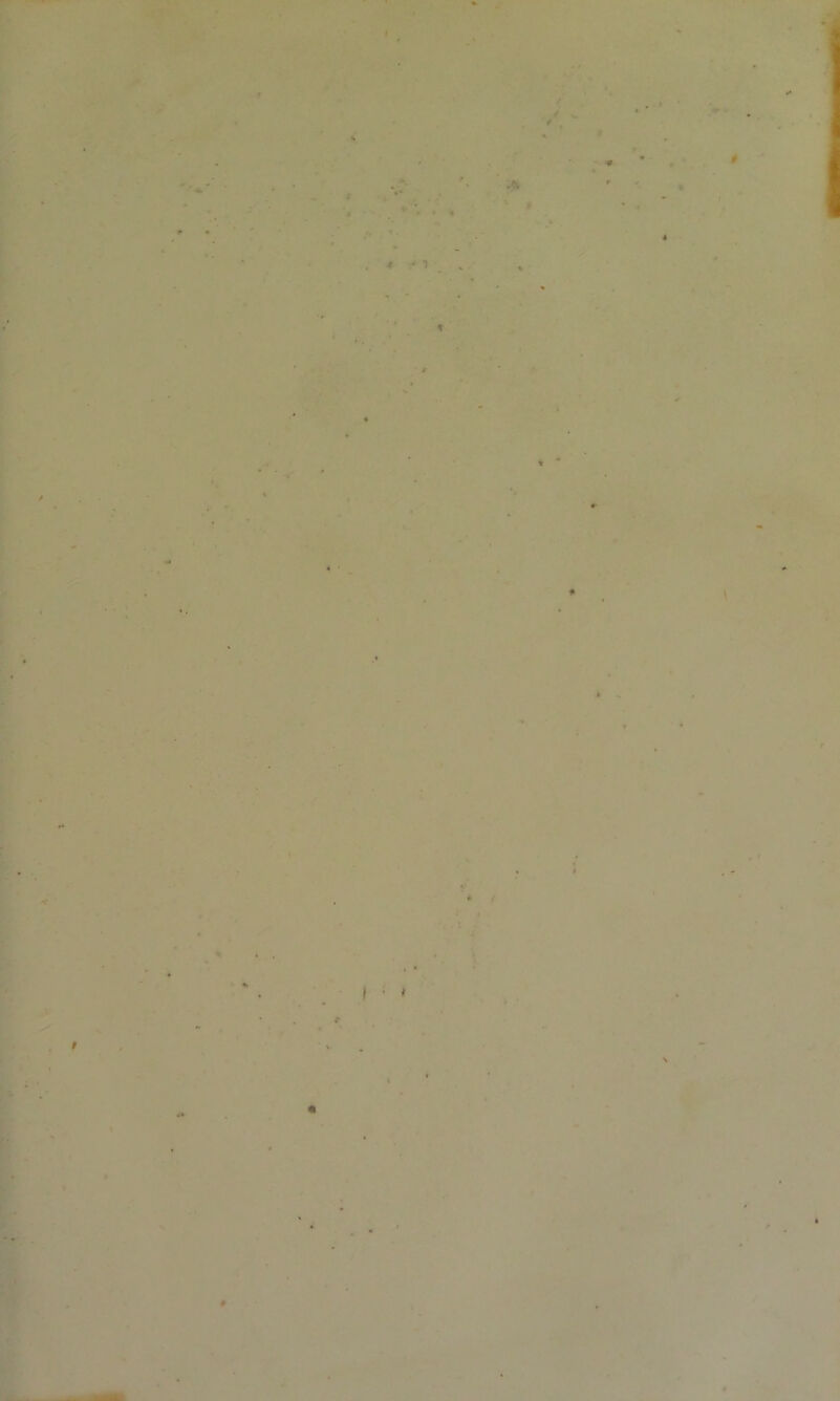 •> <ß 4 ’ 0 ' * \ t * « v * /